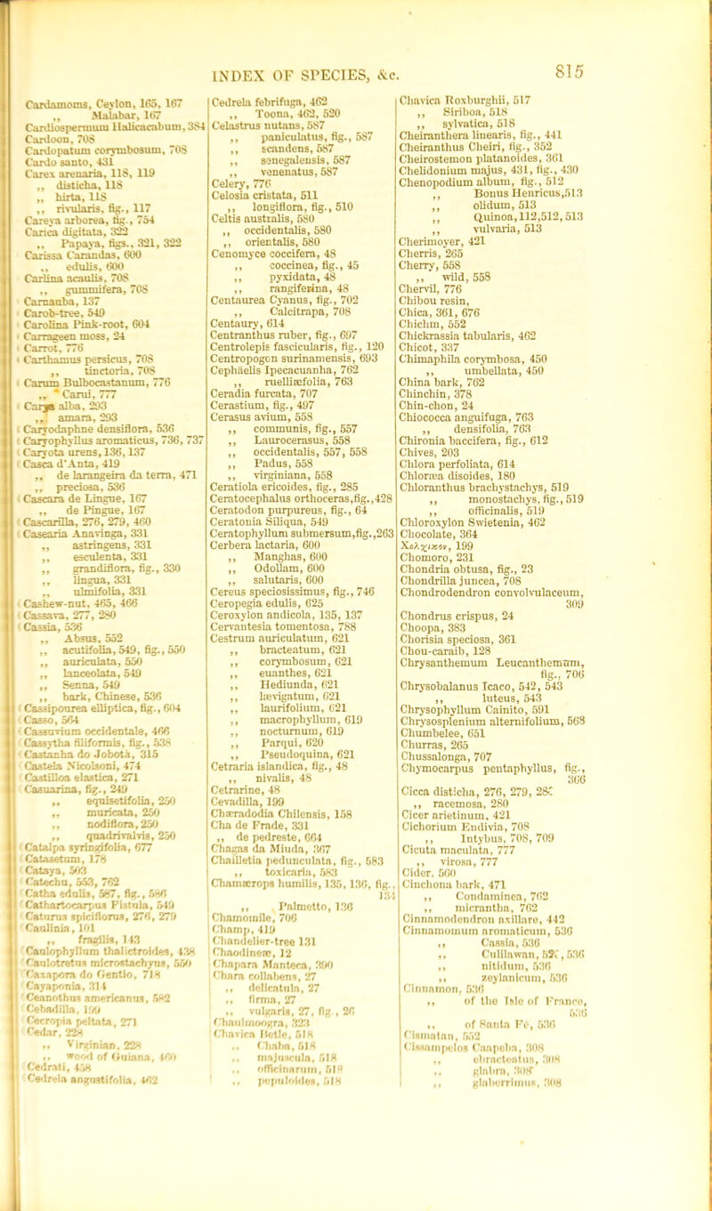 Cardamoms, Ceylon, 165, 167 ,, Malabar, 167 Cardiosperuium 1 lalicacnbum, 384 Cardoon, 708 Cardopatum corymbosum, 70S Cardo santo, 431 Cares arenaria, 118, 119 ,, disticha, 118 „ hirta, 118 ,, rivularis, fig., 117 Careya arborea, tig., 754 Carica digitata, 322 „ Papaya, figs., 321, 322 Carissa Carandas, 600 ,, edulis, 600 Carlina acaulis, 708 ,, gummifera, 70S Carnauba, 137 Carob-tree, 549 Carolina Pink-root, 604 Carrageen moss, 24 • Carrot, 776 • Cart ham us persicus, 708 ,, tinctoria, 708 Carum Bulbocastanum, 776 ,, * Carui, 777 Carja alba, 293 amara, 293 Caryodaphne densiflora, 536 Caryopbyllus aromaticus, 736, 737 Caryota urens, 136,137 Casea d’Anta, 419 ,, de larangeira da terra, 471 ,, preciosa, 536 Cascara de Lingue, 167 „ de Pingue, 167 Cascarilla, 276, 279, 460 Casearia Anavinga, 331 „ astringens, 331 „ esculenta, 331 ,, gran diflora, fig., 330 ,, lingua, 331 „ ulmifolia, 331 Cashew-nut, 465, 466 Cassava, 277, 280 Cassia, 536 ,, Absu3. 552 ,, acutifolia, 549, fig., 550 ,, auriculata, 550 „ lanceolata, 549 ,, Senna, 549 ,, bark, Chinese, 536 Caasipourea elliptica, fig., 6*)4 Casso, 564 Cassuvium occidentale, 466 Caasytha filifonnis, fig., 538 Ca3tanha do Jobota, 315 Caslela Xicolsoni, 474 Castilloa elaatica, 271 Casuarina, fig., 249 ,, equisetifolia, 250 „ muricata, 250 ,, nodi flora, 250 ,, qua/1 rival via, 250 j Catalpa ayringifolia, 677 1 Catesetnzn, 178 Cataya, 503 1 Catechu, 553, 762 Catha ednlia, 587, fig., .W> j j Cathartocarpus Fistula, 549 I Caturus spiciflorua, 276 , 279 i Caulinia, 101 „ fragilia, 143 ) Caulophyllum thalictroides, 438 I Canlotretns micTostachyus, 550 I 'Caxapora do Oentio, 718 I Cayaponia, 314 Ceanothus americanns, 582 Cebadilla, 199 I Cecropia peltata, 271 | Cedar, 22* 99 Virginian, 228 ,, wood of Guiana, 460 • Cedrati, 458 I Cedreia angnatifolia. 462 Cedreia febrifugn, 462 ,, Toona, 462, 520 Celastrus nutans, 587 ,, paniculatus, fig., 587 ,, scandens, 587 ,, aonegalensis, 587 „ venenatus, 587 Celery, 776 Celosia cristata, 511 ,, longiflora, fig., 510 Celtis australis, 580 ,, occidentalis, 580 ,, orientalis, 580 Cenomyce coccifera, 48 ,, coccinea, fig., 45 ,, pyxidata, 48 ,, rangifewna, 48 Centnurea Cyanus, tig., 702 ,, Calcitrapa, 708 Centaury, 614 Centranthus ruber, fig., 697 Centrolepis fascicularis, fig., 120 CentropogGn surinamensis, 693 Cephaelis Ipecacuanha, 762 ,, ruellieefolia, 763 Ceradia furcata, 707 Cerastium, fig., 497 Census avium, 558 ,, communis, fig., 557 ,, Laurocerasus, 558 ,, occidentalis, 557, 558 ,, Padus, 558 ,, virginiana, 558 Ceratiola ericoides, fig., 285 Ceratocephalus orthoceras,fig.,428 Ceratodon purpureus, fig., 64 Ceratonia Siliqua, 549 Ceratophyllum submer8um,fig.,263 Cerbera lactaria, 600 ,, Manghas, 600 ,, Odollam, 600 ,, salutaris, 600 Cereus speciosissimus, fig., 746 Ceropegia edulis, 625 Ceroxylon andicola, 135, 137 Cervantesia tomentosa, 788 Cestrum auriculatum, 621 ,, bracteatum, 621 ,, corymbosum, 621 ,, euanthes, 621 ,, Hediunda, 621 ,, Irevigaturn, 621 ,, laurifolium, 621 ,, macrophyllum, 619 ,, nocturnum, 619 ,, Parqui, 620 ,, Pseudoquina, 621 Cetraria islandica, fig., 48 ,, nivalis, 48 Cetrarine, 48 Cevadilla, 199 Charradodia Chilensis, 158 Cha de Trade, 331 ,, de pedreste, G64 Chagas da Miuda, .'{67 Chailletia pedunculate, fig., 583 ,, toxicarin, 583 Chamaerops humilis, 135,136, fig.. m i ,, . Palmetto, 136 Chamomile, 706 Champ, 419 Chandelier-tree 131 Chaodlnese, 12 Cha para Manteca, 390 Chara collabens, 27 ,, delicatiila, 27 ,, flrma, 27 ,, vulgaris, 27, fig ., 26 f'haulmoogra, 323 Chavica Betle, 518 ,, Chabu, 618 ,, majuscula, 518 ,, officinariiin, 518 tf pepulnfdes, 518 Clmvica Roxburghii, 517 ,, Siriboa, 618 ,, sylvatica, 518 Cheirantliera linearis, fig., 441 Clieiranthu8 Cheiri, fig., 352 Cheirostemon platanoides, 361 Chelidonium majus, 431, fig., 430 Chenopodium album, fig., 512 ,, Bonus Henricus, 513 ,, olidum, 513 ,, Quinoa, 112,512,513 ,, vulvaria, 513 Clierimoyer, 421 Clierris, 265 Cherry, 558 „ wild, 558 Chervil, 776 Chibou resin, Chica, 361, 676 Chichrn, 552 Chickrassia tabularis, 462 Chicot, 337 Chimaphila corymbosa, 450 ,, umbellata, 450 China bark, 762 Ckinckin, 378 Chin-chon, 24 Chiococca anguifuga, 763 ,, densifolia, 763 Chironia baccifera, fig., 612 Chives, 203 Clilora perfoliata, 614 Chlorma disoides, 180 Cliloranthus brachystachys, 519 ,, monostachys, fig., 519 ,, officinalis, 519 Cliloroxylon Swietenia, 462 Chocolate, 364 199 Chomoro, 231 Chondria obtusa, fig., 23 Chondrilla juncea, 708 Chondrodendron convolvulaceum, 309 Chondrus crispus, 24 Choopa, 383 Chorisia speciosa, 361 Chou-caraib, 128 Chrysanthemum Leucanthemnm, fig., 706 Chrysobalanus Icaco, 542, 543 ,, luteus, 543 Chrysophyllum Cainito, 591 Chrysosplenium alternifolium, 563 Chumbelee, 651 Churras, 265 Chussalonga, 707 Chymocarpus pentaphyllus, fig., 366 Cicca disticha, 276, 279, 28C ,, racemosa, 280 Cicer arietinum, 421 Cichorium Eudivia, 708 ,, Intybus, 708, 709 Cicuta maculata, 777 ,, virosa, 777 Cider. 560 Cinchona hark, 471 ,, Condnininen, 762 ,, micrantlm, 762 Cinnamodendron n.xillare, 412 Cinnamoinuin aromnticum, 536 ,, Cassia, 536 ,, Culilawan, H9C, 536 ,, nitidum, 536 ,, zeylanicum, 53G Cinnamon, 536 i, of tlie TMo of Franco, 536 ,, of Santa FC, 530 Cismntan, 552 Cisaampelos Caapoba, 308 ebrnctentus, 308 glabra, 30tf glaberriinus, 308