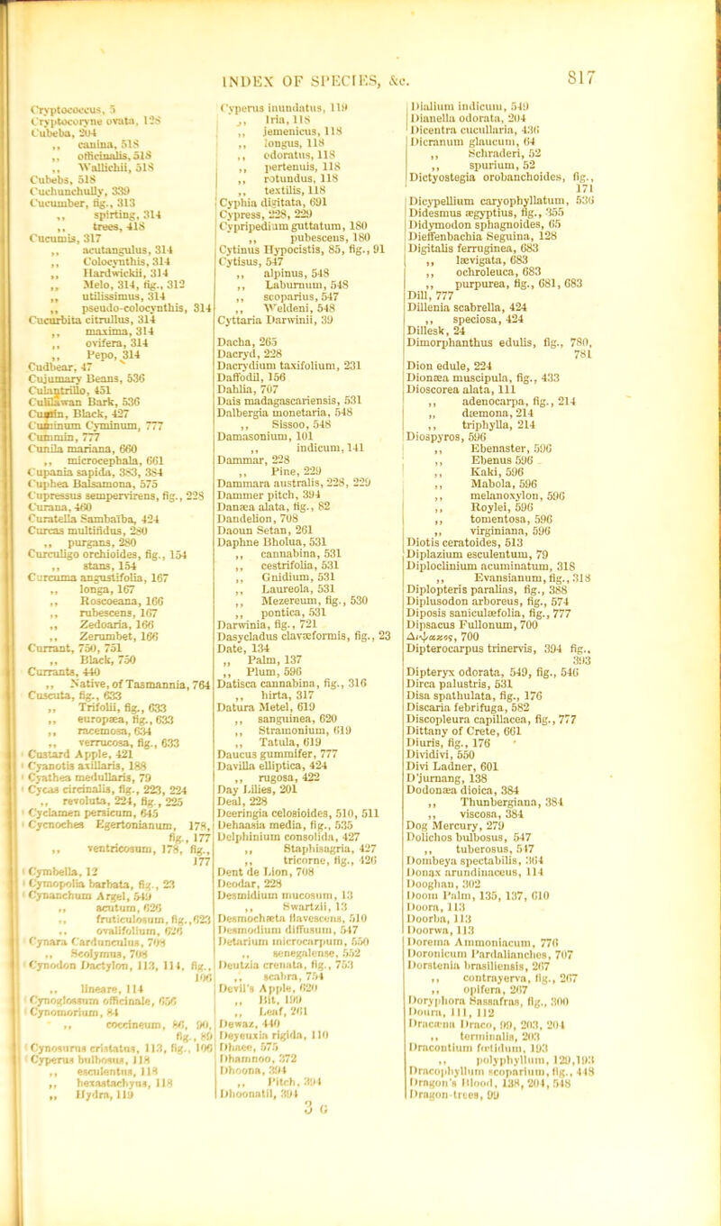 317 Cryptococcus, 5 Cryptocoryne ovata, 1-3 Cubeba, 204 „ cnuina, 518 ,, officinalis, 51S ,, Wallichii, 518 Cubebs, 518 Cuchunchully, 339 Cucumber, tig., 313 ,, spirting, 314 ,, trees, 418 Cucumis, 317 ,, acutangulus, 314 ,, Colocynthis, 314 ,, Hardwickii, 314 „ Melo, 314, tig., 312 ,, utilissimus, 314 ,, pseudo-colocyntliis, 314 Cucurbiia citrullus, 314 ,, maxima, 314 ,, ovifern, 314 „ Pepo, 314 Cudbear, 47 N Cujumary lieans, 536 CulantriHo, 451 Culilawan Bark, 536 Cunrin, Black, 427 Cun:mum Cyminum, 777 Cummin, 777 Cunila mariana, 660 ,, microcephala, 661 Cupania sapida, 383, 384 Cuphea Balsamona, 575 Cupressus sempervirens, fig., 228 Curana, 460 Curatella Sambaiba, 424 Curcas multifidus, 280 ,, purgans, 280 Curculigo orchioides, fig., 154 ,, stans, 154 Curcuma angustifolia, 167 ,, longa, 167 ,, Roscoeana, 166 ,, rubescens, 167 ,, Zedoaria, 166 ,, Zerumbet, 166 Currant, 750, 751 „ Black, 750 Currants, 440 », Native, of Tasmannia, 764 Cuscuta, fig., 633 „ Trifolii, fig., 633 ,, europaea, fig., 633 ,, racemosa, 6,'M ,, verrucosa, fig., 633 Custard Apple, 421 Cyanotis axillaris, 188 Cyathea medullari3, 79 Cycaa circinalis, fig., 223, 224 ,, revoluta, 224, fig., 225 Cyclamen pereicum, 645 Cycnoches Egertonianum, 178, fig., 177 ,, ventncosnm, 178, fig., 177 Cymbella, 12 Cymopolia barbata, fig., 23 Cynanchum Argel, 549 ft acuturn, 626 ,, fruticulosum, fig.,623 ft ovalifolium, 626 Cynara Carduncnlus, 708 ,, .ScoIymu3,708 Cyno<lon Dactylon, 113, 114, fig., 106 ,, llneare, 114 CynogloMum officinale, 656 Cynomorium, K4 * tt coccineum, 86, 90, fig , 89 Cynosurtis cmtatas, 113, fig., 106 Cypenis bulbosus, 118 ,, esculenttis, 118 „ hexastncbyus, 118 „ Hydra, 119 Cyperus inundntus, 119 * j, Iria, 118 ,, jemenicus, 118 ,, longus, 118 ,, odoratus, 118 ,, pertenuis, 118 ,, rotundus, 118 ,, textilis, 118 Cyphia dbntata, 691 Cypress, 228, 229 Cypripediamguttatum, 180 ,, pubesceus, 180 Cytinus Hypocistis, 85, fig., 91 Cytisus, 547 ,, alpinus, 548 ,, Laburnum, 548 ,, scoparius, 547 ,, Veldeni, 548 Cyttaria Darwinii, 39 Dacha, 265 Dacryd, 228 Dacrydium taxifolium, 231 Daffodil, 156 Dahlia, 707 Dais madagascariensis, 531 Dalbergia monetaria, 548 ,, Sissoo, 548 Damasonium, 101 ,, indicum,141 Dammar, 2*28 ,, Pine, 229 Dammara australis, 228, 229 Dammer pitch, 394 Dansca alata, fig., 82 Dandelion, 708 Daoun Setan, 261 Daphne Bholua, 531 ,, cannabina, 531 ,, cestrifolia, 531 ,, Gnidium, 531 ,, Laureola, 531 ,, Mezereum, fig., 530 ,, pontica, 531 Darwinia, fig., 721 Dasycladus clavaeformis, fig., 23 Date, 134 „ Palm, 137 ,, Plum, 596 Datisca cannabina, fig., 316 ,, hirta, 317 Datura Metel, 619 ,, sanguinea, 620 ,, Stramonium, 619 ,, Tatula, 619 Daucus gummifer, 777 Davilla elliptica, 424 ,, mgosa, 422 Day Lilies, 201 Deal, 228 Deeringia celosioides, 510, 511 Dehaasia media, fig., 535 Delphinium consolida, 427 ,, Staphisagria, 427 ,, tricorne, fig., 426 Dent de Lion, 708 Deodar, 228 Desmidium mucosum, 13 ,, Swartzii, 18 Desmochaeta tlaveaceiiH, 510 Desmodium diffusum, 547 Detarium inicrocnrpum, 550 ,, senegalense, 552 Deutzia creuata, fig., 753 ,, scahra, 754 Devil’s Apple, 620 ,, Bit, 199 ,, Leaf, 261 Detraz, 410 Deyeuxia rigida, 110 Dhnee, 575 l)hamnoo, 372 Dhoona, 394 ,, Pitch, 394 Dhoonatil, 394 3 G Dialium indicuiu, 549 Dianella odorata, 204 Dicentra cueullaria, 436 Dicranum glaucum, 64 ,, Schraderi, 52 ,, spurium, 52 Dictyostegia orobanchoides, fig., 171 Dicypellium caryophyllatum, 530 Didesmus a?gyptius, fig., 355 Didymodon sphagnoides, 65 Ilieffenbachia Seguina, 128 Digitalis ferruginea, 683 ,, laevigata, 683 ,, ochroleuca, 683 ,, purpurea, fig., 681, 683 Dill, 777 Dillenia scabrella, 424 ,, speciosa, 424 Dillesk, 24 Dimorphanthus edulis, fig., 780, 781 Dion edule, 224 Dionaea muscipula, fig., 433 Dioscorea alata, 111 ,, adenocarpa, fig., 214 „ dtemona, 214 ,, triphylla, 214 Dioapyros, 596 ,, Ebenaster, 59C ,, Ebenus 596 ,, Ivaki, 596 ,, Mabola, 596 ,, melanoxylon, 59G ,, Roylei, 596 ,, tomentosa, 596 ,, virginiana, 596 Diotis ceratoides, 513 Diplazium esculentum, 79 Diploclinium acuminatum, 318 ,, Evansianum, fig. ,313 Diplopteris paralias, fig., 388 Diplusodon arboreus, fig., 574 Diposis saniculcefolia, fig., 777 Dipsacus Fullonum, 700 700 Dipterocarpus trinervis, 394 fig., 393 Dipteryx odorata, 549, fig., 546 Dirca palustris, 531 Disa spathulata, fig., 176 Discaria febrifuga, 582 Discopleura capillacea, fig., 777 Dittany of Crete, 661 Diuris, fig., 176 Dividivi, 550 Divi Ladner, 601 D’jumang, 138 Dodonsea dioica, 384 ,, Thunbergiana, 384 ,, viscosa, 384 Dog Mercury, 279 Dolichos bulbosus, 547 ,, tuberosus, 547 Dombeya spectabilis, 364 Donax arundinaceus, 114 Dooghan, 302 Doom Palm, 135, 137, 610 Doora, 113 Doorba, 113 Doorwa, 113 Dorema Ammoniacum, 776 Doronicum Pardaliancbos, 707 Dorstenia brasiliensis, 267 ,, contmyerva, fig., 267 M o|)ifern, 267 Dorypliora Sassafras, fig., 300 Doura, 111, 112 Dracirna Draco, 99, 203, 204 ,, teriniiinlia, 203 Dracontium fertidum, 193 ,, polypbyllum, 129,193 Drncopbyllinn •‘copnrium, fig., 418 Dragon’s Blood, 138,204,548 Dragon-tries, 99