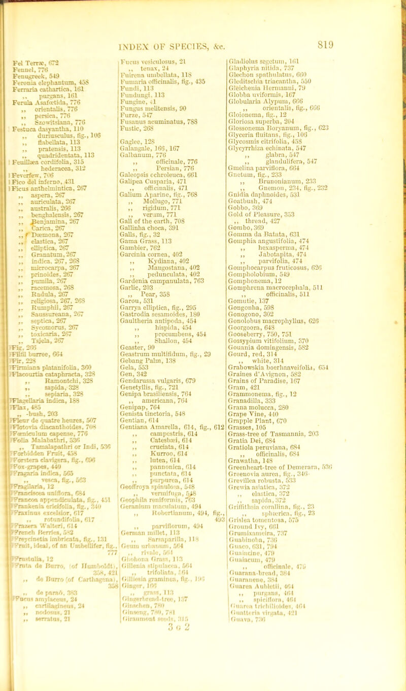 Fel Terra.’, (.73 Fennel, 776 Fenugreek, 549 Ferouia elephantum, 458 Ferraria cathartica, 161 purgans, 161 Ferula Asafcctida, 776 ,, orientalis, 776 ,, persica, 776 ,, Szowitsiana, 776 Festuca dasyantha, 110 ,, duriusculus, fig., 106 ,, flabellata, 113 ,, pratensis, 113 ,, quadridentata, 113 Feuillsea cordifolia, 315 hederacea, 312 I Feverfew, 706 I Fico del inferno, 431 1 Ficus anthelmintica, 267 ,, aspera, 267 ,t auriculata, 267 australis, 266 ,, benghalensia, 267 ,, JJenjamina, 267 Carica, 267 ,, f Daemona, 267 elastica, 267 ,, elliptica, 267 ,, Gmnatum,267 ,, indica. 267 , 268 ,, micro carpa, 267 ,, prinoides, 267 ,, pumila, 267 ,, racemosa, 268 „ Radula, 267 ,, religiosa, 267, 268 Rumphii, 267 ,, Saussureana, 267 ,, septica, 267 ,, Svcomorus. 267 toxicaria, 267 „ Tsjela, 267 rFig, 266 _FFBffl burree, 664 8 Fir, 228 •Firmiana platanifolia, 360 . Flacourtia cataphracta, 328 Ramontchi, 328 sapida, 328 sepiaria, 328 TFlagellaria indica, 188 TFlai, 485 -bush, 203 /Fleur de quatre heures, 507 •Flotovia diacanthoides, 708 FFcenicuIom capense, 776 Folia Malabathri, 536 Tamalapathri or Indi, 536 ’Forbidden Fruit, 458 FForstera clavigera, fig., CfV3 }Pox grapes, 440 indica, 565 ,, vesca, fig., 563 FPragilaria, 12 rFranciscea nnifiora, 68-1 FFrancoa appendieulata, fig., 451 FPrankenia ericifolia, fig., 340 FFnafana excelsior, 617 rotundifolia, 617 t Frazera Walter), 611 FPrench Berries, 5*2 Fueus veslculosus, 21 ,, tenux, 24 Fuirena umbellata, US Funinria ofticinalis, fig., 435 Fundi, 113 Fuudungi, 113 Fungine, -il Fungus melitensis, 90 Furze, 547 Fusanus acuminatus, 788 Fustic, 268 Gaglee, 128 Galangale, 166,167 Galbanum, 776 ,, officinale, 776 ,, Persian, 776 Galeopsis cchroleuca, 661 Galipea Cusparia, 471 ,, officinalis, 471 Galium Aparine, fig., 768 ,, Mollugo, 771 ,, rigidum, 771 ,, verum, 771 Gall of the earth, 708 Gallinha choca, 391 Galls, fig., 32 Gama Grass, 113 Gambier, 762 Garcinia cornea, 402 ,, Kydiana, 402 ,, Mangostana, 402 ,, pedunculata, 402 Gardenia campanulata, 763 Garlic, 203 „ Pear, 358 Garou, 531 Garry a elliptica, fig., 295 Gastrodia sesamoides, 180 Gaultheria antipoda, 454 ,, hispida, 454 ,, procumbens, 454 ,, Shallon, 454 G caster, 90 Geastrum multifidum, fig., 29 Gebang Palm, 138 Gela, 553 Gen, 342 Gendarussa vulgaris, 679 Genetyllis, fig., 721 Genipa brasiliensis, 764 ,, americana, 764 Genipap, 764 Genista tinctoria, 548 Gentian, 614 Gentiana Amarella, 614, fig., 612 ,, campestris, 614 ,, Catesbmi, 614 ,, cruciata, 614 ,, Kurroo, 614 ,, lutea, 614 ,, pnnnonica, 614 ,, punctata, 614 ,, purpurea, 614 GeofTroya spinulosa, 548 ,, vennifuga, 5>8 Geopiiiba renfformis, 7*63 Geranium maculatura, 494 ,, Roberthuwm, 491, fig., 493 t, parviflorum, 494 German millet, 113 Sarsaparilla, 118 ^reyn netia imbricata, fig.. 131 HPI t ”rnit, ideal, of an L'mbellifer, fig., Geum urbanurn, 564 777 ,, rivale, 564 ^rminlia, 12 Chohona Grass, J13 FPruta de Banro, of Humboldt*, Cillenia Atipulacru. 564 58, 421 de Burro 'of Cartbagena), 358 de para A. 383 FFocus amylaceus, 21 cartilaginous, 21 nodosa*, 21 serratus, 21 trifoliata, f.61 G.Iliesin grnminta, fig.. Ginger, 166 ,, grass, 113 Oingerbrend-tree, 137 Cinschen, 7MO Ginseng, 780, 7*1 Cirnimiont seeds, 315 3 O 2 196 Gladiolus segotum, 161 Glaphyria nitida, 737 Glechon spntlmlatus, 660 Gleditschia triacantlm, 550 Gleichenia Hermanui, 79 Globba uviformis, 167 Globularia Alypum, 666 ,, orientalis, fig., 666 Gloionema, fig., 12 Gloriosa superba, 204 Glossonema Rorvanuin, fig., 623 Glyceria fluitans, fig., 106 Glycosmis citrifolia, 458 Glycyirhiza echinata, 547 ,, glabra, 547 ,, glandulifera, 547 Gmelina parviflora, 664 Gnetum, fig., 233 ,, Brunonianum, 233 ,, Gnemon, 231, fig., 232 Gnidia daphnoides, 531 Goatbush, 474 Gobbo, 369 Gold of Pleasure, 353 ,, thread, 427 Gombo, 369 Comma da Batata, 631 Gomphia angustifolia, 474 ,, hexasperma, 474 ,, Jabotapita, 474 ,, parvifolia, 474 Gomphocarpus fruticosus, 626 Gompholobium, 549 Gomphonema, 12 Gomphrena macrocepbala, 511 ,, officinalis, 511 Gomutie, 137 Gongonba,598 Gonogono, 302 Gonolobus macrophyllus, 626 Goorgoora, 648 Gooseberry, 750, 751 Gossypium vitifolium, 370 Gouania domingensis, 582 Gourd, red, 314 ,, white, 314 Grabowskia boerhaaveifoliu, 654 Graines d’Avignon, 582 Grains of Paradise, 167 Gram, 421 Grammonema. fig., 12 Granadilla, 333 Grana molucca, 280 Grape Vine, 440 Grapple Plant, 670 Grasses, 105 Grass-tree of Tasmannia, 203 Gratia Dei, 684 Gratiola peruviana, 684 ,, officinalis, 684 Grawatha, 148 Green heart-tree of Demerarn, 53(5 Greeuovia aurea, fig., 346 Grevillea robusta, 533 Grewia asiatica, 372 ,, elastica, 372 ,, sapida, 372 Griffithsin corallinn, fig., 23 ,, spbterica, fig., 23 Grislea tomentosa, 575 Ground Ivy, 661 Gruinixamcim, 737 Guabinolin, 736 Gimco, 631, 794 Guaiacine, 479 Guftiacum, 179 ,, officinnle, *176 Guarana-bread, 38*1 Guam none. 384 Guarea Aubletii, 464 ,, purgans, 461 ,, spirillum, 461 'Guarea tricliilioides, 461 Guatleria virgata, 121 ' Guava, 736*