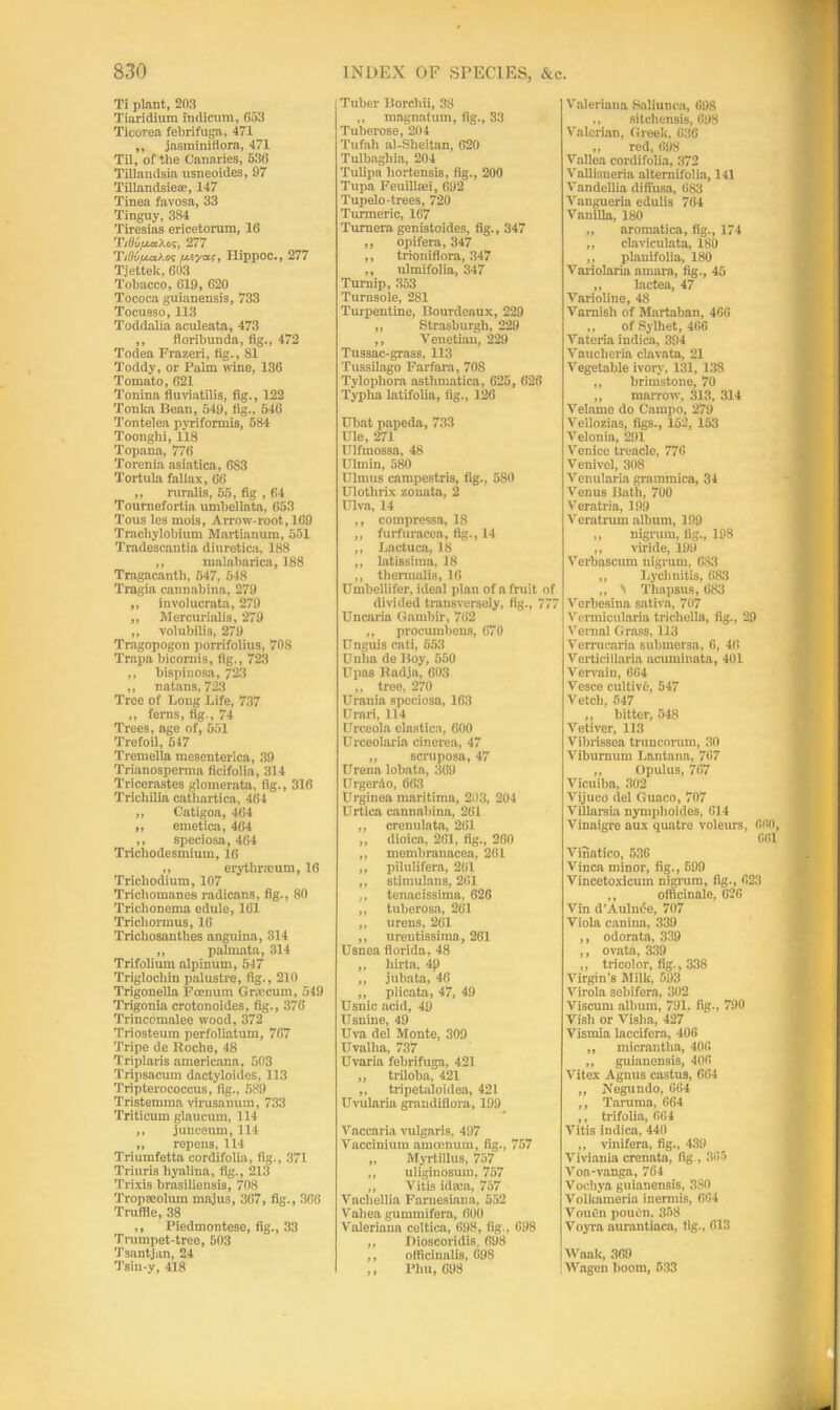 Ti plant, 203 Tiaridium indicum, 653 Ticorea febrifuga, 471 ,, jasminiflora, 471 Til, of the Canaries, 536 Tillandsia usneoides, 97 Tillandsie®, 147 Tinea favosa, 33 Tinguy, 384 Tiresias ericetorum, 16 277 TiOC/xa^Of; /x.iycc;, Hippoc., 277 Tjettek, 603 Tobacco, 619, 620 Tococa guianensis, 733 Tocusso, 113 Toddalia aculeata, 473 ,, floribunda, fig., 472 Todea Frazeri, fig., 81 Toddy, or Palm wine, 136 Tomato, 621 Tonina fluviatilis, fig., 122 Tonka Bean, 549, fig.. 546 Tontelea pyriformis, 584 Toonghi, 118 Topana, 776 Torenia asiatica, 683 Tortula fallax, 66 „ ruralis, 65, fig , 64 Tonrnefortia umbellate, 653 Tons les mois. Arrow-root, 169 Tracliylobium Martianum, 551 Tradescantia diuretica, 188 „ malabarica, 188 Tragacantli, 547, 548 Tragia cannabina, 279 „ involucrata, 279 „ Mercurialis, 279 ,, volubilis, 279 Tragopogon porrifolius, 708 Trapa bicomis, fig., 723 ,, bispinosa, 723 „ natans, 723 Tree of Long Life, 737 ,, ferns, fig., 74 Trees, age of, 551 Trefoil, 517 Tremella mesenterica, 39 Trianosperma ficifolia, 314 Tricerastes glomerata, fig., 316 Trichilia cathartica, 464 ,, Catigoa, 464 „ emetica, 464 ,, speciosa, 464 Tricliodesmium, 16 „ erythrscum, 16 Trichodium, 107 Tricliomanes radicans, fig., 80 Trichonema edule, 161 Tricliormus, 16 Trichosanthes anguina, 314 „ palmata, 314 Trifolium nlpinum, 547 Triglochin palustre, fig., 210 Trigonella Fcenum Gra'cum, 519 Trigonia crotonoides, fig., 376 Trincomalee wood, 372 Triosteum perfoliatum, 767 Tripe de Roche, 48 Triplaris americann, 503 Tripsacum dactyloides, 113 Tripterococcus, fig., 589 Tristemma virusanum, 733 Triticum glaucum, 114 ,, junceum, 114 ,, repens, 114 Triumfetta cordifolia, fig., 371 Triuris hyalina, fig., 213 Trixis brasiliensis, 708 Tropseolum majus, 367, fig., 366 Truffie, 38 ,, Piedmontese, fig., 33 Trumpet-tree, 503 Tsantjan, 24 Tsiu-y, 418 Tuber Borchii, 38 ,, magnatum, fig., 33 Tuberose, 204 Tufah al-Sheitan, 620 Tulbaghia, 204 Tulipa liortensis, fig., 200 Tupa Feuilloei, 692 Tupelo-trees, 720 Turmeric, 167 Turaera genistoides, fig., 347 „ opifera, 347 ,, trioniflora, 347 ,, ulmifolia, 347 Turnip, 353 Turnsole, 281 Turpentine, Bourdeaux, 229 ,, Strasburgh, 229 ,, Venetian, 229 Tussac-grass, 113 Tussilago Farfara, 708 Tylopliora asthmatica, 625, 626 Typha latifolia, fig., 126 Ubat papeda, 733 Ule, 271 Ulfmossa, 48 Ulmin, 580 TJlmus campestris, fig., 580 Ulothrix zonata, 2 Ulva, 14 ,, compressa, 18 „ furfuracea, fig-, 14 ,, Lactuca, 18 ,, latissiina, 18 ,, theraialis, 16 Umbellifer, ideal plan of a fruit of divided transversely, fig., 777 Uncaria Gnmbir, 762 ,, procumbeus, 670 Unguis cati, 553 Unha de Boy, 550 Upas Radja, 603 ,, tree, 270 Urania speciosa, 163 Urari, 114 Urceola elastica, 600 Urceolaria cinerea, 47 ,, seniposa, 47 Urena lobata, 369 UrgerAo, 063 Urginea maritima, 203, 204 Urtica cannabina, 261 ,, crenulata, 261 ,, dioica, 261, fig., 260 „ membranacea, 261 „ pilulifera, 2(il ,, stimulans, 261 „ tenacissima, 626 ,, tuberosa, 261 „ urens, 261 ,, urentissima, 261 Usnea florida, 48 ,, hirta, 4$) „ jubata, 46 ,, plicata, 47, 49 Usnic acid, 49 Usnine, 49 Uva del Monte, 309 Uvalha, 737 Uvaria febrifuga, 421 „ triloba, 421 ,, tripetaloidea, 421 Uvularia grandiflora, 199 Vaccaria vulgaris, 497 Vaccinium amoenum, fig., 757 „ Myrtillus, 757 ,, uliginosum. 757 ,, Vitis idsea, 757 Vachellia Famesiana, 552 Vahea gummifera, 600 Valeriana celtica, 698, fig., 698 „ Dioscoridis, 698 ,, officinalis, 698 ,, l’liu, 698 Valeriana Saliunca, 698 ,, sitcliensis, 698 Valerian, Greek, 636 ,, red, 698 Vallea cordifolia, 372 Vallisneria alternifolia, 141 Vandellia diffusa, 683 Vangueria edulis 764 Vanilla, 180 „ aromatica, fig., 174 ,, claviculata, 180 ,, planifolia, 180 Variolaria amara, fig., 45 ,, lactea, 47 Varioline, 48 Varnish of Martaban, 466 „ of Sylhet, 466 Vateria indica, 394 Vaucheria clavata, 21 Vegetable ivory, 131, 138 ,, brimstone, 70 „ marrow’, 313, 314 Velame do Campo, 279 Vellozias, figs., 152, 153 Velonia, 291 Venice treacle, 776 Venivel, 308 Venularia gramtnica, 34 Venus Bath, 700 Veratria, 199 Veratrum album, 199 ,, nigrum, fig., 198 „ viride, 199 Verbascum nigrum, 6S3 „ Lychnitis, 683 „ \ Thapsus, 683 Verliesina sativa, 707 Vermiculnria trichella, fig., 29 Vernal Grass, 113 Verrucaria submersa. 6, 46 Verticillaria acuminata, 401 Vervain, 664 Vesce cullive, 547 Vetch, 547 ,, bitter, 548 Vetiver, 113 Vibrissea truncorum, 30 Viburnum Lantana, 767 ,, Opulus, 767 Vicuiba, 302 Vijuco del Guaco, 707 Villarsia nymphoides, 014 Vinaigre aux qmitre voleurs, 660, 661 Vinntico, 536 Vinca minor, fig., 699 Vincetoxicum nigrum, fig., 623 ,, officinnle, 626 Vin d’Aulnee, 707 Viola canina, 339 ,, odorata, 339 ,, ovata, 339 ,, tricolor, fig., 338 Virgin’s Milk, 593 Arirola sebifera, 302 Viscurn album, 791. fig., 790 Vish or Vislia, 427 Vismia laccifera, 406 ,, micrantha, 406 ,, guianensis, 406 Vitex Agnus castus, 664 ,, Negundo, 664 ,, Taruma. 664 ,, trifolia, 664 Vitis indica, 440 ,, vinifera, fig., 439 Viviania crennta, fig , 365 Voa-vanga, 764 Vocbya guianensis, 380 Volkameria inermis, 664 Voilell poui'n. 358 Voyra aurantinca, tig., 613 Wank, 369 ! Wagon boom, 533