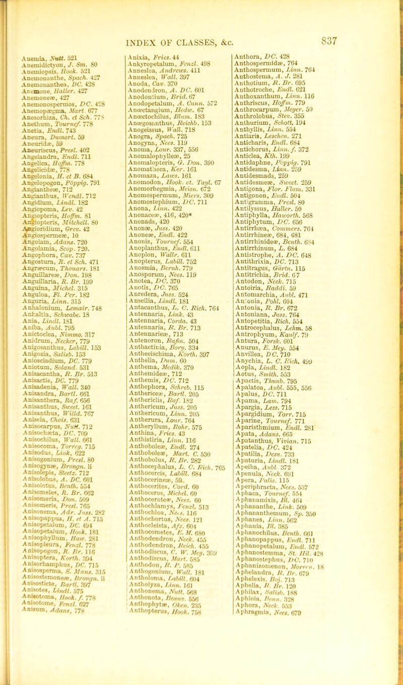 Anemia, Xutt. 521 Anemidictyon, J. Sm. 80 Anemiopsis. Hook. 521 Anewounuthe, Spach. 427 Anemouauthea, DC. 428 Anemone. Haller. 427 Anemoneae, 427 Anemonospertuos, DC. 428 Anemopzegma, Mart 677 Anesorhiza, Ch. el Sch. 778 Anethum, Tour tie/. 778 Anetia, Endl. 743 Aneura, Duuwrt. 59 Aneuridce, 59 Aneuriscus, Presl. 402 Angelandra, Endl. 711 Angelica, Hoffm. 778 Angeiicidze, 778 Angel onia, H. et B. 684 Angelopogon, Poppig. 791 An giant he a?, 712 Angianthus, If'endl. 712 Angidium, Lindl. 182 Angiopoma, Lev. 42 Anziopteris, Ho/m. 81 Ai&opteris, Mitchell. 80 A^gioridium, Grev. 42 Angiospermeae, 10 An go lam, Adans. 720 Angolamia, Scop. 720. Angophora, Cav. 737 Angostura, R. et Sch. 471 Angnecum, Thouars. 181 Anguillareze, Don. 198 Angnillaria, R. Br. 199 Angnina, Michel. 315 Anguloa, FI. Per. 182 Angaria, Linn. 315 Anhalonium, Lemair. 748 Antaltia, Schicabe. 18 Ania, Lindl. 181 Aniba, Aubl. 795 Anictoclea, Aim mo. 317 Anidram, Aecker, 779 Auigosanthns, Lnbill. 153 Anigozia, Salisb. 153 Aniosciadium, DC. 779 Aniotum, Soland. 531 Anisacantha, R. Br. 513 Aniaactis, DC. 779 Anuadenia, Wall. 340 Aniaandra, Bartl. 661 Anisanthera, Raf 656 Aniaanthna, Street. 161 Aniaanthoa, Willd. 767 Aniaeia, Chois. 631 Aniaocarpua, Nutt 712 Aniaochseta, DC. 709 Aniaochilua, Wall. 661 Aniaocoma, Torfey. 715 Aniaodna, Link, 622 Aniaogonium, Presl. 80 Aniaogynae, Brr/ngn. li Aniaolepis, Steelz. 712 Anlaolohua, A. DC. 601 Aniaolotua, Benth. 554 Aniaomelea, R. Br. 662 Anisomeria, Don. 509 Aniaomeris, Presl. 765 Aniaonema, A dr. Just. 282 Aniaopappna, H. rt A. 715 Anisopetalum, DC. 494 An isopetal um, Hook. 181 AnisophyDom. Hair. 281 Anisopleura, Fenxl. 778 Aniaopogon, R. Br. 116 Anfaoptera, Korih. 394 Ani3orhamphoa, DC. 715 Aniaospenna, S. Mans. 315 Anisoatemonew, Brongn. li Anuostiete, Bartl. ZSS7 Anisotes, Lindl. 575 AnUotoma, Hook./. 778 Aniaotome, Frnzl. 627 Anianm, Adans, 778 INDEX OF CLASSES, &c, Anixia, Fries. 44 Aukyropetalum, Fenzl. 498 Anneslea, Andrews. 411 Anneslea, Wall. 397 Auoda, Cav. 370 Anodeulrou, A. DC. 601 Anodoutium, Brid. 67 Anodopetalum, A. Cunn. 572 Ancectangium, Iledw. 67 Ancectochilus, Blum. 183 Ancegosauthus, Reichb. 153 Anogeissus, Wall. 718 Anogra, Spach. 725 Anogyna, Aees. 119 Anorna, Lour. 337, 556 Anomalophylleae, 25 Anomalopteris, G. Don. 390 Anomat'neca, Ker. 161 Anomaza, Laics. 161 Anomodon, Hook. et. Tayl. 67 Anomorhegmia, Meisn. 672 Anomospermum, Miers. 309 Anomostephium, DC. 711 Anona, Linn. 422 Anonacea?, 416, 420* Anonads, 420 Anonse, Juss. 420 Anonese, Endl. 422 Anonis, Tournef. 554 Anoplanthus, Endl. 611 Anoplon, WaXlr. 611 Anopterus, LabiR. 752 Anosmia, Bemh. 779 Anosporum, Aees. 119 Anotea, DC. 370 Anotis, DC. 765 Anredera, Juss. 524 Ansellia, Lindl. 181 Antacanthus, L. C. Rich. 764 Antennaria, Link. 43 Antennaria, Corda. 43 Antennaria, R. Br. 713 Antennariea?, 713 Antenoron, Rafin. 504 Anthactinia, Borg. 334 Antheeischima, Korth. 397 Anthelia, Dum. 60 Anthema, Medik. 370 Anthemidea?, 712 Anthemis, DC. 712 Anthephora, Schreb. 115 Anthericea*, Bartl. 205 Anthericlis, Raf. 182 Anthericum, Juss. 205 Anthericum, Linn. 205 Antherura, Lour. 764 Antherylium, Rohr. 575 Anthina, Fries. 43 Anthistiria, Linn. 116 Anthoboleze, Endl. 274 Anthoboleze, Mart. C. 530 Anthobolus, R. Br. 282 Anthocephalus, L. C. Rich. 765 Anthocercis, LalAU. 684 Anthocerineze, 59_ Antbocerites, Cord. 60 Anthoceros, Michel. 60 Anthocerote®, Aees. 60 Anthochlamys, Fenzl. 513 Anthochloa, Nice. 116 Anthochortua, Aees. 121 Anthocleiata, Afz. 604 Anthocometes, /•:. M. 680 Anthodendron, Neck. 455 Anthodendron, Reich. 455 Anthodiacua, C. W. Meg. 399 Arithodiactis, Mart. 585 Anthodon, It. P. 585 Anthogoniuru, Wall. 181 Antholonia, Isi/AU.fVt4 Antholyza, Linn. 161 Anthonerna, Nutt. 568 Antbonota, Benue. 556 Antbophytae, Okm. 235 Anthopterua, Hook. 758 Anthora, DC. 428 Anthospermidze, 764 Anthospermum, Linn. 764 Anthostema, A. J. 281 Anthotium, R. Br. 695 Anthotroche, Endl. 621 Authoxanthum, Linn. 116 Anthriscus, Hoffm. 779 Antbrocarpum, Meyer. 50 Anthrolobus, Stev. 355 Anthurium, Schott. 194 Anthyllis, Linn. 554 Antiaris, Leschcn. 271 Anticharis, Endl. 684 Antichorus, Linn./. 372 Anticlea, Kth. 199 Antidaphne, Poppig. 791 Antidesma, Linn. 259 Antidesmads, 259 Antidesmeze, Sweet. 259 Antigona, Flor. Hum. 331 Antigonon, Endl. 504 Antigramma, Presl. 80 Antilyssus, Haller. 50 Antiphylla, Haworth. 568 Antiphytum, DC. 656 Antirrhzea, Commers. 764 Antirrhine®, 684, 681 Antirrhinide®, Benth. 684 Antirrhinum, L. 684 Antistrophe, A. DC. 648 Antithrixia, DC. 713 Antitragus, Gdrtn. 115 Antitrichia, Bnd. 67 Antodon, Neck. 715 Antoiria, Raddi. 59 Antomarchia, AubL 471 Antonia, Pohl. 604 Antonia, R. Br. 672 Antoniana, Juss. 764 Antopetitia, Rich. 554 Antrocephalus, Lehm. 58 Antrophyum, Kaulf. 79 Antura, Forsk. 601 Anurus, E. Mey. 554 Anvillea, DC. 710 Anychia, L. C. Rich. 459 Aopla, Lindl. 182 1 Aotus, Smith. 553 Apactis, Thunb. 795 Apalatoa, Aubl. 555, 556 Apalus, DC. 711 Apama, Lam. 794 Apargia, Less. 715 Apargidium, Torr. 715 Aparine, Tournef. 771 Aparisthmium, Endl. 281 Apata, Adans. 665 Apatanthus, Vivian. 715 Apatelia, DC. 424 Apatilia, Dcsv. 733 Apaturia, Lindl. 181 Apeiba, Aubl 372 Apenula, Neck. 691 Apera, Palis. 115 Aperiphrnctn, Nces. 537 Aphaca, Tournef. 554 Aphanamixis, Bl. 464 Aphauanthe, Link. 509 Aplmimntheinuni, Sp. 350 Aphanes, Linn. 562 Aphania, Bl. 385 Aphanochilu8. Bonth. 661 Aplmnopappu8, Endl. 711 Aphanopetalum, Endl. 572 Aphanosteimnn, .St. HU. 42H Aphanostephus, DC. 710 Aplmnizomenon, Morrm. 18 Aphelandrn, It. Br. 679 Aphelexls. B»j. 713 Aplielin, It. Br. 120 Apliilax, Salisb. 188 Aphloin. Bonn. 328 Aphora, Neck. 653 Aphrnginin, Ares. 670