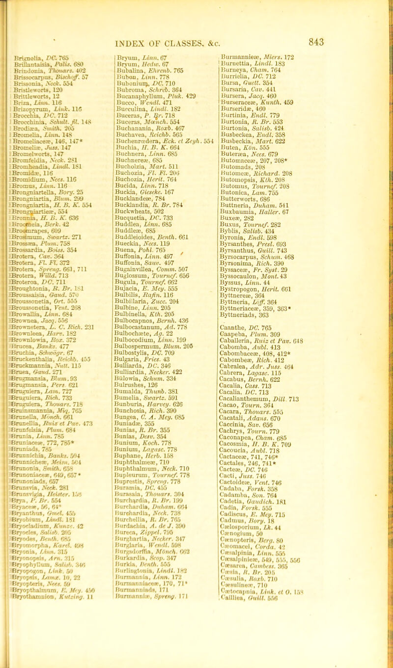 Brignolia, DC. 765 Brillantaisia, Palis. 680 Briudonia, Thouars. 402 Brissocarpus, Bischojf. 57 Brissonia, Neck. 554 Bristle worts, 120 Brittle worts, 12 Briza, Linn. 116 Brizopyrum, Link. 116 Brocchia, DC. 712 Brocchinia, Schult.jtt. 148 Brodia?a, Smith. 205 Bromelia, Linn. 148 Bromeliacere, 146, 147* Bromeliae, Juss. 147 Bromelworts, 147 : Bromfeldia, Neck. 281 Bromheadia, Lindl. 181 'Bromidae, 116 Bromidium, Sees. 116 ;Bromus, Linn. 116 : Brongniartella, Bory. 25 •Brongniartia, Blum. 209 Brongniartia, H. B. K. 554 Brongniartieae, 554 Bronnia, H. B. K. 636 Brooffieia, Berk. 42 Brooinrapes, 609 Brosimum, Swartz. 271 rBrosssea, Plum. 758 Brossardia, Boiss. 354 EBrotera, Car. 364 EBrotera, FI. FI. 372 FBrotera, Spreng. 661, 711 ■Brotera, Willd. 713 HBroteroa, DC. 711 HBroughtonia, R. Br. 181 HBroussaisia, Gaud. 570 .-Broussonetia, Ort. 555 Broussonetia, Vent. 268 Browallia, Linn. 684 Brownea, Jacq. 556 Brownetera, L. C. Rich. 231 Brownleea, Hart. 182 Brownlowia, Rox. 372 Brucea, Banks. 477 Bruchia, Schwagr. 67 rBruckenthalia, Reichb. 455 Bruckmannia, Nutt. 115 . Bruea, Gaud. 271 .Brngmansia, Blum.93 BBrugmansia, Pers 621 -Sruguiera, Lam. 727 rfiruguiera, Rich. 733 EBrogtriera, Thouars. 718 Bruinsmannia, Miq, 765 I Brunella, Sl'/nch. 661 ftrunellia, Ruiz et Pat. 473 Brunfelsia, Plum. 684 Brunia, Linn. 78o Bruniace«e, 772, 785* rBruniads, 76b Brunnichia, Banks. 504 Brunnichea:, .Heim. 504 Brunonia, Smith. 658 Brunoniaceae, 6-19, 657* Brunoniads, 657 Bruns via, Neck. 281 Brnnsvigia, Mcistcr. 156 : Brya, P. Br. 554 ! Bryaeese, 56, 64* Bryanthos, Gmel. 455 Bryobtam, Lin/ll. 181 Bryodadinm, Kunzc. 42 Bryodes, SaLisb. 205 i Bryonies, Bcnth. 685 Bryomorpha, Karel, lift Bryonia, /Ann. 315 BryonopsLs, Am. 315 Bryophyllum, Salisb. 346 Bryopogon, Link. 50 • Bryopsis, I/imx. 10, 22 Bryopteris, Sees. 59 Bryopthalmnm, Mey. 450 Bryothamnion, Kulziruj. 11 Bryum, Linn. 67 Bryum, IJedw. (57 Bubalina, Ehrenb. 765 Bubou, Linn.778 Buboniun), DC. 710 Bubroma, Schreb. 364 Bucanaphvllum, Pluk. 429 Bucco, Wendl. 471 Bueculina, Lindl. 182 Buceras, P. Qr. 718 Buceras, Mcench. 554 Bucbanania, Roxb. 467 Buchavea, Reichb. 565 Buchenrcedera, Eck. et Zeyh. 554 Buchia, H. B. K. 664 Buchnera, Linn. 685 Buchnerere. 685 Bucliolzia, Mart. 511 Bucbozia, FI. FI. 206 Buchozia, Merit. 764 Bucida, Linn. 718 Buckia, Gieseke. 167 Bucklandese, 784 Bucklandia. R. Br. 784 Buckwheats, 502 Bucquetia, DC. 733 Buddlea, Linn. 685 Buddleae, 685 Buddleioides, Benth. 6G1 Bueckia, Nees. 119 Buena, Pohl. 765 Buffonia, Linn. 497 Buffonia, Sauv. 497 Bugainvillea, Comm. 507 Buglossum, Tournef. 656 Bugula, Tournef. 662 Bujacia, E. Mey. 555 Btilbilis, Rafin. 116 Bulbillaria, Zucc. 204 Bulbine, Linn. 205 Bulbinella, Kih. 205 Bulbocapnos, Bernh. 436 Bulbocastanum, Ad. 778 Bulbochaete, Ag. 22 Bulbocodium, Linn. 199 Bulbospermum, Blum. 205 Bulbostylis, DC. 709 Bulgaria, Fries. 43 Bulliarda, DC. 346 Bulliardia, Necker. 422 BUlowia, Schum. 334 Bulrushes, 126 Bumalda, Thurib. 381 Bumelia, Swartz. 591 Bunburia, Harvey. 626 Bunchosia, Rich. 390 Bungea, C. A. Mey. 685 Buniadie, 355 Hunias, It. Br. 355 Bunias, Desv. 354 Bunium, Koch. 778 Bunium, Lagasc. 778 Buphane, Herb. 158 1 Buphthalmeae, 710 1 Buphthalmum, Neck. 710 i Bupleurum, Tournef. 778 | Buprestis, Spreng. 778 I Buramia, DC. 455 j Burasaia, Thouars. 304 Burch;»rdia, R. Br. 199 , Burebardia, Duham. 664 | Burchardia, Neck. 738 Hurchellia, R. Br. 765 Biirdacbia, A. de J. 390 Hureca, Zipjpel. 795 Burgbartia, Necker. 317 , Barglaria, Wendl. 698 Burgsdorffia, M(inch. 662 Burkardia, Scop. 347 ; Burkia, /tenUi. 655 Burlington in, Lindl. 182 Burmannia, Linn. 172 j \{firmanniace®, J70, 71* Burma ri riiada, 171 Hurrnnnnhp, Spreng. 171 Burmanniete, Mlers. 172 (Buruettia, Lindl. 183 Burneya, Cham. 764 Burrielia, DC. 712 Bursa, Guctt. 354 Bursaria, Cav. 441 Bursera, Jacq. 460 Burseraceae, Kunth. 459 Burserid®, 460 Burtinia, Endl. 779 Burtonia, R. Br. 553 Burtonia, Salisb. 424 Busbeckea, Endl. 358 Busbeckia, Mart. 622 Butea, Klin. 555 Buteraea, Nees. 679 Butomaceae, 207, 208* Butomads, 208 Butomeae, Richard. 208 Butomopsis, Kth. 208 Butomus, Tournef. 208 Butonica, Lam. 755 Butterworts, 686 Buttneria, Duham. 541 Buxbaumia, Haller. 67 Buxea?, 282 Buxus, Tournef. 282 Byblis, Salisb. 434 Byronia, Endl. 598 Byrsanthes, Presl. 693 Byrsanthus, Quill. 743 Byrsocarpus, Schum. 468 Byrsonima, Rich. 390 Byssaceae, Fr. Syst. 29 Byssocaulon, Mont. 43 Byssus, Linn. 44 Bystropogon, Merit. 661 Byttnereae, 364 Byttneria, Loff. 364 Byttneriace®, 359, 363* Byttneriads, 363 Caanthe, DC. 765 Caapeba, Plum. 309 Caballeria, Ruiz et Pav. 648 Cabomba, Aubl. 413 Cabombaceae, 408, 412* Cabombe®, Rich. 412 Cabralea, Adr. Juss. 464 Cabrera, Lagasc. 115 Cacabus, Bernh. 622 Cacalia, Cass. 713 Cacalia, DC. 713 Cacalianthemum, Dill 713 Cacao, Tourn. 364 Cacara, Thouars. 555 Cacatali, Adans. 670 C'accinia, Sav. 656 Cachrys, Tourn. 779 Caconapea, Cham. 685 Cacosmia, II. B. K. 709 Cacoucia, Aubl. 718 Cactace®, 741, 746* Cactales, 246, 741* Cactea.*, DC. 746 Cacti, Juss. 746 C'actoidcte, Vent. 746 Cadaba, Forsk. 358 Cadamba, Son. 764 Cadetia, Gaudich. 181 Cadia, Forsk. 555 Cadiscus, E. Mey. 715 Cadmus, Bory. 18 Ctelosporium, Lk. 44 C®nogium, 50 Ctcnopteris, Berg. 80 Cmomacei, Coraa. 42 Cicsalpinia, Linn. 655 Cicsalpinierc, 549, 555, 556 Crcsarea, Cambess. 365 CfpBin, R. Br. 205 CicBulIn, Roxb. 710 CieBulinerc, 710 Ciptocnpnin, Link, et 0. 158 , t'ailliea, GuiU. 556