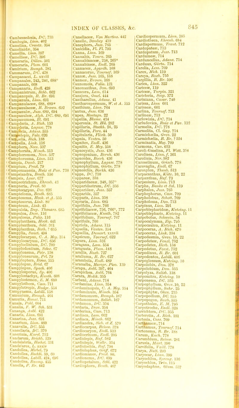 84 Cambessedesia, DC. 733 Cambcgia, Linn. 402 Camelina, Grants. 354 Cameiinida?, 354 Camellia. Linn. 397 Camelliea?, DC. 39(5 Cameraria, DUUn. 501 Cameraria, Pluvx. 601 Camirium, Humph. 281 Cammarum, DC. 428 Campanacei. L. xx\iii Campanales, 243, 246, 6SS* • Campanals, 668 Cam panaria, BndL 428 Campanistnun, Rchb. 662 Campanopsis, R. Br. 691 Campanula, Linn. 691 Campanulaceae, 688, 689* 1 Campanulaceae, R. Brown. 692 Campanula, Juss. 689, 694 Campanuleae, Alph. DC. 689 , 691 1 Campanumcea, Bl. 691 • Campderia, A. Rich. 153 Campderia, Lagasc. 778 Camp^cia, Adam. 555 Caiqpelepis, Fate. 626 Canipelia, Rich. 1S8 Campella, Link. 116 i Camphora, Sees. 537 I Camphorata, Munch. 513 • Camphoromcea, Secs. 537 • Camphorosma, Linn. 513 ' Campia, Domb. 217 • Campium, Presl. 79 1 Campomanesia, Ruiz et Pan. 738 ' Campsiandra, Benth. 556 ' Campsis, Lour. 677 1 Campsotrichum, Ehrenb. 43 Campteria, Presl. 80 Camptocarpus, Dec. 626 Camptoloma, Benth. 685 Camptosema, Hook, et A. 555 Camptosorus, Link. 80 Camptoum, Link. 43 Campuleia, Dup. Thouan. 685 Campuloa, Desv. 116 Campulosus, Palis. 116 Campylanthera, Hook. 441 Campylan thera, Scht. 261 Campylanthus, Roth. ? 685 Campylia, Sweet. 494 Campylocarpus, C. A. Mey. 354 Campylocaryuin, DC. 656 Campyloclinium, DC. 709 Campylodontium, Schw. 67 Campylonema, Poir. 158 Campyloneurum, Prl. 79 Campyloptera, Boiss. 355 Campylopu3, Brid. 67 Carnpylopu3, Spach. 406 ! Campylogporus, Bp. 406 I Campy lostachys, Kunth. 608 Campylostemon, E. M. 680 Campylotheca, Cats. 711 Campylotropis, Ru/lge. 554 Campynema, LafjiU. 158 Camuniam, Humph. 404 Camatia, Py/nal. 711 Canala, Pohl. 604 Canalia, F. W. 8ch. 531 Cananga, A ><D. 422 j Canaria, Linn. 691 Canarina, .List. 691 i anariurn, Linn. 460 Canavalia, DC. 555 Cancellaria, DC. 370 Cancrinia, Karel. 712 Candamm, lOwh),. 129 Candelabria, H'jchst. 331 Cande'ares, L. xxxiv Candollea, Mirbel. 79 Candollea, Raddi. 59, 60 Candollea, Lal/iU. 424 , 696 Candollea, flauiug. 455 Canellaf P. Hr. 442 . Cauellaceae, Von Martins. 442 Canello, Dombey 419 Canephora, Juss. 765 Caniddia, FI. FI. 795 Canna, Linn. 169 Cannabis, 2burn. 265 Cannabinacete, 258, 265* Cannabinere, Endl. 266 Cannaceie, Agardh. 168 Cannacorus, Toumef. 169 Cannae, Juss. 165, 168 Cannea;, Brown. 168 Caunomois, Palis. 121 Canonanthus, Don. 693 Canscora, Lam. 614 Cansjera, Gmel. 444 Cantharellus, Adana. 41 Cantharospermum, W. et A. 555 Canthium, Linn. 764 Cantua, Juss. 636 Capea, Montagu. 22 Capellia, Blume. 424 Caperonia.. St. HU. 282 Capillaria, Stackh. 24, 25 Capillaria, Pers. 44 Capitularia, Flork. 50 Capnia, Venten. 50 Capnites, Endl. 436 Capnitis, E. Mey. 554 Capnocystis, Juss. 436 Capnogonium, Bemh. 436 Capnoides, Boerh. 436 Capnophyllum, Lagasc. 778 Capnophyllum, Oartn. 778 Capnorchis, Borkh. 436 C’appa, DC. 710 Cappare®, 358 Capparidacece, 348, 35741 Capparidastrum, DC. 358 Capparideae, Juss. 357 Capparids, 357 C'apparis, Linn. 358 Capraria, Linn. 685 Caprifolia, Juss. 766 Caprifoliacece, 756, 766*, 772 Caprifoliaceae, Kunth. 782 Caprifolium, Toumef. 767 Caprifoils, 766 Capriola, Adans. 115 Capsella, Venten. 354 Capsellia, Dumort. xxxvii Capsicum, Toumef. 622 G'apura, Linn. 531 j Caragana, Lam. 554 Caraguata, Plum.' 148 i Carallia, Roxb. 727 Caralluma, R. Br. 627 i Carambola, Endl. 489 ! Caranaiba, Marcgr. Piso. 139 Carapa, AuU. 397, 464 Carapichea, Aubl. 764 Carara, Medik. 355 ' C'arbeni, Adans. 714 Cardamine, Linn. 354 Cardaminopsis, C. A. Mey. 354 ‘ ardaminum, Moneh. 354 Cardamomum, Humph. 167 Cardamomum, Salisb. 167 Cardamon, DC. 354 Cardaria, Desv. 354 Carderina, Cass. 713 Cardiaca, I Aim. 662 ( ardiaca, Munch. 662 1 ardiandra, Sicb. et 7,. 570 Cardiocarpus, Reinw. 378 Cardiocaryon, Endl. 633 Cardiocrinum, Endl. 205 Cardiolepis, Raf. 582 Cardiolepis, Wallr. 354 Cardiolochia, Raf. 794 Cardiolophus, Hriff. (172 Cardiomanes, Presl Ho. 'ardlonema, DC. 41(9 Cardiopetaluin, Schl. 422 Cardiophora, llmlh. 407 Cardiospermum, Linn. 385 Cardiotheca, Ehrenb. 684 Cardispermuui, Traut. 712 Cardopateae, 713 Cardopatum, Juss. 713 Carduineie, 714 Carduncellus, Adans. 714 Carduus, Garin. 714 Carelia, Less. 709 Carex, Mich. 119 Careya, Roxb. 755 Cargillia, R. Br. 596 Carica, Linn. 322 Caricese, 119 Caricese, Turpin. 321 Caricteria, Scop. 372 Cariniana, Casar. 740 Carissa, Linn 601 CarissetE, 601 Carlina, Toumef. 713 C'arlineae, 713 Carlowizia, DC. 714 Carludovica, Ruiz et Pav. 132 Carmelia, DC. 778 Carmelita, Cl. Gay. 714 Carmichaelia, Grev. 22 Carmichselia, R. Br. ? 554 Carminatia, Mog. 709 Carmona, Cav. 653 Caroli-Gmelina, FI. Wett. 354 Carolinea, Linn.f. 361 Carolinia, Ner. 582 Caroselinum, Griseb. 778 Carovaglia, Endl. 67 Caroxylon, Thumb. 513 Carpacanthus, Kiitz. 10, 22 Carpanthus, Raf. 73 Carpesium, Linn. 713 Carpha, Banks et Sol. 119 G'arphalea, Juss. 765 Carphephorus, Cass. 709 Carpholobus, Schott. 709 Carpholoma, Don. 713 Carpinus, Linn. 291 Carpoblepharidese, Kutzing. 11 Carpoblepharis, Kutzing. 11 Carpobolus, Schwein. 58 Carpocalymma, Zip. 795 Carpocaulou, Kutzing. 11 Carpoceras, A. Rich. 670 Carpoceras, Link. 354 Carpodesmia, Grev. 10, 22 Carpodeteae, Fenzl. 752 Carpodetes, Herb. 158 Carpodetus, Forst. 752 Carpodinus, R. Br. 601 C'arpodontos, Labill. 406 Carpoglos8um, Kutzing. 10 Carpolobia, Don. 378 Carpolobium, Don. 555 Carpolyza, Salisb. 158 Carpomitra, Kutzing. 10 Carponenm, DC. 355 Carpophyllum, Grtv. 10, 22 Carpopliylluin, Suhr. 25 Carpophytse, Okcn. 235 Carpopodiuin, DC. 355 C'nrpopogon, Roxb. 555 Cnrpotlmles, E. M. 795 ('arpotroche, Endl. 328 Carriclitera, DC. 355 Carteretia, A. Rich. 181 Cnrtesin, Cass. 709 Cnrthamcm, 714 C'arthamus, Toumef. ^\\ iCnrtonenm, II. Br. 188 Carum, Koch. 778 Carumblum, Reimo. 281 Carusla, Mart. 390 Carvifolia, Vaitl. 778 ('arya, Full. 293 Caryocnr, Linn. 399 Caryochloa, 8/irenp. 116 • taryochloa, ZWn. 115 C'nryodnplme, Hi urn. 637