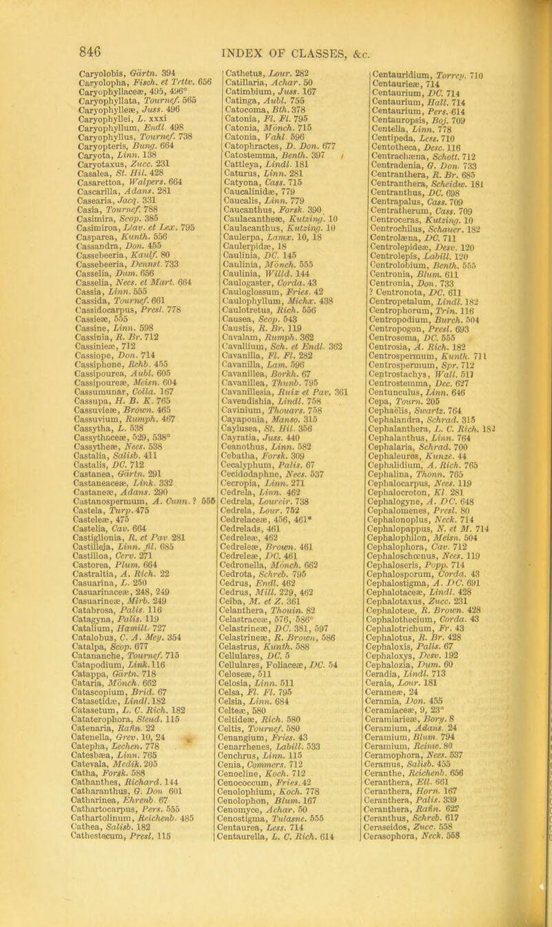 Caryolobis, Garin. 394 Caryolopha, Filch, et Trtiv. 656 Caryophyllaceae, 495, 496° Caryophyllata, Tourncf. 565 Caryopliylleae, Jtus. 496 Caryophyllei, L. xxxi Caryopliyllum, Endl. 498 Caryophyllus, Toumef. 738 Caryopteris, Bung. 664 Caryota, Linn. 138 Caryotaxus, Zucc. 231 Casalea, St. HU. 428 Casarettoa, Walpers. 664 Cascarilla, Adam. 281 Casearia, Jacq. 331 Casia, Toumef. 788 Casimira, Scop. 385 Casimiroa, Llav. et Lex. 795 Casparea, Kunth. 556 Cassandra, Don. 455 Cassebeeria, Kaulf. 80 Cassebeeria, Dcnnst 733 Casselia, Dum. 656 Casselia, Nees. et Mart. 664 Cassia, Linn. 555 Cassida, Tourncf. 661 Cassidocarpus, Brest. 778 Cassiese, 555 Cassine, Linn. 598 Cnssinia, It. Br. 712 Cassinie®, 712 Cassiope, Don. 714 Cassipbone, Rchb. 455 Cassipourea, Aubl. 605 Cassipourese, Meisn. 604 Cassumunar, Cotta. 167 Cassupa, H. B. K. 765 Cassuviese, Brown. 465 Cassuvium, Rumph. 467 Cassytha, L. 538 Cassythocese, 529, 538“ Cassythe®, Bees. 538 Castalia, Salisb. 411 Castalis, DC. 712 Castanea, Gdrtn. 291 Castaneaceae, Link. 332 Castaneae, Adam. 290 Castanospennum, A. Gunn. 1 555 Castela, Turp. 476 Caste-lea', 475 Castelia, Cav. 664 Castiglionia, R. et Pav 281 Castilleja, Linn. fit. 685 Castilloa, Cerv. 271 Castorea, Plum. 664 Castraltia, A. Rich. 22 Casuarina, L. 250 Casuarinace®, 248, 249 Casuarine®, Mirb. 249 Cntabrosa, Palis. 116 Catagyna, Palis. 119 Catalium, Hamilt. 727 Catalobus, C. A. Meg. 354 Catalpa, Scop. 677 Catananche, Toumef. 715 Cntapodium, Link. 116 Catappa, Gdrtn. 718 Cataria, Monch. 662 Catascopium, Brid. 67 Catasetidie, Lindt. 182 Catasetum, L. C. Rich. 182 Cataterophora, Steud. 115 Catenaria, Rafln. 22 Catenella, Grev. 10, 24 t Catepha, Lechen. 778 Catesbiea, Linn. 765 Catevala, Medik. 205 Catha, Forsk. 588 Cathanthes, Richard. 144 Catbarnnthus, G. Don 601 Catbarinea, Ehrenb 67 Cathortocarpus, Pers. 555 Cathartolinum, Reichenb. 485 Cathea, Salisb. 182 Cathestecura, Prcsl, 115 Cathetus, Lour. 282 Catillaria, Achar. 50 Catimbium, Juss. 167 Catinga, Aubl. 755 Catocoma, Bth. 378 Catonia, Ft. Ft. 795 Catonia, Monch. 715 Catonia, Vahl. 596 Oatophractes, D. Don. 677 Catosteraina, Benth. 397 t Cattleya, Lindt. 181 Caturus, Linn. 281 Catyona, Cass. 715 CaucalinidiE, 779 Caucalis, Linn. 779 Caucanthus, Forsk. 390 Caulacanthese, Kutxing. 10 Caulacanthus, Kutzing. 10 Caulerpa, Lamx. 10, 18 Caulerpid®, 18 Caulinia, DC. 145 Caulinia, Monch. 555 Caulinia, Willd. 144 Caulogastcr, Corda. 43 Cauloglossum, Fries. 42 Caulophyllum, Midwc. 438 Caulotretus, Rich. 656 Causea, Scop. 543 Caustis, R. Br. 119 Cavalam, Rumph. 362 Cavallium, Sch. et Endl. 362 Cavanilla, Ft. FI. 282 Cavanilla, Lam. 596 Cavanillea, Borkh. 67 Cavanillea, Thunb. 795 Cavanillesia, Ruiz et Pav. 361 Cavendishia, Lindt. 758 Caviniuin, Thouars. 758 Cayaponia, Manso. 315 Caylusea, St. Hit. 356 Cayratia, Juss. 440 Ceanothus, Linn. 582 Cebatlia, Forsk. 309 Cecalypliuni, Palis. 67 Cecidodaphne, Bees. 537 Cecropia, Linn. 271 Cedrela, Linn. 462 Cedrela, Lourcir. 738 Cedrela, Lour. 752 Cedrelaceoe, 456, 461* Cedrelads, 461 Cedrele*, 462 Cedreleee, Brown. 461 Cedrelete, DC. 461 Cedronella, Monch. 662 Cedrota, Schreb. 795 Cedrus, Endl. 462 Cedrus, Mill. 229, 462 Ceiba, M. et Z. 361 Celanthera, Thouin. 82 Celastrace®, 576, 586“ Celastrinoce, DC. 381, 597 Celastrine®, R. Brown, 586 Celastrus, Kunth. 588 Cellulares, DC. 5 Cellulares, Foliaceae, DC. 54 Celoseaj, 511 Celosia, Linn. 511 Celsa, FI. FI. 795 Celsia, Linn. 684 Cel tea-, 580 Celtideae, Rich. 580 Celtis, Toumef. 580 Cenangium, Fries. 43 Cenarrhenes, Labill. 533 Cenchrus, Linn. 115 Cenia, Common. 712 Cenocline, Koch. 712 Cenococcum, Fries. 42 Cenolophium, Koch. 778 Cenoloplion, Blum. 167 Cenomyce, Achar. 50 Cenostigma, Tulasnc. 555 Centaurea, Less. 714 Centaurella, L. C. Rich. 614 Centauridium, Tor rep. 710 Centauriea;, 714 Centaurium, DC. 714 Centaurium, Hall. 714 Centaurium, Pcrs. 614 Centauropsis, Boj. 709 Centella, Linn. 778 Centipeda, Less. 710 Centotheca, Dcsc. 116 Centrachaena, Schott. 712 Centradenia, O. Don. 733 Centranthera, R. Br. 685 Centranthera, Schcidw. 181 Centranthus, DC. 698 Centrapalus, Cass. 709 Centratlierum, Cass. 709 Centroceras, Kutzing. 10 Centrochilus, Schauer. 182 Centrolama, DC. 711 Centrolepideae, Desv. 120 Centrolepis, Labill. 120 Centrolobium, Benth. 555 Centronia, Blum. 611 Centronia, Don. 733 ? Centronota, DC. 611 Centropetalum, Lindt. 182 Ccntrophorum, Trin. 116 Centropodium, Burch. 504 Centropogon, Prcsl. 693 Centrosema, I)C. 555 Centrosia, A. Rich. 182 Centrospermum, Kunth. 711 Centrospermutn, Spr. 712 Centrostacliys, Wall. 51) Centrostemma, Dec. 627 Centunculus, Linn. 646 Cepa, 7'ourn. 205 Cepliaelis, Swartz. 764 Cephalandra, Schrad, 315 Ceplmlanthem, L. C. Rich. 182 Cephalanthus, Linn. 764 Cephalaria, Schrad. 700 Cephaleuros, Kunze. 44 Cephalidlum, A. Rich. 765 Cepbalina, Thonn. 765 Cepbalocarpus, Bees. 119 Cephalocroton, Kl 281 Cepbalogyne, A. DC. 648 Cephalomenes, Prcsl. 80 Cephalonoplus, Neck. 714 Cephalopappus, B. ct M. 714 Cephalopliilon, Meisn. 504 Cephnlophorn, Cav■ 712 Cephaloschcenus, Bees. 119 Cephaloseris, Popp. 714 Cephalospornm, Corda. 43 Cepbalostigma, A. DC. 691 Ceplialotacea;, Lindl. 428 Cephalotaxus, Zucc. 231 Cephaloteie, R. Brown. 428 Cephalothecium, Corda. 43 Cephalotriclium, Fr. 43 Ceplialotus, R. Br. 428 Cepbaloxis, Palis. 67 Cephaloxys, Desv. 192 Cephalozia, Dum. 60 Ceradia, Lindl. 713 Ceraia, Lour. 181 Ceram ea1, 24 Ceramia, Don. 455 Ceramiace®, 9, 23“ Ceramiarie®, Borg. 8 Ceramium, Adans. 24 Ceramiura, Blum. 794 Ceramium, Rcimo. 80 Ceramophora, Bees. 537 Ceramus, Salisb. 455 Cerantlie, Reichenb. 656 Cerantliera, Ell. 661 Cerauthera, Horn. 167 Cerantliera, Palis. 339 Cerantliera, Rahn. 622 Cernnthus, Schreb. 617 Ceraseidos, Zucc. 558 Cerasophora, Beck. 568
