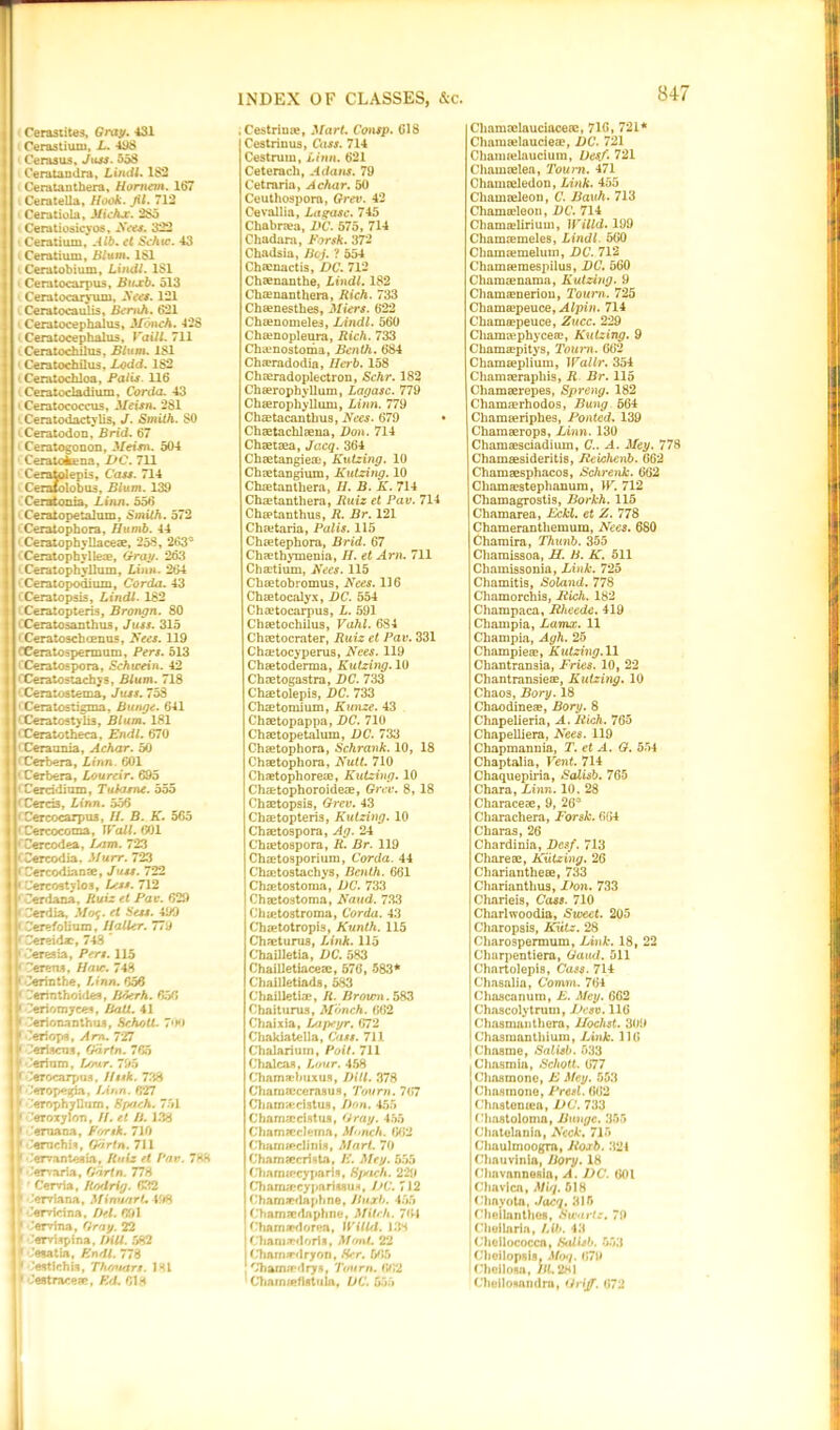 Cerastites, Gray. 431 Cerastiuni, L. 498 Cenuos, Joss. 558 Ceratandra, Lindl. 182 Ceratauthera, Homan. 167 CerateUa, Hook. JU. 712 Ceratiola, Michx. 285 Ceratiosicyoa, Sees. 322 Ceratium, Alb. el Sehic. 43 Ceratium, Blum. 181 Ceratobium, Lindl. 181 Ceratocarpus, Biucb. 513 Ceratocaryum, Sees. 121 Ceratocaulis, Bernh. 621 Ceratocephalus, Monch. 42S Ceratocephalus, Vaill. 711 Ceratochilus, Bln in. 181 Ceratochilus, Lodd. 182 Ceratochloa, Palis. 116 Ceratocladium, Corda. 43 Ceraroooccus, Meisn. 281 Ceratodactybs, J. Smith. SO 1 Ceratodon, Brid. 67 Ceratogonon, Meisn. 504 Ceratokena, DC. 711 Cerafcolepis, Cass. 714 Cerafolobus, Blum. 139 Ceratonia, Linn. 556 Ceratopetalum, Smith. 572 Ceratophora, Humb. 44 Ceratophyliaceae, 25S, 263* Ceratophylle®, Gray. 263 Ceratophyllum, Linn. 264 1 Ceratopodium, Corda. 43 Ceratopsis, Lindl. 182 Ceratopteris, Brongn. 80 1 Ceratosanthus, Juss. 315 ' Ceratoschcenus, Bees. 119 rCeratospermum, Pers. 513 1 Ceratospora, Schwein. 42 CCeratostachys, Blum. 718 < Ceratostema, Juss. 753 ■ Ceratostigma, Bunge. 641 (Ceratostylis, Blum. 181 ' Ceratotheca, Endl. 670 1 Ceraunia, A char. 50 ' Cerbera, Linn. 601 ■ Cerbera, Loureir. 695 ' Cerridium, Tukune. 555 Cerci3, Linn. 556 < Cercocarpu3, II. B. K. 565 ' Cercocoma, Wall. 601 ' Cercodea, Isim. 723 ' dercodia. Alurr. 723 1 Cercodianae, Juss. 722 • Verco9tylo3, Less. 712 ' Cerdana, Ruiz et Pav. 629 f derdia, Mot;. et Sess. 499 < Cerefolium, Haller. 779 • dereidac, 748 • deresia, Pers. 115 ' derens, Hcuo. 743 • derinthe, Linn. 656 • derinthoide*, literh. 656 K deriotnyees, Balt. 41 [ derionanthus, Scholl. 7»X> f deriops, Am. 727 I* dertoens, Gartn. 765 tderhnn, Lour. 795 derocarpus, Htsk. 738 k deropegia, Linn. 627 j* derophylluni, Spach. 751 [ 'eroxylon, II. et B. 138 l< emana, Forsk. 710 f ’ernchiR, Odrtn. 711 p derva n tea in, Ruiz et Pav. 7*8 * ’ervaria, Gdrtn. 773 • Cervia, Rodrig. 632 p -'erviann, MinunrL 493 P derricina, /></. 691 • denrtna, Gray. 22 * derrispina, 582 1 desatla, 778 * destlchis, Thouars. ]Hi • destracesn, 618 INDEX OF CLASSES, &c. . Cestrime, Mart. Consp. 618 Cestriuus, Cass. 714 Cestrum, Linn. 621 Ceteracli, A dans. 79 Cetraria, A char. 50 Ceuthospora, Grev. 42 Cevallia, Lagasc. 745 Chabnea, DC. 575, 714 Chadara, Forsk. 372 Chadsia, Bcj. ? 554 Chsenactis, Z>C. 712 Chsenanthe, Lindl. 182 Chasnanthera, Rich. 733 Chaenesthes, Miers. 622 Choenomeles, Lindl. 560 Chajnopleura, Rich. 733 Chvtnostoma, Benth. 684 Cha?radodia, Herb. 158 Chaeradoplectron, Schr. 182 Chaerophyllum, Lagasc. 779 Chserophyllum, Linn. 779 Chaetacantbus, Nees. 679 • Chaetachlaena, Don. 714 Chaetsea, Jacq. 364 Chaetangieaj, Kutzing. 10 Chaetangium, Kutzing. 10 Chsetanthera, II. B. K. 714 Chaetanthera, Ruiz et Pav. 714 Chsptanthus, R. Br. 121 Chaetaria, Palis. 115 Chietephora, Brid. 67 Chaethymenia, II. et Am. 711 Chaetium, Nees. 115 Chaetobromus, Nees. 116 Chaetocalyx, DC. 554 Chaetocarpus, L. 591 Chaetochilus, Vahl. 684 Chaetocrater, Ruiz et Pav. 331 Chaetocyperus, Nees. 119 Chaetoderma, Kutzing. 10 Chaetogastra, DC. 733 Chaetolepis, DC. 733 Chaetomium, Kunze. 43 Chaetopappa, DC. 710 Chaetopetalum, DC. 733 Chaetophora, Schrank. 10, 18 Chaetophora, Nutt. 710 Chaetophoreae, Kutzing. 10 Chaetophoroideae, Grev. 8, 18 Chaetopsis, Grev. 43 Chaetopteris, Kutzing. 10 Chaetospora, Ag. 24 Chaetospora, R. Br. 119 Chaetosporium, Corda. 44 Chaetostachys, Benth. 661 Chaetostoma, DC. 733 Chaetostoma, Naud. 733 Chaetostroma, Corda. 43 Chsetotropis, Kunth. 115 Chaeturus, Link. 115 Chailletia, DC. 583 Chailletiaceae, 576 , 583* Chailletiads, 583 Chailletiac, It. Brown. 583 Chaiturus, Monch. 662 Chaixia, Lapeyr. 672 Chakiatella, Cass. 711 Chalarium, Poit. 711 Chalcaa, Lour. 458 Chamadmxus, Dill. 378 Charnaeceraaus, Tourn. 7(7 Chnm&ctatus, Don. 455 Chamaccifttuii, Gray. 455 ChamKcIema, Monch. 662 Charn&cliniA, Mart. 70 ChamscrUta, I'. Mey. 555 Charaancyparis, Spach. 229 ChamaecypariMtia, DC. 7J2 Chamaedaphne, Jhucb. 455 Chamaedaphne, Mitch. 764 Cham&dorea, WiUd. 13s Chamcdoiis, MonL 22 I Chamardryon, Her. 565 , Cbama’dryn, Tourn. 662 Chain;*fistula, l)C. 555 Chamselauciaceac, 716, 721* Chamselauciea?, DC. 721 Chamrelnucium, Desf. 721 Chamaelea, Tourn. 471 Chamceledon, Link. 455 Chamseleon, C. Bauh. 713 Chamscleon, DC. 714 Chamjelirium, Willd. 199 Chamaemeles, Lindl. 560 Chamaemeluin, DC. 712 Chameeraespilus, DC. 560 Charaaenaraa, Kutzing. 9 Chamseneriou, Tourn. 725 Chama2peuce,^4/pi«. 714 Chama?peuce, Zucc. 229 Chamcephycese, Kutzing. 9 Chamaepitys, Tourn. 662 Chamaepliura, Wallr. 354 Chamaerapbis, R Br. 115 Chamaerepes, Spreng. 182 Chamaerhodos, Bung 564 Cbamaeriphes, Ponted. 139 Cbamaerops, Linn. 130 Chamaesciadium, C.. A. Mey. 778 Chamaesideritis, Jtei/shenb. 662 Chamaesphacos, Schrenk. 662 Cbamaestepbanura, W. 712 Chamagrostis, Borkh. 115 Chamarea, Eckl. et Z. 778 Chamerantbemum, Nees. 680 Charaira, Thunb. 355 Cbamissoa, H. B. K. 511 Chamissonia, Link. 725 Chamitis, Soland. 778 Chamorchis, Itich. 182 Champaca, Rheede. 419 Champia, Lamx. 11 Champia, Agh. 25 Champiese, Kutzing. 11 Cbantransia, Fries. 10, 22 Chantransieae, Kutzing. 10 Chaos, Bory. 18 Chaodineae, Bory. 8 Chapelieria, A. Rich. 765 Chapelliera, Nees. 119 Chapmannia, T. et A. G. 554 Chaptalia, Vent. 714 Chaquepu-ia, Salisb. 765 Chara, Linn. 10, 28 Characeae, 9, 26* Charachera, Forsk. 664 Charas, 26 Chardinia, Desf. 713 Chareae, Kutzing. 26 Cbariantheee, 733 Chariantbus, Don. 733 Charieis, Cass. 710 Charlwoodia, Sweet. 205 Charopsis, JCutz. 28 Cbarospermum, Link. 18, 22 Churpentiera, Gaud. 511 Chartolepis, Cass. 714 Chasalia, Comm. 764 Chascanum, E. Mey. 662 Chascolytrum, Desv. 116 Chasmanthora, Hoclist. 309 Chasmantbium, Link. 116 Choame, Salisb. 533 Cbasmia, Schott. 677 Chasmone, E Mey. 553 Chosmone, Fred. 662 Chaatemea, DC. 733 Choatolonm, Bunge. 355 Chntelania, Neck. 715 Clmulmoogra, Roxb. 324 (’hauvinia, Ilory. 18 ('bnvanneRia, A. DC. 601 Cbavlcn, Miq. 518 ('bayota, Jacq. 815 Cheilanthoa, Swartz. 70 Cheilaria, Lib. 43 Cheilococca, Salisb. 553 Clieilopaifl, Moq. 679 Cheilosa, ZtL 281 CheiloHundra, Griff. 672