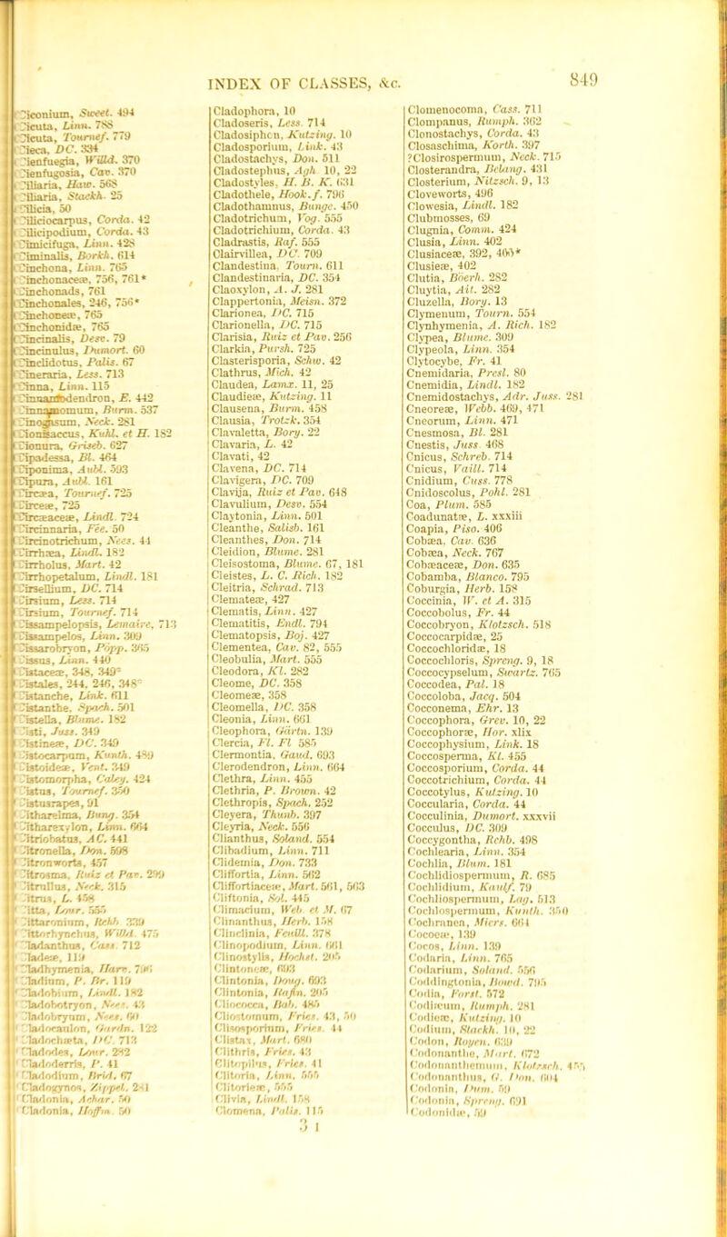 i ^iconium. Sweet. 494 • Cicuta, Linn. 788 i Zlcutn, Toumef. 779 • Cieca, DC. 334 « .’ienfuegia, WiUd. 370 ■ Cienfugosia, Cav. 370 • Ciliaria, Haw. 568 i iliaria, Staekh - 25 i Cilicia, 50 i 7iliciocarpus, Conia. 42 I i Tilicipodium, Corda. 43 i Cimicifuga, Linn. 428 • riminails, Borkh. 014 • Cinchona, Linn. 705 i Cinchonacea?, 750, 761* • Cinchonads, 761 Cinchonales, 246, 756* i Cinehocea?, 765 i Cinchonida?, 765 i Cincinalis, Desv. 79 tCincmulus, Ihimort. 60 rCinclidotus, Palis. 67 'Cineraria, Less. 713 • China, Linn. 115 Cinnantodendron, E. 442 .mnuDomum, Barm. 537 i Cinogisum, Neck. 281 i Cionisaccus, Kuhl. et H. 182 l Cionura. Griseb. 627 i Cipadessa, Bl. 464 l Ciponima, Aubl. 593 rCiptua, Aubl. 161 rTircsea, Toanef. 725 Circe®, 725 'Circaaceae, Lindl 724 rCircinnaria, Fee. 50 Cirrinotrichum, Nees. 44 LCirrhaea, Lindl. 182 Cirrholus, Hart. 42 rCirrhopetalum, Lindl. 181 f CirseDium, DC. 714 I Cirsium, Less. 714 i -irsium, Tourncf. 714 Cissampelopsis, Lemaire, 713 rCU*ampelos, Linn. 309 rCissarobryon, Popp. 365 I Cissu3, Linn. 440 Cistacea, 348, 349- Cistales, 244. 246, 348 Cwtanche, Link. 611 r Ciatanthe, Spaeh. 501 ’istella. Blame. 182 i ’isti, Juss. 349 Lit me®, DC. 349 'iftocarpam, Kunth. 489 Cistoide®, V'ent. 349 Cistomorpha, Coley. 424 Utua, Toumef. 350 • Ciatusrapea, 91 ' -dtharelma, Bung. 354 ' 'itharexylon, Linn. 604 1 Citriohatnj, AC. 441 ' -it rone I la, TMm. 598 » Citronworta, 457 1 -ftrosma. Ruiz et Par. 299 1 Citrnllua, Neck. 315 ' -ttrna, L. 458 1 itta, temr. 555 ' -ittaronium, ReD> 339 i fttorhynchtis, fViUd 475 ' larfanthtw, Cass. 712 lade®, 119 ' ladhymenia, Uam. “:*t Tadinm, P. Br. 119 ' CTadobium, Lin/U. 1H2 • Tadobotryon, Nees. 43 Cladobrynm, Nees. <J0 '' ladocanlon, Gardn. 122 ■ Madochata, DC 713 Had odes, Lovr. 282 f.Tadoderris, P. 41 riadodium, Brxd. 67 / ! Cladonia, A char. 50 I' Cladonia, Iloffm. 50 Cladophora, 10 Cladoseris, Less. 714 Cladosiphcn, Kutzing. 10 Cladosporium, Link. 43 Cladostachys, Don. 511 Cladostephus, Agh 10, 22 Cladostyles. H. B. K. 631 Cladothele, Hook.f. 796 Cladothamnus, Bunge. 450 Cladotrichum, Yog. 555 Cladotricliium, Corda. 43 Cladrastis, Iiaf. 555 Clairvillea, DC. 709 Clandestina. Toum. 611 Clandestinaria, DC. 354 Claoxylon, .1. J. 281 Clappertonia, Meisn. 372 Clarionea, DC. 715 Clarionella, DC. 715 Clarisia, Ruiz et Pav. 256 Clarkia, Puvsh. 725 Clasterisporia, Schw. 42 Clathrus, Mich. 42 Claudea, Lamx. 11, 25 Claudie®, Kutzing. 11 Clauseua, Burm. 458 Clausia, Trotzk. 354 Clavaletta, Bory. 22 Clavaria, L. 42 Clavati, 42 Clavena, DC. 714 Clavigera, DC. 709 Clavija, Ruiz et Pav. 648 Clavulium, Desv. 554 Claytonia, Linn. 501 Cleanthe, Salisb. 161 Cleanthes, Don. 714 C'leidion, Blume. 281 Cleisostoma, Blume. 67, 181 Cleistes, L. C. Rich. 182 Cleitria, Schrad. 713 Clemate®, 427 Clematis, Linn. 427 Clematitis, Endl. 794 Clematopsis, Boj. 427 Clementea, Cav. 82, 555 Cleobulia, Mart. 555 Cleodora, Kl. 282 Cleome, DC. 358 Cleome®, 358 Cleomella, DC. 358 Cleonia, Linn. 661 Cleophora, Gdrtn. 139 Clercia, El. El 585 Clermontia. Gaud. 693 Clerodendron, Linn. 664 Clethra, Linn. 455 Clethria, P. Brown. 42 Clethropis, Spach. 252 Cleyera, fhunb. 397 Cleyria, Neck. 556 Clianthus, Soland. 554 CJibadium, Linn. 711 Clidernia, Don. 733 Cliffortia, Linn. 562 ClifTortiacea>, Mart. 561, 5(53 Cliftonia, Sol. 445 Climariura, Web et M. (>7 Clinanthus, Herb. 158 Clincliuia, Fcnill. 378 Cliriopodium. Linn, til,l Clinostylla, Hochst. 2«>5 Clintonere, (593 Clintonia, Doug. 693 Clintonia, Bofin. 205 Cliococca, Balt. 485 Cliostomnm, Fries. 43, 50 Clbosporium, Fries. 44 Clistax, Mart. 680 ('lithris, Fries. 43 OlitnpiWs, Fries. 41 Clitoria, Linn. 555 Clitorle®, 555 (31 via, Lindt. 158 Clomena, Palis. 115 Clomenocoma, Cass. 711 Clompanus, Rumph. 3(52 Clonostachys, Corda. 43 Closascliima, Korlh. 397 ?Closirospermum, Neck. 715 Closterandra, Belting. 431 Closterium, Nitzsch. 9, 13 Cloveworts, 496 Clowesia, Lindl. 182 Clubmosses, 69 Clugnia, Comm. 424 Clusia, Linn. 402 Clusiace®, 392, 405* Clusie®, 402 Clutia, Boerh. 282 Cluytia, Ait. 282 Cluzella, Bory. 13 Clymenum, Tourn. 554 Clynhymenia, A. Rich. 182 Clypea, Blume. 309 Clypeola, Linn. 354 Clytocybe, Fr. 41 Cnemidaria, Presl. 80 Cnemidia, Lindl. 182 Cnemidostachys, A dr. Juss. 281 Cneoreae, Webb. 469, 471 Cneorum, Linn. 471 Cnesmosa, Bl. 281 Cnestis, Juss 468 Cnicus, Schreb. 714 Cnicus, Vaill. 714 Cnidium, Cuss. 778 Cnidoscolus, Pohl. 281 Coa, Plum. 585 Coadunat®, L. xxxiii Coapia, Piso. 406 Cobaea. Cav 636 Cobaea, Neck. 767 Cobreaceae, Don. 635 Cobamba, Blanco. 795 Coburgia, Herb. 158 Coccinia, W. cl A. 315 Coccobolus, Fr. 44 Coccobryon, Klotzsch. 518 Coccocarpidae, 25 Coccochloridae, 18 Coccochloris, Sprcng. 9, 18 Coccocypselum, Swartz. 7(55 Coccodea, Pal. 18 Coccoloba, Jacq. 504 Cocconema, Ehr. 13 Coccophora, Grev. 10, 22 Coccophor®, flor. xlix Coccophysium, Link. 18 Coccosperma, Kl. 455 Coccosporium, Corda. 44 Coccotrichium, Corda. 44 Coccotylus, Kutzing. 10 Coccularia, Corda. 44 Cocculinia, Dumort. xxxvii Cocculus, DC. 309 Coccygontha, Rchb. 498 Oochlearia, Linn. 354 Cochlia, Blum. 181 Coclilidiospermuin, R. 685 Cochlidium, Kaulf. 79 Cochliospermuin, Lag. 513 Codilosperinum, Kunth. 350 Coclimnea, Micrs. 661 C'ocoea?, 139 Cocos, Linn. 139 Codaria, Linn. 765 Codarium, Soland. 556 G'oddingtonla, Bowd. 795 Codin, Forst. 572 Codircuin, Humph. 281 CodieBC, Kutzing. 10 Codiuin, Staekh. 10,22 Codon, Itnyen. 639 Codonantlio, Mart. (572 Codonnnthemuin. Klotssrh. 4 55 Coilonantlms, (/. Don. 604 Codonin, Dum. 59 Codonin, Sprcng. 691 Codonida', 59