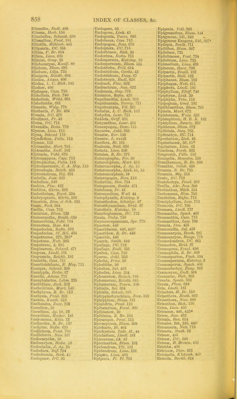 Ellsanthe, Endl. 498 Elisena, Herb. 158 Elizabetba, Schomb. 55(i EHeanthus, Prod. 181 Elliottia, Muhlenb. 445 Ellipsaria, DC. 354 Ellisia, P. Br. 664 Ellisia, Linn. 639 Ellisius, Gray. 25 Ellobocarpus, Kawlf. 80 Ellobum, Blum. 685 Ellobum, Lilya. 725 Elmigera, Reichb. 684 Elodea, Adam. 406 Elodea, /-. C. Rush. 142 Elodese, 406 Elphegea, Cass. 710 Elslioltzia, Rich. 740 Elsholtzia, WiUd. 661 Elsholtzidm, 661 Elsneria, 1 Valp. 778 Elutheria, P. Br. 464 Elvasia, DC. 475 Elvellacei, Fr. 43 Elvira, DC. 711 Elwendia, Boiss. 778 Elymus, Linn. 116 Elyna, Schrad 119 Elynanthus, Palis. 119 Elyneas, 119 lOlytranthe, Mart. 791 Eiytranthe, Endl. 182 Elytraria, Vahl. 679 Elytropappus, Cass. 713 Elytrophorus, Palis. 116 Elytrospermum, C. A. Mcy. 119 Elytrostegia, Benth. 455 Elytrostemma, Boy. 631 Embelia, Juts. 648 Embelioic, 648 Embira, Piso. 422 Emblica, Gdrtn. 282 Embotlirium, Forst. 534 Embryopteris, Gdrtn. 596 Emericia, Horn, et Sch. 601 Emex, Neck. 501 Emilia, Cass. 713 Eminium, Blum. 129 Emmenanthe, Benth. 639 Emmeorhiza, Pohl. 764 Emmoteca, Besv. 444 Empedoclea, Rafin. 662 Empedoclea, St. Ilil. 424 Empetracete, 273, 285* Empetreie, Nutt. 285 Empetrum, L. 285 Empleurum, Boland. 471 Empusa, Hindi. 181 Kmpusaria, Reichb. 181 Enalcida, Cass. 711 Enantiotrichum, E. Mey. 713 Enargea, So/and. 205 Encalypta, lledw. 67 Encelia, Adans. 711 Encephalartos, Lehm. 225 Encbidium, Jack. 282 Encliolirium, Mart. 148 Enchylama, R. Br. 513 Euchysia, Presl. 693 Enckea, Kunth. 518 Encliandra, Alice. 725 Encoeliem, 10 Enccelium, Ay. 10, 22 Bncyclium, Booker. 181 Kncyonema, Kiitz. 13 Endiandra, R. Br. 537 Endiplus, Rafin. 639 ICndlichera, Presl. 764 Endlicberia, Net's. 537 Endocarpidte, 50 Endocarpon, Urdu) 50 Endocladia, J. Ay. 24 Endodaca, Raf. 794 Endodrotuia, Berk. 4:1 Endogenm, DC. 95 Endogens, 95 Endogone, Link. 43 Endogonia, Turcz. 656 Endoleuca, Cass. 713 Endopogon, Ne.e.s. 679 Endoptera, DC. 715 Endorkizese, Rich. 95 Endorima, Ratin. 711 Endospermia, Kutzing. 10 Endospermum, Blunt. 555 Endotriche, Frol. 614 Endotrichum, Corda. 42 Endotrichum, Dozy. 67 Endotropis, Endl. 626 Endrach, Flac. 632 Endracliium, Juss. 632 Endressia, Gay. 778 Enemion, Rafin. 42S EngelhardtLa, Lesch. 293 Engelmannia, Torrcy. 711 Engelmannia, Vil. 28! Enhalus, L. C. Rich. 142 Enhydra, Lour. 711 Eukleia, Griff. 531 Enisyanthus, Lour. 455 Enneapogon, Dcsv. 115 Enourea, Aubl. 385 Ensatse, Kcr. 159 Ensatm, L. xxxiii Ensifera, Bl. 181 Enslenia, Nutt. 626 Entada, Linn. 556 Entelea, R. Br. 372 Enterographa, Ft!e. 50 EnteroloJ>ium, Mart. 556 Enteromorplia,J. Ay. 19 Enteromorpha, Link. 10, 19 Enteromorphem, 10 Enteropogon, Nces. 116 Enthrixia, Don. 714 Entoganum, Banks. 471 Entoloma, Fr. 41 Entomyclium, Walt 44 Entophysalis, ICutziny. 9 Entostliodon, Schwdgr. 67 Entosthymenium, Brid. 67 Entothrix, Kutzing. 10 Enuchoglossum, DC. 712 Enula, Duby. 710 Enymonospermum, Spr. 779 Epacrere, 449 Epacridacea?, 446,448* Epacrideae, R. Br. 448 Bpacrids, 448 Epacris, Smith. 449 Epallage, DC. 712 Epailage, Endl. 531 Epaltes, Cass. 710 Eperua, Aubl. 656 Ephebe, Fries. 50 Ephebidse, 50 Ephebus, Sal. 455 Ephedra, Linn. 234 Ephemereae, Batsch. 188 Ephemerum, Reichb. 645 Ephemerum, Tonrn. 188 Ephiabs, Sol. 664 Ephiebs, Schreb. 385 Ephippiorhynchium, Necs. 119 Ephippium, Blum. 181 Epiandria, Presl. 119 Epibaterium, Forst. 309 Epiblastese, 10 Epiblema, R. Br. 183 Epicampes, Presl. 115 Bpicarpurus, Blum. 268 Epicharis, Bl. 464 Epichysium, Tode. 41, 44 Epicladium, TAndl. 181 Epicoccum, Lk. 43 Epicrianthes, Blum. 181 Epidendrea;, 179,181 Epidendrum, Linn. 181 Epigoea, Linn. 455 Epigenia, FI. FI. 795 Epigenia, Veil. 593 Epigynantlius, Blum. 144 Epigynous, 241,243 Epigynous Exogens, 246, 687* Epilepis, Benth. 711 Epilithes, Blum. 507 Epilobeie, 725 Epilobiacete, Fcnl 724 Epilobium, Linn. 725 Epimedium, Linn. 438 Epineum, Harv. 796 Epipactis, Feuill. 182 Epipactis, Ball. 182 Epiphanes, Blum. 182 Epiphegus, Nvtt. 611 Epiphora, Lindl. 181 Epiphyllum, Pfciff. 748 Epiphytic, Link. 29 Epiphytis, Trill. 116 Epipogium, Gmel. 182 Epirhizantlms, Blum. 795 Episcia, Mart. 672 Epistemum, Walp. 553 Epistephium, H. B. K. 182 Epistylium, Swartz. 282 Epitheina, Blum. 672 Epithinia, Jacq. 765 Iipitrachys, DC. 714 Epocbnium, Link. 43 Equisetaoeie, 56, 61* Equisetum, Linn. 62 Eraelissa, Fcrrsk. 282 Eragrostis, Palis. 116 Erongelia, Renealm. 158 Eranthemum, R. Br. 680 Eranthis, Balisb. 428 Erasma, It. Br. 785 Erasmia, Miq. 518 Erato, DC. 710 Eratobotrys, Fenzl. 205 Ercilla, A dr. Juss. 509 Erebiutlms, Mitch. 654 Erebonema, Rom. 796 Erecbtites, Rafin. 713 Ereciphyllum, Ixss. 713 Ereicotis, DC. 765 Eremtea, Lindl. 737 Eremanthe, Spach. 406 Eremantbis, Cass. 713 Eremanthus, Less. 709 Eremia, Don. 455 Eremocallis, Sal. 455 Eremocarpus, Benth. 281 Eremocarpus, Bunge. 778 Eremodendron, DC. 065 1'remodon, Brid. 67 Eremogone, Fenzl. 498 Eremophila, R. Br. 665 Eremosparton, Fisch. 654 Eromospermea, Kutzing. 9 Eremosporus, Spach. 406 Eremostacbys, Bung. 662 Eremosyno, Endl. 568 Eremurus, Bieb. 205 Eresda, Synch. 356 Eresia, Plum. 648 Eria, Lindl. 181 Enacline, R. Br. 116 Eriantliera, Benth. 062 Eriantliera, Fees. 680 Eriantlius, Rich. 116 Erica, Linn. 455 Ericacere, 446, 463* Ericie, Juss. 453 Ericala, Ren. 614 Ericales, 244, 246, 446J Ericameria, Nutt. 710 Ericai-ia, Stack. 22 Ericem, 455 Ericece, DC. 448 Ericece, R. Brown. 453 EricidiP, 456 Ericinese, Dcsv. 453 Ericinolla, Klotzsch. 450 Ericoila, Borkh. 614