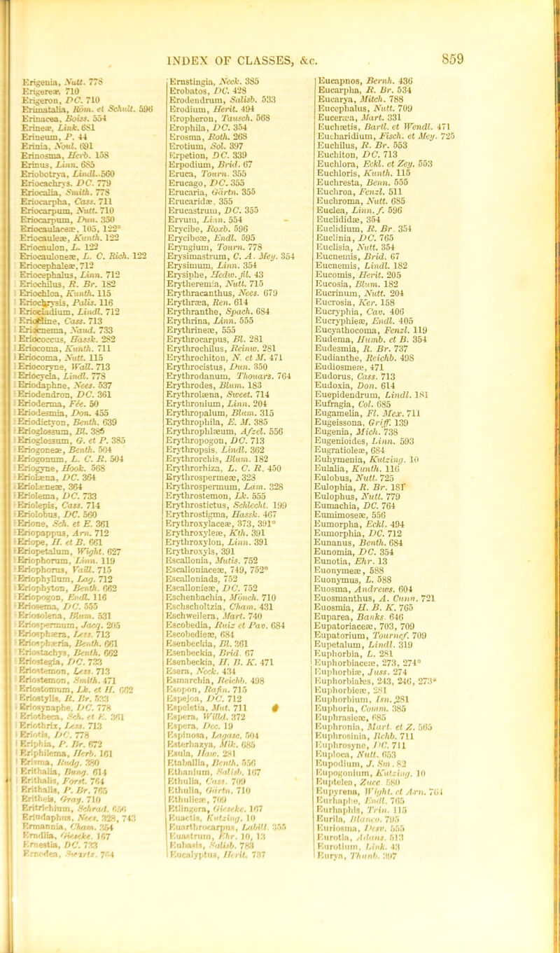 Krigeuia, Nutt. 77$ Brigerea*, 710 Erigerou, DC. 710 Erimatalia, Rom. et Schult. 590 Erinacea, Bolts. 554 Erineu?, Link. 601 Erineum, P. 44 Erinia, Aoul. 691 Erinosma, Ifa'b. 158 Erin us, Linn. 685 Eriobotrya, Lindl. 560 Eriocachrys. DC. 779 Eriocalia, Smith. 778 Eriocarpha, Cass. 711 Eriocarpum, Nutt. 710 Eriocarpum, Dun. 850 Eriocaulacea?, 105, 122® Eriocaulese, Kunth. 122 Eriocaulon, L. 122 Eriocauloneas, L. C. Rich. 122 Eriocephalea?, 712 Eriocephalus, Linn. 712 Eriochilus, R. Br. 182 Eriochloa, Kunth. 115 Eriociyysis, Palis. 116 Rriocladium, Lindl. 712 Eriofcline, Cass. 713 Eriocnema, Naud. 733 i Eriococcus. Massk. 282 Eriocoma, Kunth. 711 i Eriocoma, Nutt. 115 i Eriocoryne, WaU. 713 Eriocycla, Lindl. 778 Eriodaphne, Nees. 537 Eriodendron, DC. 361 Erioderma, Fie. 50 :Eriodesinia, Don. 455 Eriodictyon, Benth. 639 Erioglossum, Bl. 385 Erioglossum, G. et P. 385 •Eriogoneae, Benth. 504 •Eriogonum, L. C. R. 504 - Eriogyne, Hook. 568 ■Eriokena, DC. 364 Eriolsneae, 364 ;Eriolfema, DC. 733 •Eriolepis, Cass. 714 •Eriolobus, DC. 560 Erione, Sch. et E. 361 •Eriopappo3, Am. 712 •Eriope, II. et B. 661 •Eriopetalum, Wight. 627 :Eriophorum, Linn. 119 •Eriophorus, VaUl. 715 •FlriophyDam, Lag. 712 Eriophyton, Benth. 662 •EriopogoD, Endl. 116 •Eriosema, DC. 555 •Erioaolena, Mum. 531 Erioapermura, Jacq. 205 Flriosphsra, Is.rs. 713 Eriospbsria, Benth. 661 Kriostachys, Benth. 662 Flriostegia, DC. 733 EriostemoTi, Less. 713 Eriostemon, Smith. 471 Kriostomum, Lk. el //. 662 Erio9tylla. It. Br. 533 Eriosyuaphe, DC. 778 Kriotheca, Seh. el E. 361 Eriothrix, Is.**. 713 Eriotis, DC. 778 Briphia, P. Br. 672 Eriphilema, Herb. 161 I Errima, Uxulg. 380 I Flrithalia, Bung. 614 Er.thalb, Fork. 764 Erithalis, P. Br. 765 Flrithffifl, firay. 710 Eritrirhrnrn, Schrad. 650 Eriodaphns. Nees. 328, 743 Ermannia. Cham. 354 Emdlla, 'Henke. 167 Ernestia, DC. 733 Ernodea, Svtirlz. 704 Ernstingia, Neck. 385 Erobatos, DC. 428 Erodendrum, Salisb. 533 Krodium, Merit. 494 Eropheron, Tausch. 568 Erophila, DC. 354 Erosnrn, Roth. 268 Erotium, Sol. 397 Krpetion, DC. 339 Erpodium, Brid. 67 Eruca, To urn. 355 Erucago, DC. 355 Erucaria, Garin. 355 Erucarids. 355 Erucastrum, DC. 355 Ervum, Li.in. 554 Erycibe, Rozb. 596 Eryciboae, Endl. 595 Eryngium, Tourn. 778 Erysimastrum, C. A. 3Iey. 354 Erysimum, Linn. 354 Erysiphe, Medio. Jil. 43 Erytheremia, Nutt. 715 Erythraean thus, Nees. 679 Erytkrasa, Ren. 614 Erythranthe, Spach. 684 Erythrina, Linn. 555 Erythrineee, 555 Erytlirocarpus, Bl. 281 Erythrochilus, Reiniu. 281 Erythrochiton, N et 31. 471 Erytlirocistus, Dun. 350 Erytbrodanum, Thouars. 764 Erythrodes, Blum. 183 Erythrolsena, Sweet. 714 Erythronium, Linn. 204 Erythropalum, Blum. 315 Erythrophila, E. 31. 385 Erythroplilneum, Afzel. 556 Erythropogon, DC. 713 Erythropsis. Lindl. 362 Erythrorchis, Blum. 182 Erythrorhiza, L. C. R. 450 Erythrospermeae, 323 Erythrospermum, Lo.m. 328 Erythrostemon, Lk. 555 Erythrostictus, Schlecht. 199 Erythrostigma, Hassk. 467 Erythroxylaces, 373, 391® Erythroxylete, Kth. 391 Erythroxylon, Linn. 391 Erythroxyls, 391 Escallonia, 3Iutis. 752 Escalloniacete, 749, 752® Escalloniads, 752 Escallonieac, DC. 752 Eschenbachia, 3r<mch. 710 Eschscholtzia, Cham. 431 Eschweilera, .Mart. 740 Escobedia, Ruiz cl Pao. 684 Escobedieae, 684 Esenbcckia, Bl. 361 Esenbeckia, Brid. 67 Esenbeckia, II. B. K. 471 Esera, Neck. 434 Eamarchia, Reichb. 498 Eiopon, liifin. 715 Espejoa, DC. 712 Espeletia, Mut. 711 # Eapera, WUJUI. 372 Etpera, Dec. 19 Espinosa, Lagans. 504 Eaterhazya. Alik. 085 Eaiila, Maw. 281 Etaballia, Benth. 556 Ethanium, Salisb. 107 Ethulia, Cass. 709 Ethulia, Giirtn. 710 Ethiilies, 709 Ktlingorn, Gieseke. 107 Euactis, Kutzing. 10 Euarthroenrpus, DO AH. 655 Euastrum, Ehr. 10, 13 Kubosh, Salisb. 783 1 Eucalyptus, Merit. 737 Eucapnos, Bcrnh. 430 Eucarplm, It. Br. 534 Eucarya, 3Iitch. 788 Eucepbalus, Nutt. 709 Eucersa, 3Iart. 331 Euchretis, BarU.et Wendl. 471 Eutkaridium, Fiscli. et Mey. 725 Euckilus, R. Br. 553 Euchiton, DC. 713 Euchlora, Eckl. et Zey. 553 Euchloris, Kunth. 115 Eucliresta, Benn. 555 Eucliroa, Fenzl. 511 Eucliroma, Nutt. GS5 Euclea, Linn.f. 596 Euclididse, 354 Euclidium, R. Br 354 Euclinia, DC. 765 Euclisia, Nutt. 354 Eucnemis, Brid. 67 Eucnemis, Lindl. 182 Eucomis, Merit. 205 Eucosia, Blum. 182 Eucrinura, Nutt. 204 Eucrosia, Ker. 158 Eucrypkia, Cav. 406 Eucrypkies, Endl. 405 Eucyatkocoma, Fenzl. 119 Eudema, Iluinb. et B. 354 Eudesmia, R. Br. 737 Eudiantke, Reichb. 498 Eudiosmes, 471 Eudorus, Cass. 713 Eudoxia, Don. 614 Euepidendrum, Lindl. 181 Eufragia, Col. 685 Eugaraelia, FI. 3Icx. 711 Eugeissona. Griff. 139 Eugenia, 3Iich. 738 Eugenioides, Linn. 593 Eugratioleae, 684 Euhymenia, Kutzing. 10 Eulaka, Kunth. 116 Eulokus, Nutt. 725 Eulopkia, R. Br. 181* Eulopkus, Nutt. 779 Eumackia, DC. 764 Eumimoseae, 556 Eumorpka, Eckl. 494 Eiunorpkia, DC. 712 Eunanus, Benth. 684 Eunomia, DC. 354 Eunotia, Ehr. 13 Euonymeae, 588 Euonymus, L. 588 Euosma, Andrews. 604 Euosmantkus, A. Cunn. 721 Euosmia, M. B. K. 765 Euparea, Banks 646 Eupatoriaceae, 703, 709 Eupatorium, Tourncf. 709 Eupetalum, Lindl. 319 Eupkorbia, L. 281 Huphorbiacete, 273, 274® Euphorbias, Juss. 274 Eupkorbiales, 243, 246, 273* Eupkorbieac, 281 Euphorbium, Isn.£si Euphoria, Comm. 385 Eupbrasiecc, 685 Euphroniu, Mart, ct Z. 565 Kuphroslnia, llchb. 711 Kuphrosyno, DC. 711 Huploca, Nutt. 653 Eupodium, J. Sin . 82 Eu[»ogonium, Kutzing. 10 Euptelen, Zurc 680 Eupyrena, Wight, rt A-rn. 701 Eurhapho, Endl. 765 Eurlinpliis, Trin. 115 Euriln, Blanco. 795 Eurionma, Dcsv. 555 Eurotla, Allans. 513 Eurotlum, Link. 43 Euryn, Thanh. 397