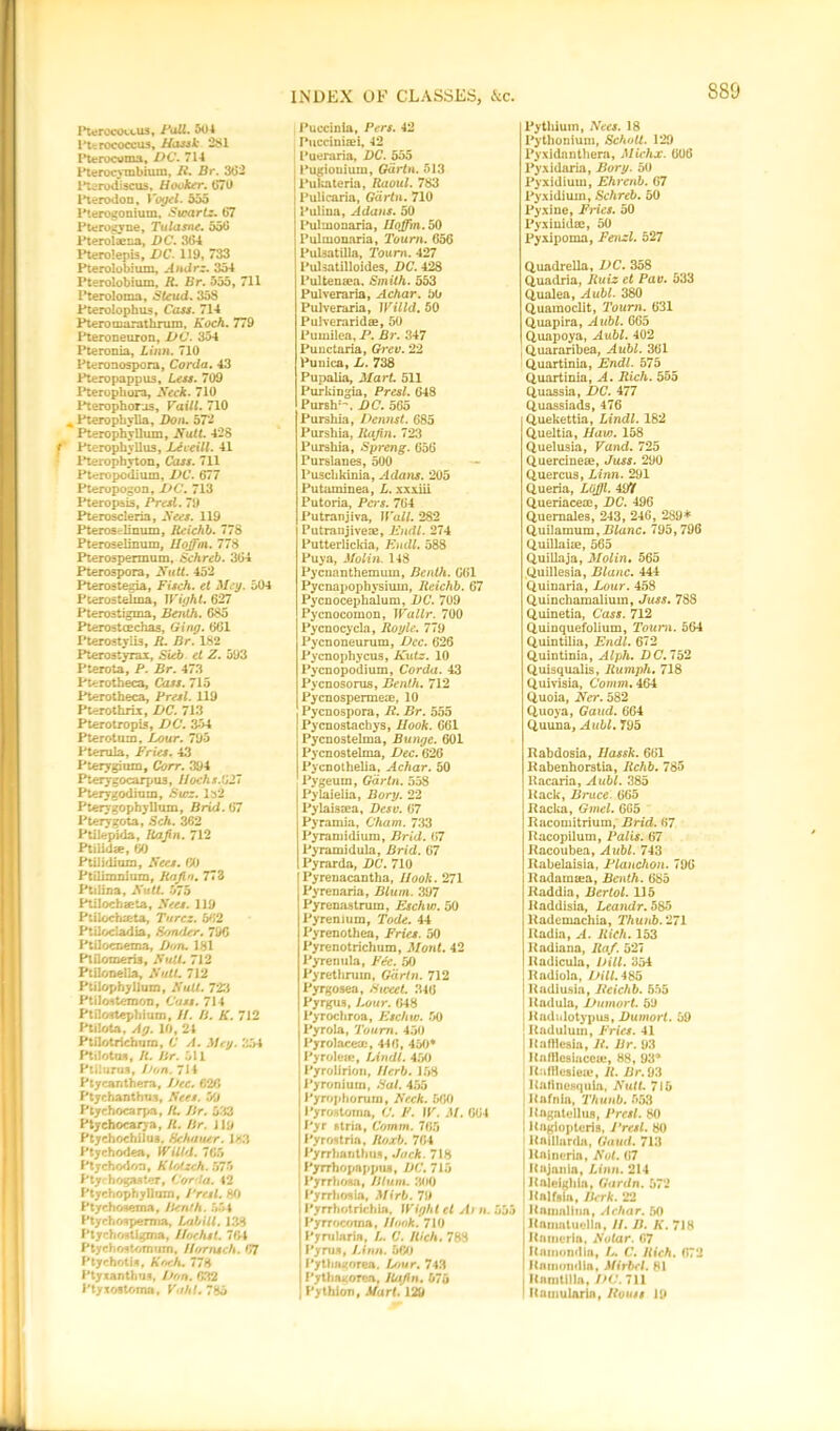 I^erocot-cus, Fall. 504 I't-rococcus, Hassk 281 Pterocoms, DC. 714 Pterocymbium, R. Dr. 302 Pterodiscus, Hooktr. 670 Pierodon, Vogel, 555 Pterogonium, Swartz. 07 Pterogyne, Tulasnc. 550 Pterolaena, DC. 3G4 Pterolepis, DC. 119, 733 Pterolobium, Andrz. 354 Pterolobium, R. Br. 555, 711 Pteroloma, Steud. 358 Pterolophus, Cass. 714 Pteromara thrum, Koch. 779 Pteroneuron, DC. 354 Pteronia, Linn. 710 Pteronospora, Corda. 43 Pteropappus, Less. 709 Pteropliora, Neck. 710 Pterophoras, Vaill. 710 * Pterophylla, Don. 57- Pterophyllum, Nutt. 428 Pterophyllus, Lceeill. 41 Pterophyton, Cass. 711 Pt^ropodium, DC. 077 Pteropogon, DC. 713 Pteropsis, Presl. 79 Pteroscleria, Sees. 119 Pteroselinum, Reichb. 778 Pteroselinum, Hoff in. 778 Pterospermum, Schreb. 304 Pterospora, Nutt. 452 Pterostegia, Fisch. et Mey. 504 Pierostdma, Wight. 627 Pterostigma, Benth. 685 Pterostcechas, Ging. 601 Pterostylis, R. Br. 182 Pterostyrax, Sub et Z. 593 Pterota, P. Br. 473 Pterotheca, Cass. 715 Pterotheca, Presl. 119 Pterothrix, DC. 713 Pterotropia, DC. 354 Pterotum, Lour. 795 Pterula, Fries. 43 Pterygium, Corr. 394 Pterygocarpua, I lochs.till Pterygodium, Swz. Ia2 Pterygopbyllum, Brid. 67 Pterygota, Sch. 362 Ptilepida, Rafin. 712 Ptiiidse, 60 Ptilidium, Nets. 60 Ptilimniura, Rafio. 773 Ptilina, Nutt, bib Ptilochaeta, Nets. 119 Ptilochxeta, Turcz. 562 Ptilocladia, Bonder. 796 Ptflocnema, Don. 181 Plflomeria, Nutt. 712 Ptilonella, NutL 712 Ptilophyllum, Nutt. 723 Ptiloatemon, Cass. 714 Ptiloatephium, //. B. K. 712 Ptilota, Ag. 10, 24 Ptilotrichura, C A. Mey. 354 Ptilota*, R. Hr. 511 Ptilurus, Don. 714 Ptycanthera, Dec. 626 Ptychanthua, Nets. 59 Ptychocarpa, R. Jir. 533 Ptycbocarya, R. Br. 119 Ptychochilua. Hchauer. 183 Ptychodea, Willd. 765 Ptychodoa, Klotzch.nlb Pty^ hogaater, Corda. 12 PtychophyUum, Presl. 80 Ptychosema, Benth. 554 Ptychosperma, Lab ill. 138 Ptychoatigma, Iloehsl. 704 Ptychostomum, ftomsch. 67 Ptyehotla, Koch, 778 Ptyxanthu.q, Oon, 632 Ptyxostoma, 785 Puccinia, Pt?r/. 42 Pncdnisi, 42 Pueraria, DC. 555 Pugiouium, Gartn. 513 I Pukateria, Raoul. 783 Pulicaria, Gartn. 710 Pulina, Adans. 50 Pul monaria, Iloffm. 50 Pulmonaria, Tourn. 656 Pulsatilla, Tourn. 427 Pulsatilloides, DC. 428 Pultensea. Smith. 553 Pulveraria, Achar. 50 Pulveraria, Willd. 50 Puhreraridae, 50 Pumilca, P. Br. 347 Punctaria, Grev. 22 Punica, L. 738 Pupalia, Mart. 511 Purkingia, Presl. 648 Pursh:^. DC. 565 Purshia, Dennst. 685 Purshia, Rafin. 723 Purshia, Spreng. 656 Purslanes, 500 Puschkinia, Adans. 205 Putaminea, L. xxxiii Putoria, Pars. 764 Putranjiva, Wall. 282 Putraujiveae, Endl. 274 Putterlickia, Endl. 588 Puya, Molin. 148 Pycnanthemum, Benth. 661 Pycnapophysium, Reichb. 67 Pycnocephalum, DC. 709 Pycnocomon, Wallr. 700 Pycnocycla, Royle. 779 Pycnoneurum, Dec. 626 Pycnophycus, Kutz. 10 Pycnopodium, Corda. 43 Pycnosorus, Benth. 712 Pycnospermece, 10 Pycnospora, R. Br. 555 Pycnostachys, Hook. 661 Pycnostelma, Bunge. 601 Pycnostelma, Dec. 626 Pycnothelia, Achar. 50 Pygeum, Gartn. 558 Pylaielia, Borg. 22 Pylaisaea, Desu. 67 Pyramia, Cham. 733 Pyramidium, Brid. 67 Pyramidula, Brid. 67 Pyrarda, DC. 710 Pyrenacantha, Hook. 271 Pyrenaria, Blum. 397 Pyrenastrum, Eschw. 50 Pyrenium, Tode. 44 Pyrenothea, Fries. 50 Pyrenotrichum, Mont. 42 Pyreriula, Fee. 50 Pyrethruin, Gartn. 712 Pyrgosea, Sweet. 346 Pyrgus, Lour. 648 Pyrochroa, Eschw. 50 Pyrola, Tourn. 450 Pyrolacem, 446, 450* Pyrolea*, Lindt. 450 Pyrolirioti, Herb. 168 Pyroniurn, Sal. 455 Pyrophorurn, Neck. 560 PyroAtoina, C. F. W. M. 664 Pyr stria. Comm. 765 Pyrottrla, Roxb. 764 Pyrrhantbus, Jock. 718 Pyrrhopappua, DC. 715 • Pyrrhosa, Blum. 300 1 Pyrrhosia, Mirb. 79 i Pyrrhotrichia. Wight cl At n. 5 ‘Pyrrocoina, Honk. 1X0 | Pynilaria, L. C. Rich. 788 I Pyrua, Linn. 600 Pythfii;orea. Lour. 743 I PytliaKorca, R/tfln. 676 ; Pythlon, Mart. 129 Pythium, Nees. 18 Pythcnium, Schott. 129 Pyxidanthera, Michx. 606 Pyxidaria, Bury. 50 Pyxidium, Ehrenb. 67 Pyxidium, Schreb. 50 Pyxine, Fines. 50 Pyxiuidse, 50 Pyxipoma, Fenzl. 527 Quadrella, DC. 358 Quadria, Ruiz et Pav. 533 Qualea, Aubl. 380 Quaraoclit, Tourn. 631 Quapira, Aubl. 665 Quapoya, Aubl. 402 Quararibea, Aubl. 361 Quartinia, Endl. 575 Quartinia, A. Rich. 555 Cluassia, DC. 477 Quassiads, 476 Quekettia, Lindl. 182 Queltia, Haw. 158 Quelusia, Vand. 725 Quercinete, Juss. 290 Quercus, Linn. 291 Queria, Lofll. 497 Queriacece, DC. 496 Quernales, 243 , 246 , 289* Quilamum, Blanc. 795,796 Quillaite, 565 Quillaja, Molin. 565 Quillesia, Blanc. 444 Quiuaria, Lour. 458 Quinchamalium, Juss. 788 Quinetia, Cass. 712 Quinquefolium, Tourn. 564 Quintilia, Endl. 672 Quintinia, Alph. DC. 752 Quisqualis, Rumph. 718 Quivisia, Comm. 464 Q,uoia, Ner. 582 Quoya, Gaud. 664 Q,uuna, Aubl. 795 Rabdosia, Hassk. 661 Rabenhorstia, Rchb. 785 Racaria, Aubl. 385 Rack, Bruce. 665 Racka, Gmel. 6G5 Racomitrium, Brid. 67 Racopilum, Palis. 67 Racoubea, Aubl. 743 Rabelaisia, Planchon. 796 Radaimea, Benth. 685 Raddia, Bertol. 115 Raddisia, Leandr.oSb Rademachia, Thunb. 271 Radia, A. Rich. 153 Radiana, Raf. 527 Radicula, bill. 354 Radiola, Dill. 485 Radiusia, Reichb. 555 ! Radula, Dumort. 59 : Kadwlotypus, Dumort. 59 1 Raduluui, Fries. 41 Rafllesia, R. Br. 93 Kafllesiuceu!, 88, 93* KufHesiea*. R. Br. 93 Rartnesqula, Nutt. 715 Rafnla, Thunb. 663 Kngatellu8, Presl. 80 Kagiopteris, Presl. 80 Knillarda, Gaud. 713 Knincria, Not. 67 Raianla. Linn. SI i Rnleighia, Gardn. 572 Knlfsia, Berk. 22 Rninallna, Achar. 50 Hnmatuelln, //. B. li. 718 Knmerla, Notar. C7 Rainondin, L. C. Rich. 672 Knmondin, Mirbcl. 81 Rnmtllla, DC. Ill Ramularia, Routs 19