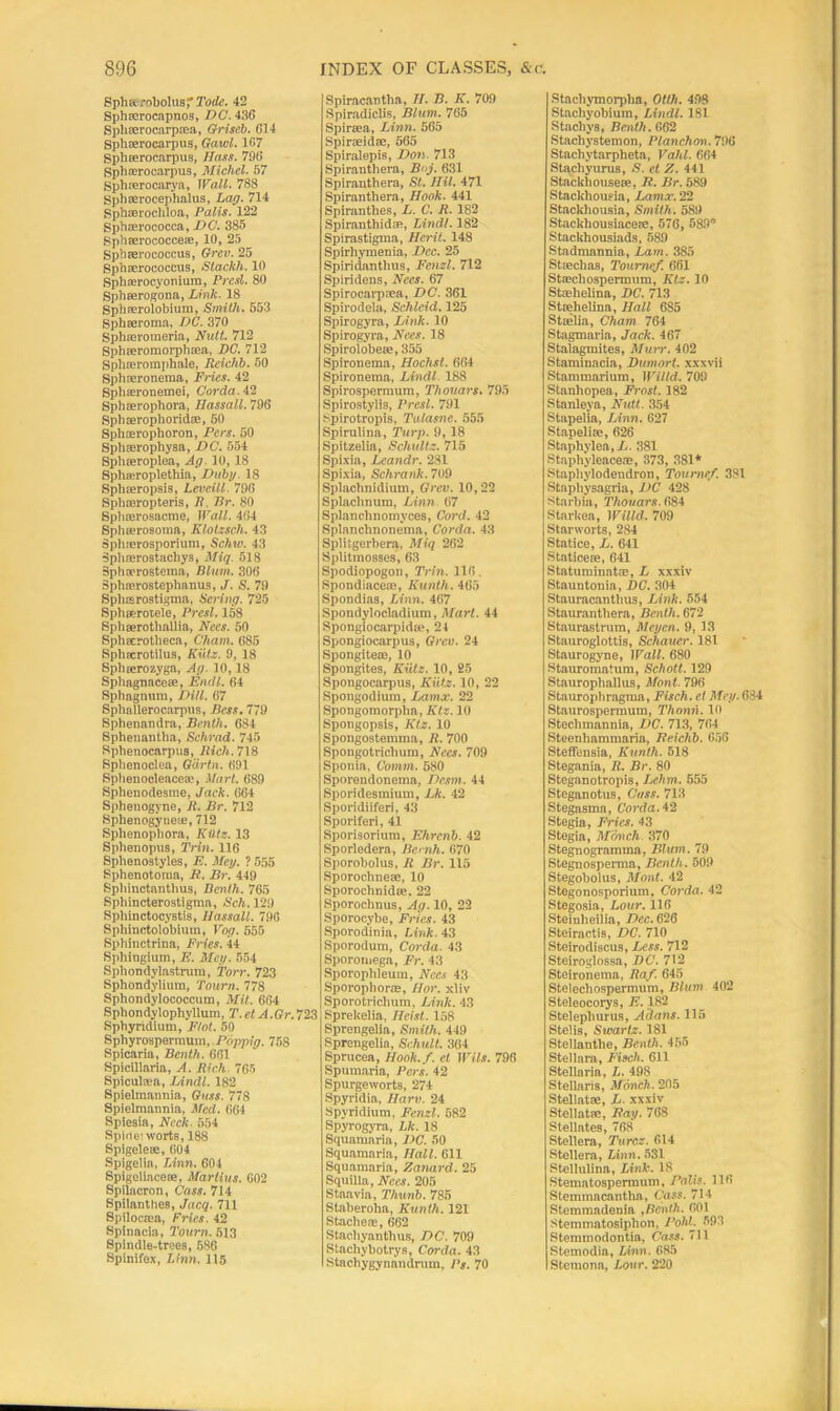 SphseroboliisT Tode. 42 Sphrerocapnos, DC. 436 Splirerocarpaea, Griscb. 614 Sphaerocarpus, Gaivl. 167 Spheerocarpus, JIass. 796 Sph aero carpus, Michel. 57 Sphrerocarya, Wall. 768 Sphaerocephalus, Lag. 714 Sphcerochloa, Palis. 122 Sphaerococca, DC. 385 Bphserococce®, 10, 25 Sphaerococcus, Grcv. 25 Sphaerococcus, Slackh. 10 Sphaerocyoniura, Prcsl. 80 Sphaerogona, Link. 18 Sphnerolobium, Smith. 553 Sphaeroma, DC. 370 Sphaeroraeria, Nutt. 712 Sphaeromorphsea, DC. 712 Sphaeroraphale, Reichb. 50 Sphseronema, Fries. 42 Sphasronemei, Corda. Sphaerophora, Ilassall. 796 Spbaerophoridae, 50 Sphaerophoron, Pcrs. 50 Spliaerophysa, DC. 554 Sphaeroplea, Ag. 10, 18 Sphseroplethia, Dubg. 18 Sphaeropsis, Leveill. 796 Sphaeropteris, R. Dr. 80 Sphaerosacme, Wall. 464 Spluerosoma, Klotzsch. 43 Spluerosporium, Schxo. 43 Sphaerostachys, Miq. 518 3phoerostema, Blum. 306 Sphaerostephanus, J. S. 79 Sphasrostigma, Sering. 725 Sphaerotele, Presl. 158 Sphcerothallia, Nees. 50 Spheerotheca, Cham. 685 Sphccrotilus, Kiitz. 9, 18 Sphcerozyga, Ag. 10,18 Sphagnaccae, Endl. 64 Sphagnum, Dill. 67 Sphallerocarpus, Bess. 779 Sphenandra, Benth. 684 Sphenantha, Schrad. 745 Sphenocarpus, Rich. 718 Sphenoclea, Garin. 691 Sphenocleacea?, Mart. 689 Sphenodesme, Jack. 664 Sphenogvne, R. Br. 712 Sphenogyneie, 712 Sphenophora, Kiitz. 13 Sphenopus, Trin. 116 Sphenostyles, E. Meg. ? 555 Sphenotoma, R. Br. 449 Sphinctanthus, Benth. 765 Sphincterostigma, Sell. 129 Spliinctocystis, Hassail. 796 Spliinctolobium, Vog. 555 Sphinctrina, Fries. 44 Sphingium, E. Meg. 554 Sphondylastrum, Torr. 723 Sphondyliura, Tourn. 778 Sphondylococcum, Mil. 664 Sphondylophyllum, T.etA.Gr.723 Sphyridium, Flot. 50 Sphyrospermum, Pbppig. 758 Spicaria, Benth. 661 Spicillaria, A. Rich 765 Spiculira, Lindl. 182 Spielmannia, Guss. 778 Spielmannia, Med. 664 Spiesia, Neck. 554 Spineiworts, 188 Spigeleee, 604 Spigelia, Linn. 604 Spigeliaceae, Mar Hus. 602 Spilacron, Cass. 714 Spilanthes, Jacq. 711 Spilocaea, Fries. 42 Spinacia, Tourn. 513 Spindle-trees, 686 Spinifex, Linn. 115 Spiracantha, II. 13. K. 709 Spiradiclis, Blum. 705 Spiraea, Linn. 565 Spirseidae, 565 Spiralepis, Don. 713 Spiranthera, Boj. 631 Spiranthera, St. HU. 471 Spiranthera, Hook. 441 Spirantlies, L. C. It. 182 Spiranthidas, Lindl. 182 Spirastigma, Hcrit. 148 Spirhymenia, Dec. 25 Spiridanthus, Fcnzl. 712 Spiridens, Nees. 67 Spirocarprea, DC. 361 Spirodela, Schlcid. 125 Spirogyra, Link. 10 Spirogyra, Nee:. 18 Spirolobese, 355 Spironema, Hoclist. 664 Spironema, Lindl. 188 Spirospermum, Thouars. 795 Spirostylis, Presl. 791 Spirotropis, Tulasne. 555 Spirutina, Turp. 9, 18 Spitzelia, Schultz. 715 Spixia, Lcandr. 281 Spixia, Schrank. 709 Splachnidium, Grcv. 10,22 Splaclmum, Linn 67 Splanclinomyces, Cord. 42 Splanchnonema, Corda. 43 Splitgerbera, Miq 262 Splitmosses, 63 Spodiopogon, Trin. 116. Spondiaceae, Kunth. 465 Spondias, Linn. 467 Spondylocladium, Marl. 44 Spongiocarpidse, 24 Spongiocarpus, Grcv. 24 Spongiteee, 10 Spongites, Kiitz. 10, 25 Spongocarpus, Kiitz. 10, 22 Spongodium, Larnx. 22 Spongomorpha, Ktz. 10 Spongopsis, Ktz. 10 Spongostemma, R. 700 Spongotrichum, Nees. 709 Sponia, Comm. 580 Sporondoneraa, Desm. 44 Sporidesmium, Lk. 42 Sporidiiferi, 43 Sporiferi, 41 Sporisorium, Ehrenb. 42 Sporledera, Ba nk. 670 Sporobolus, R Br. 115 Sporochnere, 10 Sporochnid*. 22 Sporochnus, Ag. 10, 22 Sporocybe, Fries. 43 Sporodinia, Link. 43 Sporodum, Corda. 43 Sporomega, Fr. 43 Sporophleum, Nees 43 Sporophorae, Hor. xliv Sporotrichum, Link. 43 Sprekelia, Heist. 158 Sprengelia, Smith. 449 Sprengelia, Schult. 364 Sprucea, Hook./, el \Fils. 796 Spumaria, Pers. 42 Spurgeworts, 274 Spyridia, Harv. 24 Spyridium, Fetal. 582 sP>Togyra, Lk. 18 Squamaria, DC. 50 Squamaria, Hall. 611 Squamaria, Zanard. 25 Squilia, Nees. 205 Staavia, Tlmnb. 785 Staberoha, Kunth. 121 Stachefe, 662 Stachyanthus, DC. 709 Stachybotrys, Corda. 43 Stachygynandrum, Ps. 70 Stacbymorpha, Otth. 498 Stachyobium, Lindl. 181 Stacbya, Benth. G62 Stachystemon, Planchon. 796 Staehytarplieta, Vahl. 664 Stachyurua, S. et Z. 441 Stackhousese, It. Br. 589 Stackhoueia, Lamx. 22 Stackhouaia, Smith. 589 Stackhousiacere, 576, 589° Stackhonaiada, 589 Stadmannia, Lam. 385 Stsechas, Toumef. 661 Stecbospermum, Ktz. 10 Stailielina, DC. 713 Stelielina, Hall 685 Staelia, Cham 764 Stagmaria, Jack. 467 Stalagmitea, Murr. 402 Staminacia, Dumort. xxxvii Stammarium, mild. 700 Stanhopea, Frost. 182 Stanleya, Nutt. 354 Stapelia, Linn. 627 Stapeliae, 626 Staphylea, L. 381 Staphyleaoeas, 373, 381* Stapliylodendron, Toumef. 381 Staphysagria, DC 428 Starbia, Thouars. 684 Starkea, mild. 709 Starworts, 284 Statice, L. 641 Staticese, 641 Statmninate, L xxxiv Stauntonia, DC. 304 Stauracanthus, Link. 554 Stauranthera, Benth. 672 Staurastrum, Meyen. 9, 13 Stauroglottis, Schauer. 181 Staurogyne, 1 Fall. 680 Stauromatum, Schott. 129 Staurophallus, Mont. 796 Staurophragma, Fisch. et Meg. 684 Staurospermum, Thonii. 10 Steclnnannia, DC. 713, 764 Steenhannnaria, Reichb. 656 Steffensia, Kunth. 518 Stegania, R. Br. 80 Steganotropis, Lehm. 655 Steganotus, Cuss. 713 Stegasma, Corda.42 Stegia, Fries. 43 Stegia, Monch. 370 Stegnogramma, Blum. 79 Stegnosperma, Benth. 509 Stegobolus, Mont. 42 Stegonosporium, Corda. 42 Stegosia, Lour. 116 Steinheilia, Dec. 626 Steiractis, DC. 710 Steirodiscus, Less. 712 Steiroglossa, DC. 712 Steironema, Raf. 645 Stelechospermum, Blum 402 Steleocorys, E. 182 Steleplnirus, Allans. 115 Stelis, Swartz. 181 Stellantlie, Benth. 455 Stellara, Fisch. 611 Stellaria, L. 498 Stellaris, Monch. 205 Stellate, L. xxxiv Stellate, Rag. 768 Stellates, 768 Stellera, Turcz. 614 Stellera, Linn. 531 Stellulina, Link. 18 Stematospermum, ralis. 116 Stemmacantha, Cass. 714 Stemmadenia ,Benth. 601 Steminatosiplion, PohL 593 Stemmodontia, Cass. 711 Stemodia, Linn. 685 Stemona, Lour. 220