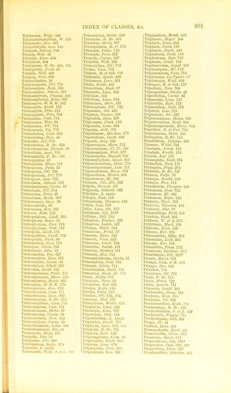 Trichasma, Walp. 554 Trichasterophylluw, W. 350 Trichaurus, Am. 342 Trichelostylis, Less. 110 Trichera, Sehrad. 700 Trichia, Hall. 42 Trichilia, Linn. 404 Trichiliese, 404 Trichinium, R. Br. 498, 511 Trichipteris, Presl. 80 Trichlis, Ho.ll. 499 Trichoa, Per*. 309 Trichoblastea?, 10 Trichocarprea, DC. 779 Trichocarpus, Neck. 558 Tricbocarpus, Schreb. 37*2 Trichocentruin, POppig. 182 Trichocephalus, Reiss. 582 Trichoceros, H. B. K. 182 Trichochila, Lindl. 1S2 frichochloa, Trin. 115 Trichocladus, Pers. 784 * Trichocline, Cass. 714 ■ Trichocolea, Nees. 60 Trichocoma, DC. 713 Trichocrepis, Vis 715 Trichodenua, Link. 650 Trichoderma, Pers. 44 Trichodes, DC. 713 Tricbodesma, R. Br. 656 Trichodesmium, Ehreiib. 18 Trichodium, Auct. 115 Trichogamila, P. Br. 593 Trichogastres, 42 Trichoglottis, Blum. 181 Trichogouea, Palis. 22 Trichogoaia, DC. 709 Trichogoaium, DC. 77S Trichogyne, Less. 713 Tricholaeaa. Sehrad. 116 Tricholecoaium, G>rda. 43 Tricholepis, DC. 714 Tricholoma, Fries. 41 Tricboloma, Benth. 685 Trichomaaes, Linn. 80 Trichomaaidae, 60 Trichouema, Ker. 161 Trichoon, Roth. 115 Trichopetalum, Lindl. 205 Trichophora, Bonn. 18 Trichophorum, Pers. 119 Trichophyllum, Nutt. 712 Trichopilia, Lindl. 181 Trichopodhim, Lindl,. 794 Trichop teria, Park. 80 Trichopterya, Nets. 116 Trichopus, Garin. 794 Trichormus, AV.m. 18 Trichoaandra, Dec. 627 Trichoaanthes, Linn. 315 Trichoacytale, Corda. 42 Trich osiphon, 8choU. 362 Trichosma, LiwtL. 181 Trichospermmn, Palis. 711 Trichospermam, Blum. 328 Triehosphaeria, Benth. 661 Trichoapira, If. B. K. 701# Trich os po rum, Don. 672 Trichostemma, Cass. 711 Trichostemma, Linn. 662 Trichostemma, R. Br. 715 Trichostephium, Cass. 711 Trichostephux, Cass. 7] l Trichottomam, Ile/lw. 67 T rich oat roma, Corda. 41 Trichostnlaria, Nee*. 119 Trichostylinm, Corda. 59 Trichothalamua, I^hm. 66-4 Trjehothamnion, Kt.z. 16 Trichotoaia, Blum. 181 Tricladia, Dec. 18 T rirlicema. DC. 3-9) Triclisperuia, Rajln. 378 Tricocc*, L. xxxiii Tricomaria, Hwh. el Am. 390 INDEX OF CLASSES, &c. Tricondylus, Salisb. 534 Tricoryne, R. Br. 205 Tricrutus, Jlerit. 507 Tiicuspidaria, R. P. 372 Tricuspis, Palis. 116 Tricuspis, Pers. 372 Tncycla, Cavan. 507 Tricyrtis, WdU. 199 Tridactylina, DC. 712 Tridax, Linn. 712 Tridens, R. et Sch. 116 Tridesmis, Spaoh. 406 Tridesmus, Lour. 281 Tridia, North. 481 Tridontium, Hook. 67 Trientalis, Linn. 645 Trifolieae, 554 Trifolium, Linn. 554 Trifurcaria, Herb. 161 Trifurcarium, DC. 733 Trigemma, Sal. 455 Trigenea, Bonder. 796 Triglochin, Linn. 210 Triglossum, Fisch. 116 Trigonella, Linn. 554 Trigonia, Aubl. 378 Trigoniaceae, Martins. 375 Trigonidium, Lindl. 182 Trigonis, Jacq. 385 Trigonocapsa, Blum. 733 Trigonocarpus, 11. FI. 385 Trigonocarpus, Wall. 677 Trigonocystis, Hassall. 796 Trigonophyllum, Gaud. 568 Trigonosciadium, Boiss. 778 Trigonospermum, Less. 711 Trigonostemon, Blum. 282 Trigonotheca, Hoclist. 585 Trigostemon, Bl. 282 Triguera, Cav. 370, 622 Trigula, Noronh. 127 Trigyneia, ScJdecht. 422 TrihilatiE, L. xxxiv Trilepis, Nees. 119 Trilepisium, Thouars. 543 Trilisa, Cass. 700 Trilix, Linn. 328, 372 Trilliaceae, 212, 218* Trillium, Mill. 218 Trilophus, Fischer. 309 Trilophus, Lestib. 167 Trilop us, Mitch. 784 Trimatium, Frbhl. 67 Trimeria, Ilarv. 743 Trimeris, Presl. 693 Trimeriza, Lindl. 794 Trimeriza, Salisb. 161 Trimesia, Herbert. 161 Trimetra, Mof. 715 Triminatostroina, Corda. 42 Trimorphsa, Cass. 710 Trinjicte, Gdrtn. 714 Trinchinettia, Endl. 712 Trineuron. llook. JU. 712 Trinia, HnJTm.77H Trinitaria, Bory. 22 Trlodallus, Raf. 691 Triodea, Rafin. 119 Triodia, Palis. 116 Triodon, DC. 119, 764 Triooum, Med 370 Trionychion, Wallr. 611 Triopterya, Linn. 390 Triosteum, Linn. 767 Tripetaleia, Rich. 444 Tri petal oideic, L. xxxiii Tripotelus, Lindl. 767 Triphasia, Lour. 362, 458 Triphelin, R. Br. 721 Triphora, Nutt. 182 Triphragmium, Link. 12 Triphysaria, Fisch. 685 Tripinna, Lour. 67 4 Tripinnaria, Pert. 671 Tripladenia, Don. Ufa Triplandron, Benth. 402 Triplarea*, Meyer. 504 Triplans, Linn. 504 Triplasis, Palis. 116 Triplateia, Bartl. 498 Triplathera, Endl. 116 Triplectrum, Don. 733 Tripleura, Lindl. 182 Triplinervium, Gaud. 568 Triplocarpsea, DC. 712 Triplocentron, Cass. 714 Triplocoma, La-Pylaie. 67 Triplostegia, Wall. 698 Tripogon, R. et Sch. 116 Tripolium, Nees. 709 Triposporium, Corda. 43 Tripotrichia, Corda. 42 Tripsacum, Linn 116 Tripterella, Rich. 172 Tripterelleze, Nutt. 171 Tripteris, Less. 713 Tripterium, DC. 427 Tripterocarpus, Meisn. 385 Tripterococcus, Endl. 589 Tripterospermum, Blum. 614 Triptilion, R. et Pav. 714 Triptolemaea, Mart. 555 Trirhaphis, 11. Br. 115 Trischidium, Tulasnc. 556 Trisecus, Willd.7Vb Trisetaria, Forsk. 116 Trisetum, Kunlh. 116 Trisiola, Raf. 116 Trismegista, Endl. 281 Tristachya, Nees. 116 Tristagma, Popp. 205 Tristania, R. Br. 737 Tristeca, Palis. 70 Tristegia, Reichb. 158 Tristegis, Nccs. 115 Tristellateia, Thouars. 390 Tristemma, Juss.^33 Tristemon, Kl. 455 Tristemon, Rafin. 210 Tristerix, Mart. 791 Tristiclia, Thouars. 483 Tristichis, Ehr. 67 Tritamidium, Endl. 691 Triteleja, Hook. 205 Tritheca, W.etA.b75 Trithrinax, Mart. 139 Triticum, Linn. 116 Tritoma, Ker. 205 Tritomanthe, Ilffsy. 205 Tritomium, Link. 205 Tritonia, Ker. 161 Triumfetta, Plum. 372 Triuraceie, Gardner. 213 Triuridace®, 212, 213* Triuris, Miers. 213 Trixago, Link, ct II. 6(52 Trixago, Stev. 685 Trixideir, 714 Trixidium, DC. 711 Trixis, P. Br. 714 Trixis, Mitch. 723 Trixis, Swartz. 711 Trizeuxis, Lindl. 182 Trochantha, Bung. 614 Trochera, Rich. 115 Trochetia, DC. 3(54 Trochiscnnthes, Koch. 778 Trochocnrpa, R. Br. 419 Trochodendron, S ct Z. 419 Trochosuris, Pbppig. 715 Trochostlgmn, Sieb. 424 Trogia, Fr. 41 Trolliufl. Linn. 428 Trommsdorila. Mart. 511 TrouisdorHin, Blum. 672 Tronlcona, Stead. 611 Tropjfolacea*. 359, 366* Tropn-ole.'e, Just. 366, 367 Trojupoluin, Linn. 3(57 Trnphlanthufl, Schcidw. 182