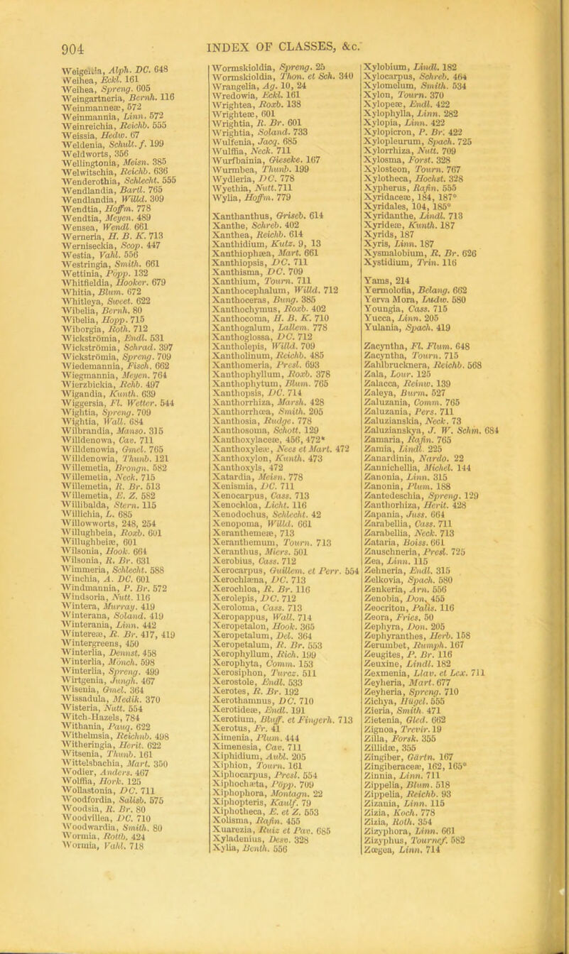 Weigeliia, Alph. DC. 648 yA'eihea, Eekl. 161 IVeihea, Spreng. 605 Weingarfcneria, Bcrnh. 116 AVeinmannea;, 572 AVeinmannia, Linn. 572 AVeinreichia, Reichb. 555 AVeissia, Bedw. 67 AVeldenia, Schult.f. 199 AVeldworts, 356 AVellingtonia, Meisn. 385 AVehvitschia, Reichb. 636 AVenderothia, Schleclit. 555 AA'endlandia, Bard. 765 Wendlandia, WiUd. 309 AVendtia, Boffin. 778 AVendtia, Meycn. 489 AVensea, Wendl. 661 AVerneria, B. B. K. 713 AVernisecltia, Scop. 447 AA'estia, Vahl. 556 A\restringia, Smith. 661 AVettinia, Popp. 132 AVliitfieldia, Booker. 679 AVliitia, Blum. 672 AVhitleya, Sweet. 622 AVibelia, Bcrnh. 80 AVibelia, Bopp. 715 AViborgia, Both. 712 AVickstriimia, Endl. 531 AVickstriimia, Schrad. 397 AVickstriimia, Spreng. 709 AViedemannia, Fisch. 662 AViegmannia, Meycn. 764 AVierzbickia, Bchb. 497 AVigandia, Kunth. 639 AViggersia, FI. Wetter. 544 AViglltia, Spreng. 709 AVightia, Wall. 684 AA'ilbrandia, Manso. 315 AVilldenowa, Car. 711 AVilldenowia, (imcl. 765 AVilldenowia, Thunb. 121 AVillemetia, Brongn. 582 AVillemetia, Neck. 715 AVillemetia, 11. Br. 513 AVillemetia, E. Z. 582 AViUibalda, Stem. 115 AVilliohia, L. 685 AVillowworts, 248, 254 AVillugbbeia, Boxb. 601 AYillughbei®, 601 AVilsonia, Hook. 664 AVilsonia, It. Br. 631 AVimmeria, Schlecht. 588 AVinchia, A. DC. 601 AVindmanuia, P. Br. 572 AViudsoria, A7«(6. 116 AVintera, Murray. 419 AVinterana, Soland. 419 AVinterania, Linn. 442 AVintereaj, B. Br. 417, 419 AVintergrecns, 450 AVinterlia, Demist. 458 AVinterlia, Monch. 598 AA'iuterlia, Spreng. 499 AVirtgenia, Jungh. 467 AVisenia, Omel. 364 AVissadula, Medik. 370 AVisteria, Nutt. 554 AVitch-Hazels, 784 AVithania, Pauq. 622 AVithelmsia, Bcichnb. 498 AVitheringia, Berit. 622 AVitsenia, Thunb. 161 AVittelsbaehia, Mart. 350 AYudier, Anders. 467 AVolffia, Bork. 125 AVollastonia, DC. 711 AVoodfordia, Salisb. 575 AA'oodsia, R. Br. 80 AVoodviUea, VC. 710 AVoodwardia, Smith. 80 AVormia, Bottb. 424 AVorwia, Vald. 718 AA7ormskioldia, Spreng. 25 AVormskioldia, Tlion. et Sch. 340 AVrangelia, Ag. 10, 24 AVredowia, Eckl. 161 AVrightea, Boxb. 138 AVrightea:, 601 AVrightia, B. Br. 601 AYrightia, Soland. 733 Wulfenia, Jacq. 685 AVulffia, Neck. 711 AVurfbainia, Gieseke. 167 Wurmbea, Thunb. 199 AVydleria, DC. 778 AVyetliia, Nutt. 711 AVyUa, Hoffm. 779 Xanthanthus, Griseb. 614 Xantlie, Schreb. 402 Xanthea, Reichb. 614 Xantliidium, Kutz. 9, 13 Xantliiojduva, Mart. 661 Xanthiopsis, VC. 711 Xanthisma, DC. 709 Xanthium, Tourn. 711 Xanthoceplialum, WiUd. 712 Xanthoceras, Bung. 385 Xanthochymu8, Boxb. 402 Xanthocoma, II. B. K. 710 Xanthogalum, Lallem. 778 Xanthoglossa, VC. 712 Xantholepis, Willd. 709 Xantbolinum, Reichb. 485 Xantliomeria, Prcsl. 693 Xanthophyllum, Boxb. 378 Xanthopliytuui, Blum. 765 Xanthopsia, VC. 714 Xantkorrliiza, Marsh. 428 Xanthorrhcea, Smith. 205 Xanthosia, Budge. 778 Xanthosoma, Schott. 129 Xanthoxylacem, 456, 472* Xanthoxylea:, Nets etMart. 472 Xanthoxylon, Kunth. 473 Xanthoxyls, 472 Xatardia, Meisn. 778 Xenismia, VC. 711 Xenocarpus, Cass. 713 Xenocldoa, Licht. 116 Xenodochus, Schlecht. 42 Xenopoma, WiUd. 661 Xeranthemeie, 713 Xerantliemum, Tourn. 713 Xeranthus, Miers. 501 Xerobius, Cass. 712 Xerocarpus, GuiUem. et Perr. 554 Xeroclilama, DC. 713 Xerocliloa, B. Br. 116 Xerolepis, VC. 712 Xeroloma, Cass. 713 Xeropappus, Wall. 714 Xeropetalon, Book. 365 Xeropetalum, Del. 364 Xeropetalum, B. Br. 553 Xeropliyllum, Rich. 199 Xerophyta, Comm. 153 Xero8iphon, Turcz. 511 Xerostole, Endl. 533 Xerotes, It. Br. 192 Xerothamnus, DC. 710 Xerotideie, Endl. 191 Xerotium, Bluff, et Fingerh. 713 Xerotus, Fr. 41 Ximenia, Plum. 444 Xitnenesia, Can. 711 Xiphidium, Aubl. 205 Xiphion, Tourn. 161 Xiphocnrpus, Prcsl. 554 Xiphochatta, Plipp. 709 Xiphophora, Montagu. 22 Xlpliopteris, Kaulf. 79 Xipliotheca, E. et Z. 553 Xolisma, Itafm. 455 Xuarezia, Ruiz el Pan. 685 Xyladenius, Desc. 328 Xylia, Benth. 556 Xylobium, Lindl. 182 Xylocarpus, Schrcb. 464 Xylomelum, Smith. 534 Xylon, Tourn. 370 Xylopeae, Endl. 422 Xylophylla, Linn. 282 Xylopia, Linn. 422 Xylopicron, P. Br. 422 Xylopleumm, Spach. 725 Xylorrhiza, Nutt. 709 Xylosma, Forst. 328 Xylosteon, Tourn. 767 Xylotheca, Boclist. 328 Xypherus, Rajhi. 555 Xyridace®, 184, 187“ Xyridales, 104, 185“ Xyridanthe, Lindl. 713 Xyrideas, Kunth. 187 Xyrids, 187 Xyris, Linn. 187 Xysmalobium, R. Br. 626 Xystidium, Trin. 116 Yams, 214 Yennoiotia, Bclang. 662 Yerva Mora, Ludw. 580 Youngia, Cass. 715 \rucca, Linn. 205 Yulania, Spach. 419 Zacyntha, FI. Flum. 648 Zacyntha, Tourn. 715 Zahlbrucknera, Reichb. 568 Zala, Lour. 125 Zalacca, Reinw. 139 Zaleya, Burm. 527 Zaluzania, Comm. 765 Zaluzania, Pers. 711 Zaluzianskia, Neck. 73 Zaluzianskya, J. W. Schin. 684 Zamaria, Rajhi. 765 Zamia, Lindl. 225 Zanardinia, Nardo. 22 Zannichellia, Michel. 144 Zanonia, Linn. 315 Zanonia, Plum. 188 Zantedescliia, Spreng. 129 Zanthorhiza, Berit. 428 Zapania, Juss. 664 Zarabellia, Cass. 711 Zarabellia, Neck. 713 Zataria, Boiss. 661 Zauscbneria, Prcsl. 725 Zea, Linn. 115 Zehneria, Endl. 315 Zelkovia, Spach. 580 Zenkeria, Am. 556 Zenobia, Doi\455 Zeocriton, Palis. 116 Zeora, Fries. 50 Zepliyra, Don. 205 Zepliyranthes, Herb. 158 Zerumbet, Humph. 167 Zeugites, P. Br. 116 Zeuxine, Lindl. 182 Zexmcuia, Llav. el Lex. 711 Zeylieria, Mart. 677 Zeyheria, Spreng. 710 Zichya, Hilgcl. 555 Zieria, Smith. 471 Zietenia, Gled. 662 Zignoa, Trevir. 19 Zilla, Forsk. 355 Zillidte, 355 Zingiber, Gilrtn, 167 Zingiberaceat, 162, 165“ Zinnia, Linn. 711 Zippelia, Blum. 518 Zippelia, Reichb. 93 Zizania, Linn. 115 Zizia, Koch. 778 Zizia, RoUt. 354 Zizypliora, Linn. 661 Zizyplius, Tour nrf. 582 Zcegea, Linn. 714