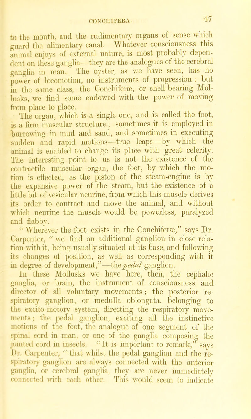 CONCHIFERA. to the mouth, and the rudimentary organs of sense which guard the alimentary canal. Whatever consciousness this animal enjoys of external nature, is most probably depen- dent on these ganglia—they are the analogues of the cerebral ganglia in man. The oyster, as we have seen, has no power of locomotion, no instruments of progression ; but in the same class, the Conchiferse, or shell-bearing Mol- lusks, we find some endowed with the power of moving from place to place. The organ, which is a single one, and is called the foot, is a firm muscular structure ; sometimes it is employed in burrowing in mud and sand, and sometimes in executing sudden and rapid motions—true leaps—by which the animal is enabled to change its place with great celerity. The interesting point to us is not the existence of the contractile muscular organ, the foot, by which the mo- tion is effected, as the piston of the steam-engine is by the expansive power of the steam, but the existence of a little bit of vesicular neurine, from which this muscle derives its order to contract and move the animal, and without which neurine the muscle would be powerless, paralyzed and flabby. “ W herever the foot exists in the Conchiferse,” says Dr. Carpenter, “ we find an additional ganglion in close rela- tion with it, being usually situated at its base, and following its changes of position, as well as corresponding with it in degree of development,”—thqpedal ganglion. In these Mollusks we have here, then, the cephalic ganglia, or brain, the instrument of consciousness and director of all voluntary movements; the posterior re- spiratory ganglion, or medulla oblongata, belonging to the excito-motory system, directing the respiratory move- ments ; the pedal ganglion, exciting all the instinctive motions of the foot, the analogue of one segment of the spinal cord in man, or one of the ganglia composing the jointed cord in insects. “ It is important to remark,” says Dr. Carpenter, “ that whilst the pedal ganglion and the re- spiratory ganglion are always connected with the anterior ganglia, or cerebral ganglia, they are never immediately connected with each other. This would seem to indicate