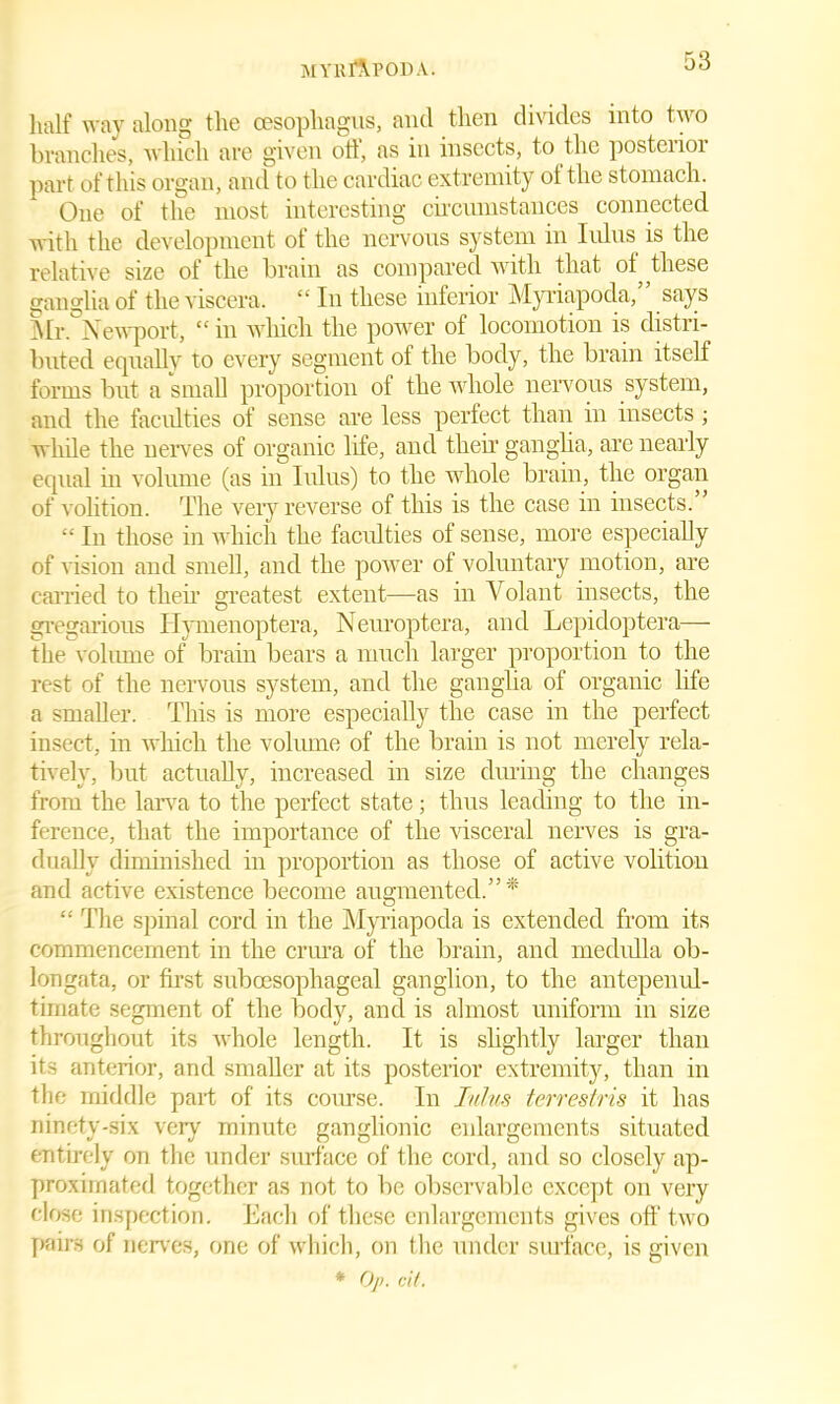 MYRIAPOD A. half way along the oesophagus, and then divides into two branches, which are given oil, as in insects, to the postenoi part of this organ, and to the cardiac extremity oi the stomach. One of the most interesting circumstances connected with the development of the nervous system in lulus is the relative size of the brain as compared with that of these ganglia of the viscera. “ In these inferior Myriapoda, says Mr. Newport, “ in which the power of locomotion is distri- buted equally to every segment of the body, the brain itself forms but a small proportion of the whole nervous system, and the faculties of sense are less perfect than in insects ; while the nerves of organic life, and their ganglia, are nearly equal in volume (as in lulus) to the whole brain, the organ of volition. The very reverse of this is the case in insects. “ In those in which the faculties of sense, more especially of vision and smell, and the power of voluntary motion, are earned to their greatest extent—as in Volant insects, the gregarious Ilymenoptera, Neuroptera, and Lepidoptera—- the volume of brain bears a much larger proportion to the rest of the nervous system, and the ganglia of organic life a smaller. This is more especially the case in the perfect insect, in which the volume of the brain is not merely rela- tively, but actually, increased in size during the changes from the larva to the perfect state; thus leading to the in- ference, that the importance of the visceral nerves is gra- dually diminished in proportion as those of active volition and active existence become augmented.”* “ The spinal cord in the Myriapoda is extended from its commencement in the crura of the brain, and medulla ob- longata, or first suboesophageal ganglion, to the antepenul- timate segment of the body, and is almost uniform in size throughout its whole length. It is slightly larger than its anterior, and smaller at its posterior extremity, than in the middle part of its course. In lulus terrestris it has ninety-six very minute ganglionic enlargements situated entirely on the under surface of the cord, and so closely ap- proximated together as not to be observable except on very close inspection. Each of these enlargements gives off two pairs of nerves, one of which, on the under surface, is given * Op. cit.