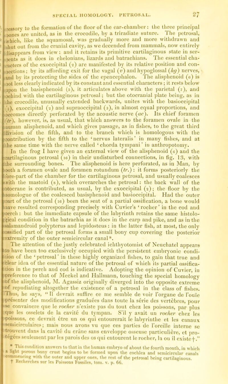 •essory to the formation of the tloor of tlie car-cliamber: the tliree principal jones are nnited, as in the crocodile, by a triradiate suture. The petrosal, .vhich, like the squamosal, was gradually more and more withdrawn and )hut out from the cranial cavity, as wedecended from mammals, now entirely Jisappears from view: and it retains its primitive cartilaginous state in ser- 3ents as it does in chelonians, lizards and batrachians. The essential cha- •actei-s of the exoccipital (2) are manifested by its relative position and con- lections; by its affording exit for the vagal (v) and hypoglossal (he/) nerves, uid bv its protecting the sides of the epencephalon. The alisphenoid («) is lot less clearly indicated by its constant and essential characters ; it rests below ipon the basisphenoiil (5), it articulates above with the parietal (7), and Dehind with the caiTilaginous petrosal; but the otocranial plate being, as in .he crocodile, unusually extended backwards, unites with the basioccipital 'i), exoccipital (2) and supraoccipital (3), in almost equal proportions, and jecomes directly perforated by the acoustic nerve (ac). Its chief foramen Vr), however, is, as usual, that which answers to the foramen ovale in the iuman alisphenoid, and which gives passage, as in fishes, to the great third Jivision of the fifth, and to the branch which is homologous with the Dontribution by the fifth to the ‘nervus lateralis’ in many fishes, and at .he same time with the nerve called ‘ chorda tympani ’ in anthropotomy. In the frog I have given an external view of the alisphenoid («) and the •cartilaginous petrosal (le) in their undisturbed connections, in fig. 13, with ;he surrounding bones. The alisphenoid is here perforated, as in Man, by •Doth a foramen ovale and foramen rotundum (tr.): it forms posteriorly the ore-part of the chamber for the cartilaginous petrosal, and usually coalesces •vith the mastoid (s), which overarches the petrosal: the back wall of the otocrane is eontributed, as usual, by the exoccipital (2); the floor by the jomologue of the coalesced basisphenoid and basioccipital. Had the outer Dart of the petrosal (10) been the seat of a partial ossification, a bone would Dave resulted corresponding precisely with Cuvier’s ‘rocher’ in the cod and oerch : but the immediate capsule of the labyrinth retains the same histolo- ;jical condition in the batrachia as it does in the carp and pike, and as in the *aIamandroid polypterus and lepidosteus: in the latter fish, at most, the only ossified part of the petrosal forms a small bony cup covering the posterior ;e.xtremity of the outer semicircular canal*. The attention of the justly celebrated ichthyotomist of Neuchatel appears ;UD have been too exclusively occupied with the persistent embryonic condi- •;ion of the ‘ petrosal ’ in these highly organized fishes, to gain that true and clear idea of the essential nature of the petrosal of which its partial ossifica- tion in the perch and cod is indicative. Adopting the opinion of Cuvier, in preference to that of Meckel and Hallmann, toucliing the special homology of the alisphenoid, M. Agassiz originally diverged into the opposite extreme of repudiating altogether the existence of a petrosal in the class of fishes. Thu.s, he says, “ II devrait suffire ce me semble de voir I’organe de I’oui'e presenter des modifications graduees dans toute la serie des vertebres, pour se convaincre que le rocher n’existe pas du tout chez les poissons, par plus que les osselets de la cavite du tympan. S’il y avait un rocher chez les poissons, ce devrait etre un os qui entourerait le labyrinthe et les canaux 3eniicirculaire.s; mais nous avons vu que ces parties de I’oreille interne se trouvent dans la cavite du crane .sans enveloppe o.sseuse particuliere, et pro- tegees seuleinerit par les parois de.s os qui entourent le rocher, la ou il cxistef.” * This conflltion answers to that in the Imman embryo of about the fourth month, in which a light porous bony mist begins to he formed upon the cochlea and semicircular cauals commencing with the outer and upper ones, the rest of the petrosal being cartilaginous.