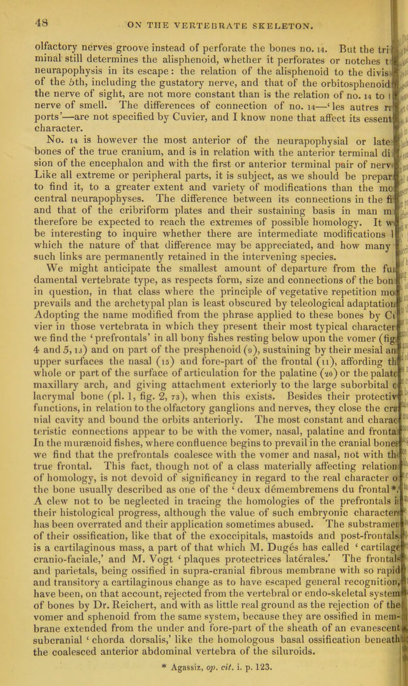 f' V*r olfactory nerves groove instead of perforate the bones no. h. But the tri minal still determines the alisphenoid, whether it perforates or notches t neurapophysis in its escape: the relation of the alisphenoid to the divis' of the 6th, including the gustatory nerve, and that of the orbitosphenoid the nerve of sight, are not more constant than is the relation of no. 14 to I nerve of smell. The differences of connection of no. i4—‘ les autres n ports’—are not specified by Cuvier, and I know none that affect its essenl character. No. 14 is however the most anterior of the neurapophysial or late bones of the true cranium, and is in relation with the anterior terminal di sion of the encephalon and with the first or anterior terminal pair of nerv* Like all extreme or peripheral parts, it is subject, as we should be prepari to find it, to a greater extent and variety of modifications than the mcx central neurapophyses. The difference between its connections in the fi' and that of the cribriform plates and their sustaining basis in man m therefore be expected to reach the extremes of possible homology. It w be interesting to inquire whether there are intermediate modifications which the nature of that difference may be appreciated, and how many such links are permanently retained in the intervening species. We might anticipate the smallest amount of departure from the fut damental vertebrate type, as respects form, size and connections of the bon in question, in that class where the principle of vegetative repetition nux prevails and the archetypal plan is least obscured by teleological adaptatioui Adopting the name modified from the phrase applied to these bones by Ci' * vier in those vertebrata in which they present their most typical character we find the ‘ prefrontals’ in all bony fishes resting below upon the vomer (fig 4 and 5, u) and on part of the presphenoid (9), sustaining by their mesial an upper surfaces the nasal (15) and fore-part of the frontal (11), affording th whole or part of the surface of articulation for the palatine (20) or the palate * maxillary arch, and giving attachment exteriorly to the large suborbital c lacrymal bone (pi. 1, fig. 2, 73), when this exists. Besides their protectiv functions, in relation to the olfactory ganglions and nerves, they close the era nial cavity and bound the orbits anteriorly. The most constant and charac teristic connections appear to be with the vomer, nasal, palatine and fronts; In the murtenoid fishes, where confluence begins to prevail in the cranial bones we find that the prefrontals coalesce with the vomer and nasal, not with th true frontal. This fact, though not of a class materially affecting relation of homology, is not devoid of significancy in regard to the real character 0 the bone usually described as one of the ‘ deux demerabremens du frontal* A clew not to be neglected in tracing the homologies of the prefrontals ii their histological progress, although the value of such embryonic characters has been overrated and their application sometimes abused. The substramen of their ossification, like that of the exoccipitals, mastoids and post-frontals, is a cartilaginous mass, a part of that which M. Dug6s has called ‘ cartilage cranio-faciale,’ and M. Vogt ‘ plaques protectrices laterales.’ The frontal and parietals, being ossified in supra-cranial fibrous membrane with so rapic and transitory a cartilaginous change as to have escaped general recognition have been, on that account, rejected from the vertebral or endo-skeletal system of bones by Dr. Reichert, and with as little real ground as the rejection of the vomer and sphenoid from the same system, because they are ossified in mem- brane extended from the under and fore-part of the sheath of an evanescent suberanial ‘ chorda dorsalis,’ like the homologous basal ossification beneath the coalesced anterior abdominal vertebra of the siluroids. tu * Agassiz, op. cit. i. p. 123.