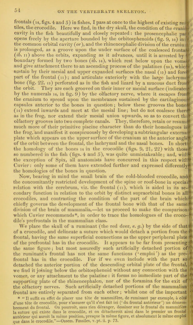 frontals (14, figs. 4- and 5) in fishes, I pass at once to the highest of existing re ' tiles, the crocodile. Here we find, in the dry skull, the condition of the rrani cavity in the fish beautifully and closely repeated: the prosencephalic pa opens freely by tlie aperture bounded by the orbitosphenoids (fig. 9, 10) in the common orbital cavity (or), and the rhinencephalic division of the craniu is prolonged, as a groove upon the under surface of the coalesced fronta (ib. 11) above the orbits, expanding as it advances, until it is arrested by boundary formed by two bones (ib. 14), which rest below upon the vomt and give attachment there to an ascending process of the palatines (20), whic<j sustain by their mesial and upper expanded surfaces the nasal (15) and ford part of the frontal (n); and articulate exteriorly with the large lachryms bone (fig. 22, 13) perforated as in the fish and lizard by a mucous duct froi the orbit. They are each grooved on their inner or mesial surface (indicate by the numerals 14, in fig. 9) by the olfactory nerve, where it escapes froi the cranium to spread upon the membranes sustained by the cartilaginou' capsules anterior to the bones in question ; below tliese grooves the bone (14) extend inwards and meet at the mesial line; but do not coalesce ther as in the frog, nor extend their mesial union upwards, so as to convert th olfactory grooves into two complete canals. They, therefore, retain or resume much more of their primitive piscine character than do their homologues ii the frog, and manifest it conspicuously by developing a subtriangular externa plate which appears on the upper surface of the cranium at the anterior angl of the orbit between the frontal, the lachrymal and the nasal bones. In short the homology of the bones 14 in the crocodile (figs. 9, 21, 22) with those so numbered in the fish (figs. 4? and 5), was quite unmistakeable; and, will tlie exception of Spix, all anatomists have concurred in this respect witi Cuvier: only some of them have extended further and expressed differentlj the homologies of the bones in question. Now, bearing in mind the small brain of the cold-blooded crocodile, anc the concomitantly restricted development of the spine or roof-bone in specia relation with the cerebrum, viz. the frontal (11), which is aided in its se- condary function in relation to the orbit by distinct supraorbital bones in all crocodiles, and contrasting the condition of the part of the brain which cliiefly governs the development of the frontal bone with that of the same division of the brain of mammalia,—let us proceed to make the comparison which Cuvier recommends*, in order to trace the homologues of the croco- dile’s prefrontals in the mammalian class. We place the skull of a ruminant (the red deer, e. g.) by the side of that of a crocodile, and delineate a suture which would detach a portion from the frontal, having the same superficial connections as the upper peripheral plate of the prefrontal has in the crocodile. It appears to be far from presenting the same figure; but most assuredly such artificially detached portion of the ruminant's frontal has not the same functions (‘emploi’) as the pre- frontal has in the crocodile. For if we even include with the part so detached the anterior portion of the descending orbital plate of the frontal, we find it joining below the orbitosphenoid without any connection with the vomer, or any attachment to the palatine: it forms no immediate part of the supporting plate of the rhinencephalon, nor of the foramina for the exit of the olfactory nerves. Such artificially detached portions of the mammaliaffl frontal are entirely separated from each other; whilst one of the important * “ II suffit en efFet de placer une tete de mammifere, de ruminant par exemple, a cottf d’une tete de crocodile, pour s’assurer qu’il s’est fait ici (‘ du frontal anterieur ’) un demein- brement du frontal. On poun-oit, sans rien ddranger, dessiner sur le frontal du mammifere la suture qui existe dans le crocodile, et on dctaclieroit ainsi dans le premier un frontal anterieur qui auroit la meme position, presque la meme figure, et absolument le merae emploi que dans le crocodile.”—Ossem. Fossiles, v. pt. ii. p. 73.