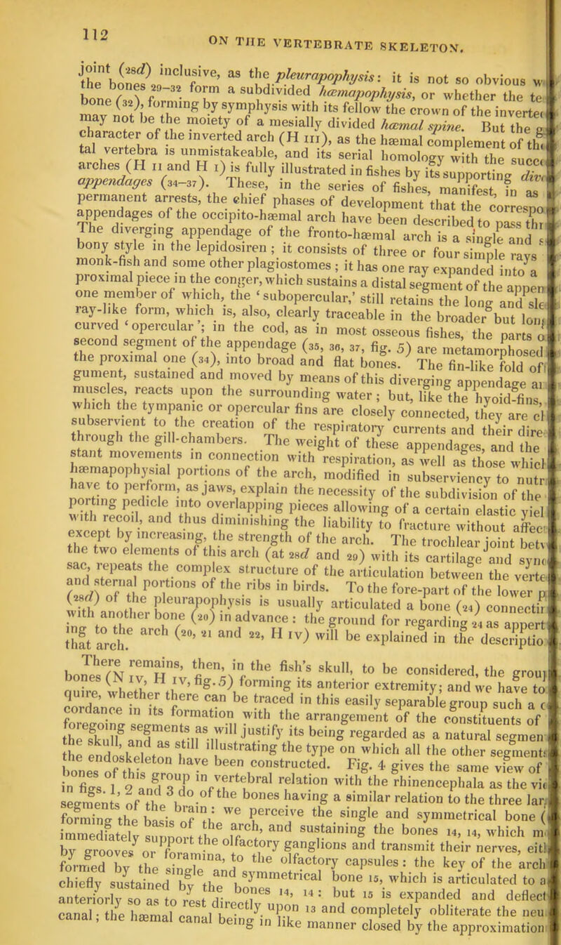 ON THE VERTEBRATE SKELETON, ^^llPj^urfipophysis: it is not so obvious w e 29 32 form a subdivided hccmapophysis, or whether the te ma’Tn'*?! symphysis with its fellow the crown of the inverter ^ mesially divided hccmal spine. But the af ?| V inverted arch (H m), as the hmmal complement of th^ tal vertebra is unmistakeable, and its serial homology with the succi arches (H ii and H i) is fully illustrated in fishes by Supporting S appendages (34-37). These, in the series of fishes, manifest fn i permanent arrests, the chief phases of development that the coi^esno appendages of the occ.pito-haemal arch have been described to pLs thr The diverging appendage of the fronto-h^mal arch is a singlHnd 1 bony sty e in the lepidosiren ; it consists of three or four simile ravs’ monk-fish and some other plagiostomes ; it has one ray expanded inS proximal piece in the conger, which sustains a distal segment of the appeo one member of which, the ‘ subopercular,’ still retains the long and^sle ay-like form, which is, also, clearly traceable in the broader^but lout curved opercular ; in the cod, as in most osseous fishes, the parts a second segment of the appendage (35, 3«, 37, fig. 5) are metamorphosed the proximal one (34), into broad and flat bones. The fin-like fold ofi gument, sustained and moved by means of this diverging append^ muscles reacts upon the surrounding water; but, ifke the hyoiSs winch the tympanic or opercular fins are closely connected, they are cl subservient to the creation of the respiratory currents and their dire hrough the gil -chambers. The weight of thise appendages, aU tie sta.it movements in connection with respiration, as well af those wliicl hmmapophysial portions of the arch, modified in subserviency to nutr have to perform, as jaws, explain the necessity of the subdivisiL of the porting pedicle into overlapping pieces allowing of a certain elastic viel with recoil, and thus diminishing the liability fo fractimfwithout a£ except by increasing, the strength of the arch. The trochlear joint beh the two elements of this arch (at 2sr/ and 29) with its cartilage'^and sync sac, repeats the complex structure of the articulation between the verte ?2srff of'tl the ribs in birds. To the fore-part of the lower p (2srf) of the pleurapophysis is usually articulated a bone (24) conneeth with another bone (20) in advance : the ground for regardirm 24 S anne; ,ng arch and H ,v) J: be eaplaine? in tL dic^u„ I .u’ ^ forming its anterior extremity; and we have to quire, whether there can be traced in this easily separable group sS a c cordance m its formation with the arrangement of the oinstituents of tra^'ni: nr-.:! - a naSrsx he endoskefot^n f '' the type on which all the other segment, bones o?thi ‘ r ^ constructed. Fig. 4 gives the same view of in ties 1 2 and ^ J J^ertebral relation with the rhinencephala as the vii segnfents of tl elf '’^'^tion to the three lari fofming the iasis symmetrical bone ( immedfatelv suTinm-fsustaining the bones 14, h, which m. by grooves^ or ganglions and transmit their nerves, eit! fo^-med by the olfactory capsules: the key of the arch chiefly sustained bl the^ljon'i'*’**^'^^* 1^°® articulated to a anteriorlv so as tn rLf a- ^?i ^ expanded and deflect canal. tl!e Immal canal beS„‘'S ma',?„«r7'’‘7l'^ obliterate the ncu g in iiKe manner closed by the approximation