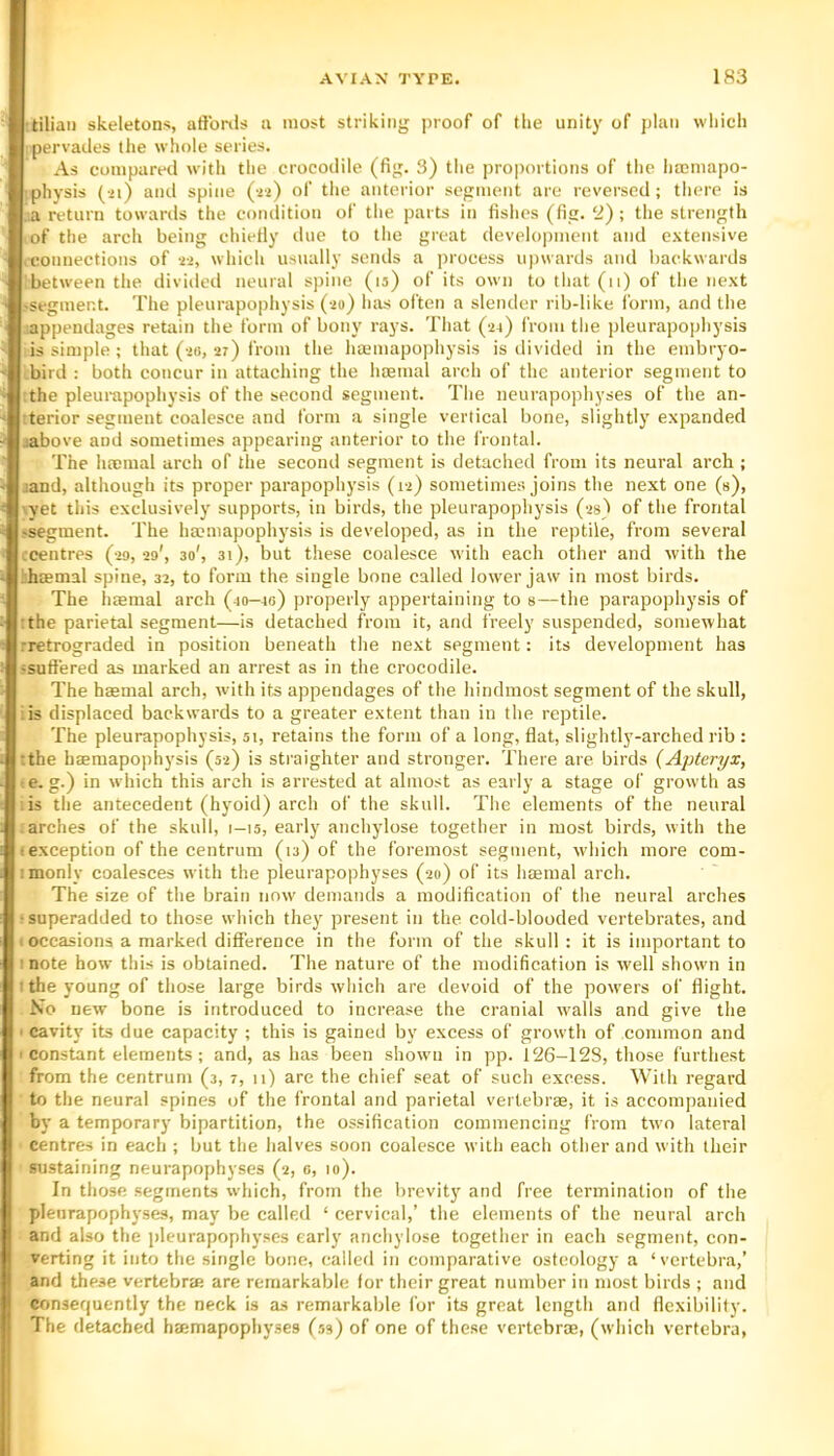 :tiliai) skeletons, atibnls a most striking proof of the unity of plan which pervades the whole series. As compared with the crocodile (fig. 3) the proportions of the hmmapo- physis (>i) and spine (-n) of the anterior segment are reversed; there is ..a return towards the condition of the parts in fishes (fig.‘i) ; the strength of the arch being chietly due to the great development and extensive .connections of -ii, which usually sends a process upwards and backwards between the divided neural spine (is) of its own to that (n) of the next -segment. The pleurapophysis (-io) has often a slender rib-like form, and the appendages retain the form of bony rays. That (24) from the pleurapophysis is simple ; that (->6, 27) from the hajinapophysis is divided in the embryo- bird : both concur in attaching the haemal arch of the anterior segment to the pleurapophysis of the second segment. The neurapophyses of the an- terior segment coalesce and form a single vertical bone, slightly expanded jabove and sometimes appearing anterior to the frontal. The lucmal arch of the second segment is detached from its neural arch ; jand, although its proper parapophysis (12) sometimes joins the next one (s), yet this exclusively supports, in birds, the pleurapophysis (2s) of the frontal 'Segment. The haemapophysis is developed, as in the reptile, from several .-centres (-29, 29', 30', 31), but these coalesce with each other and with the bhEemal spine, 32, to form the single bone called lower jaw in most birds. The haemal arch (40-40) properly appertaining to s—the parapophysis of the parietal segment—is detached from it, and freely suspended, somewhat rretrograded in position beneath the next segment: its development has sutiered as marked an arrest as in the crocodile. The haemal arch, with its appendages of the hindmost segment of the skull, is displaced backwards to a greater extent than in the reptile. The pleurapophysis, 51, retains the form of a long, flat, slightly-arched rib : the haemapophysis (52) is straighter and stronger. There are birds (Apteryx, e. g.) in which this arch is arrested at almost as early a stage of growth as is the antecedent (hyoid) arch of the skull. The elements of the neural arches of the skull, 1—15, early anchylose together in most birds, with the exception of the centrum (13) of the foremost segment, which more com- monly coalesces with the pleurapophyses (20) of its haemal arch. The size of the brain now demands a modification of the neural arches superadded to those which they present in the cold-blooded vertebrates, and occasions a marked difference in the form of the skull : it is important to note how this is obtained. The nature of the modification is well shown in the young of those large birds which are devoid of the powers of flight. No new bone is introduced to increase the cranial walls and give the cavity its due capacity ; this is gained by excess of growth of common and constant elements; and, as has been showm in pp. 126-128, those furthest from the centrum (3, 7, 11) are the chief seat of such excess. With regard to the neural spines of the frontal and parietal vertebrae, it is accompanied by a temporary bipartition, the ossification commencing from two lateral centres in each ; but the halves soon coalesce with each other and with their sustaining neurapophyses (2, e, 10). In those segments which, from the brevity and free termination of the pleurapoph3-ses, may be called ‘ cervical,’ the elements of the neural arch and also the pleurapophyses early anchylose together in each segment, con- verting it into the single bone, called in comparative osteology a ‘vertebra,’ and these vertebra; are remarkable for their great number in most birds ; and conserjuently the neck is as remarkable for its great length and flexibility. The detached brnmapophyses (53) of one of these vertebrae, (which vertebra,