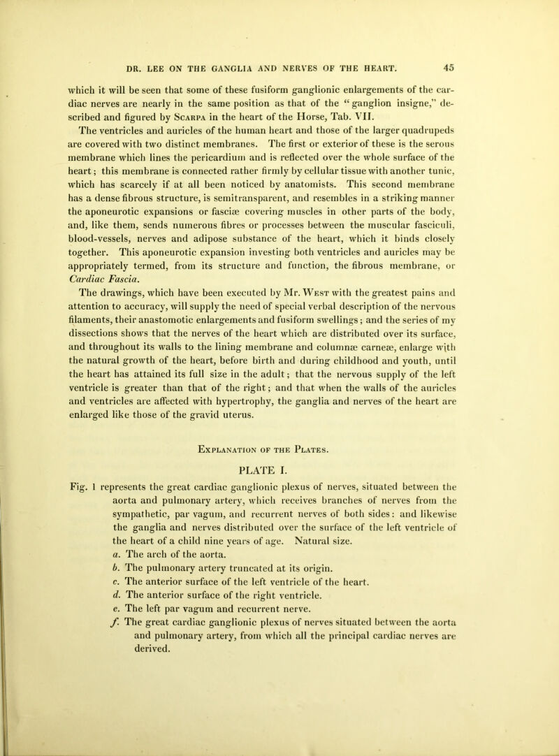 which it will be seen that some of these fusiform ganglionic enlargements of the car- diac nerves are nearly in the same position as that of the “ ganglion insigne,” de- scribed and figured by Scarpa in the heart of the Horse, Tab. VII. The ventricles and auricles of the human heart and those of the larger quadrupeds are covered with two distinct membranes. The first or exterior of these is the serous membrane which lines the pericardium and is reflected over the whole surface of the heart; this membrane is connected rather firmly by cellular tissue with another tunic, which has scarcely if at all been noticed by anatomists. This second membrane has a dense fibrous structure, is semitransparent, and resembles in a striking manner the aponeurotic expansions or fasciae covering muscles in other parts of the body, and, like them, sends numerous fibres or processes between the muscular fasciculi, blood-vessels, nerves and adipose substance of the heart, which it binds closely together. This aponeurotic expansion investing both ventricles and auricles may be appropriately termed, from its structure and function, the fibrous membrane, or Cardiac Fascia. The drawings, which have been executed by Mr. West with the greatest pains and attention to accuracy, will supply the need of special verbal description of the nervous filaments, their anastomotic enlargements and fusiform swellings; and the series of my dissections shows that the nerves of the heart which are distributed over its surface, and throughout its walls to the lining membrane and columnse carnese, enlarge with the natural growth of the heart, before birth and during childhood and youth, until the heart has attained its full size in the adult; that the nervous supply of the left ventricle is greater than that of the right; and that when the walls of the auricles and ventricles are affected with hypertrophy, the ganglia and nerves of the heart are enlarged like those of the gravid uterus. Explanation of the Plates. PLATE I. Fig. 1 represents the great cardiac ganglionic plexus of nerves, situated between the aorta and pulmonary artery, which receives branches of nerves from the sympathetic, par vagum, and recurrent nerves of both sides: and likewise the ganglia and nerves distributed over the surface of the left ventricle of the heart of a child nine years of age. Natural size. a. The arch of the aorta. b. The pulmonary artery truncated at its origin. c. The anterior surface of the left ventricle of the heart. d. The anterior surface of the right ventricle. e. The left par vagum and recurrent nerve. f. The great cardiac ganglionic plexus of nerves situated between the aorta and pulmonary artery, from which all the principal cardiac nerves are derived.