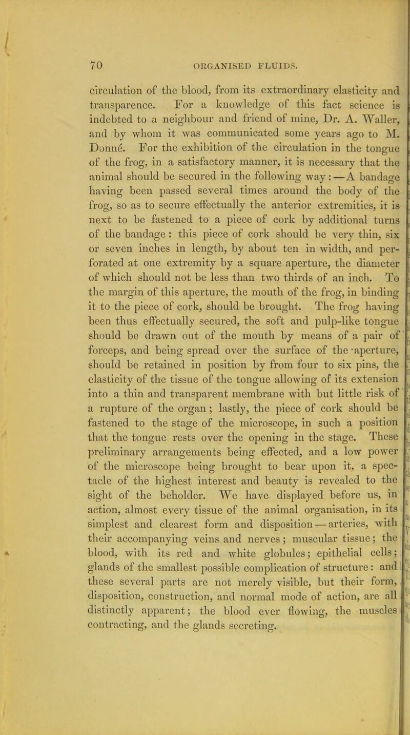 circulation of the blood, from its extraordinary elasticity and transparence. For a knowledge of this fact science is indebted to a neighbour and friend of mine, Dr. A. Waller, and by whom it was communicated some years ago to M. Donne. For the exhibition of the circulation in the tongue of the frog, in a satisfactory manner, it is necessary that the animal should be secured in the following way:—A bandage having been passed several times around the body of the frog, so as to secure effectually the anterior extremities, it is next to be fastened to a piece of cork by additional turns of the bandage : this piece of cork should be very thin, six or seven inches in length, by about ten in width, and per- forated at one extremity by a square aperture, the diameter of which should not be less than two thirds of an inch. To the margin of this aperture, the mouth of the frog, in binding it to the piece of cork, should be brought. The frog having been thus effectually secured, the soft and pulp-like tongue should be drawn out of the mouth by means of a pair of forceps, and being spread over the surface of the -aperture, should be retained in position by from four to six pins, the elasticity of the tissue of the tongue allowing of its extension into a thin and transparent membrane with but little risk of a rupture of the organ ; lastly, the piece of cork should be fastened to the stage of the microscope, in such a position that the tongue rests over the opening in the stage. These preliminary arrangements being effected, and a low power of the microscope being brought to bear upon it, a spec- tacle of the highest intex-est and beauty is revealed to the sight of the beholder. We have displayed befoi*e us, in action, almost every tissue of the animal organisation, in its simplest and cleai’est form and disposition — arteries, with their accompanying veins and nerves; muscular tissue; the blood, with its red and white globules; epithelial cells; glands of the smallest possible complication of structure: and these several parts are not merely visible, but their form, disposition, construction, and normal mode of action, ai-e all distinctly apparent; the blood ever flowing, the muscles contracting, and the glands secreting. i E It: it a to V tii l: v