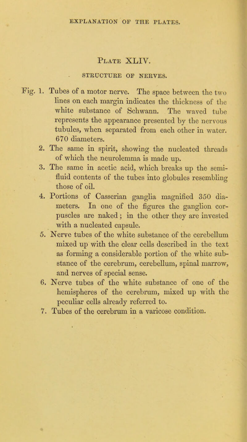 Plate XLIV. STRUCTUKE OP NERVES. Fig. 1. Tubes of a motor nerve. The space between the two lines on each margin indicates the thickness of tlic white substance of Schwann. The waved tube represents the appearance presented by the nervous tubules, when separated from each other in water. 670 diameters. 2. The same in spirit, showing the nucleated threads of which the neurolemma is made up. 3. The same in acetic acid, which breaks up the semi- fluid contents of the tubes into globules resembling those of oil. 4. Portions of Gasserian ganglia magnified 350 dia- meters. In one of the figures the ganglion cor- puscles are naked; in the other they are invested with a nucleated capsule. 5. Nerve tubes of the white substance of the cerebellum mixed up with the clear cells described in the text as forming a considerable portion of the white sub- stance of the cerebrum, cerebellum, spinal marrow, and nerves of special sense. 6. Nerve tubes of the white substance of one of the hemispheres of the cerebrum, mixed up with the peculiar cells already referred to.