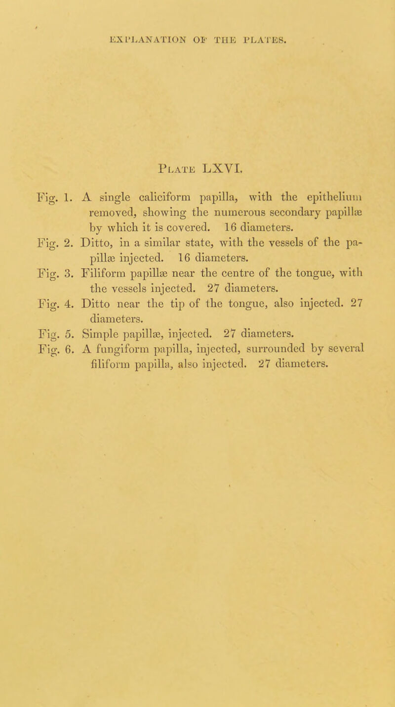 Plate LXVl. Fig. 1. A single caliciform papilla, with the epithelium removed, showing the numerous secondary papilhe by which it is covered. 16 diameters. Fig. 2. Ditto, in a similar state, with the vessels of the pa- pilla? injected. 16 diameters. Fig. 3. Filiform papilla? near the centre of the tongue, with the vessels injected. 27 diameters. Fig. 4. Ditto near the tip of the tongue, also injected. 27 diameters. Fig. 5. Simple papilla?, injected. 27 diameters. Fig. 6. A fungiform papilla, injected, surrounded by several filiform papilla, also injected. 27 diameters.