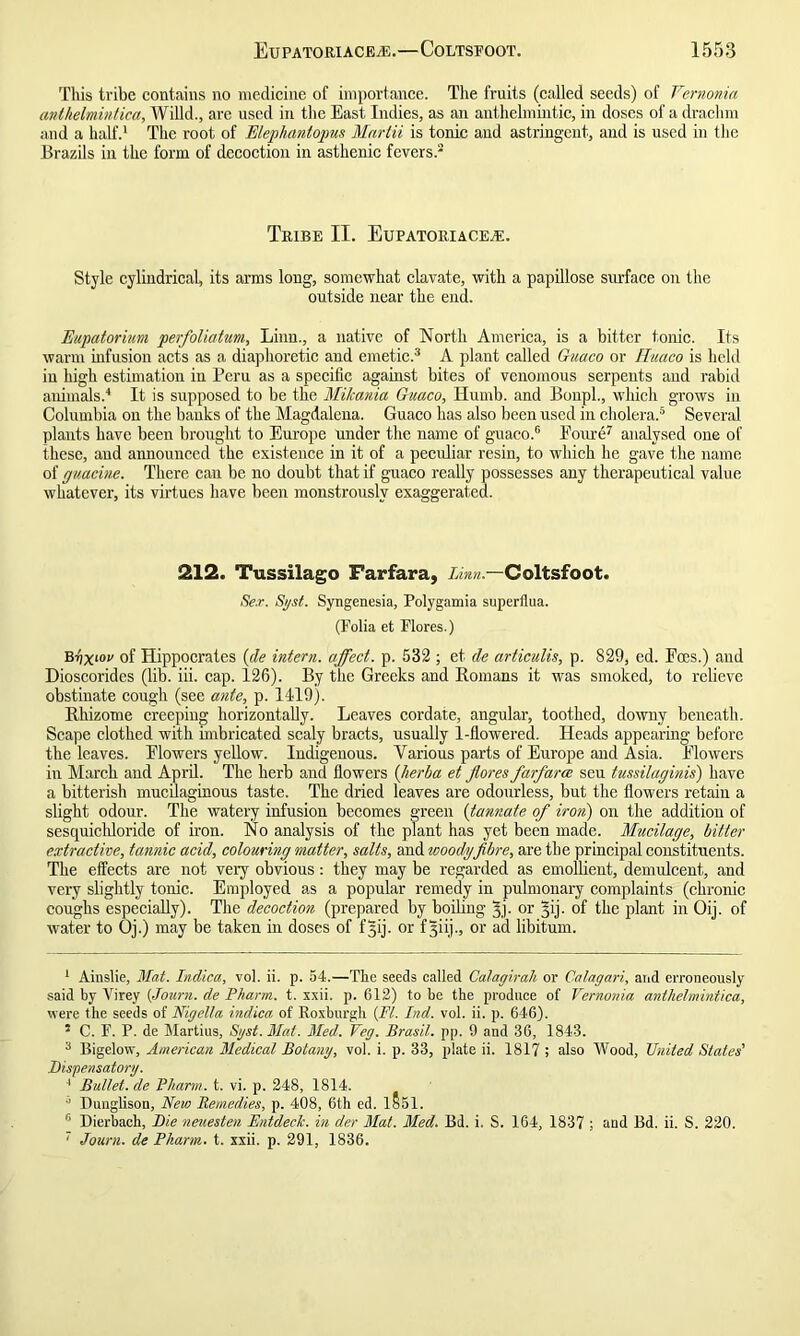 This tribe contains no medicine of importance. The fruits (called seeds) of Yernonia antlielmintica, Willd., are used in the East Indies, as an anthelmintic, in doses of a drachm and a half.1 The root of Elephantopus Martii is tonic and astringent, and is used in the Brazils in the form of decoction in asthenic fevers.2 Tribe II. Eupatoriace^e. Style cylindrical, its arms long, somewhat clavate, with a papillose surface on the outside near the end. Eupatorivm perfoliatum, Linn., a native of North America, is a bitter tonic. Its warm infusion acts as a diaphoretic and emetic.3 A plant called Guaco or Ihtaco is held in high estimation in Peru as a specific against bites of venomous serpents and rabid animals.4 It is supposed to be the Mikania Guaco, Humb. and Boupl., which grows in Columbia on the banks of the Magdalena. Guaco has also been used in cholera.5 Several plants have been brought to Europe under the name of guaco.6 Foure7 analysed one of these, and announced the existence in it of a peculiar resin, to which he gave the name of guacine. There can be no doubt that if guaco really possesses any therapeutical value whatever, its virtues have been monstrously exaggerated. 212. Tussilago Farfara, Linn— Coltsfoot. Se.r. Syst. Syngenesia, Polygamia superflua. (Folia et Flores.) Brix101' of Hippocrates (de intern, affect, p. 532 ; et de articulis, p. 829, ed. Foes.) and Dioscorides (lib. iii. cap. 126). By the Greeks and Romans it was smoked, to relieve obstinate cough (see ante, p. 1419). Rhizome creeping horizontally. Leaves cordate, angular, toothed, downy beneath. Scape clothed with imbricated scaly bracts, usually 1-flowered. Heads appearing before the leaves. Flowers yellow. Indigenous. Various parts of Europe and Asia. Flowers in March and April. The herb and flowers (herba et jiores farfarce seu tussilaginis) have a bitterish mucilaginous taste. The dried leaves are odourless, but the flowers retain a slight odour. The watery infusion becomes green (tannate of iron) on the addition of sesquichloride of iron. No analysis of the plant has yet been made. Mucilage, bitter extractive, tannic acid, colouring matter, salts, and woody fibre, are the principal constituents. The effects are not very obvious: they may be regarded as emollient, demulcent, and very slightly tonic. Employed as a popular remedy in pulmonary complaints (chronic coughs especially). The decoction (prepared by boiling 3.j- or ^ij. of the plant in Oij. of water to Oj.) may be taken in doses of f^ij. or f yij., or ad libitum. 1 Ainslie, Mat. Indica, vol. ii. p. 54.—The seeds called Calagirah or Calagari, and erroneously said by Yirey (Journ. de Pharm. t. xxii. p. 612) to be the produce of Yernonia antlielmintica, were the seeds of Nigella indica of Roxburgh (Ft. Ind. vol. ii. p. 646). 5 C. F. P. de Martius, Sgst.Mat. Med. Veg. Brasil, pp. 9 and 36, 1843. 3 Bigelow, American Medical Botany, vol. i. p. 33, plate ii. 1817 ; also Wood, United States' Dispensatory. 4 Bullet, de Pharm. t. vi. p. 248, 1814. 5 Dunglison, New Remedies, p. 408, 6th ed. 1§51. 6 Dierbach, Die neuesten Entdeck. in der Mat. Med. Bd. i. S. 164, 1837 ; and Bd. ii. S. 220. 7 Journ. de Pliarm. t. xxii. p. 291, 1836.