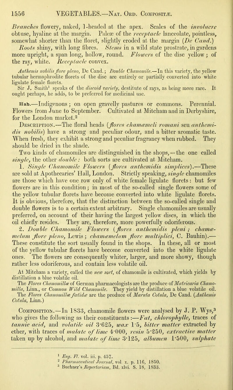 Branches flowery, naked, 1 -headed at the apex. Scales of the involucre obtuse, hyaline at the margin. Palere of the receptacle lanceolate, pointless, somewhat shorter than the floret, slightly eroded at the margin [De C'and.) Boots shiny, with long fibres. Stems in a wild state prostrate, in gardens more upright, a span long, hollow, round. Flowers of the disc yellow; of the ray, white. Receptacle convex. Anthemis nobilis fiore pleno, De Cand.; Double Chamomile.—In this variety, the yellow tubular hermaphrodite florets of the disc are entirely or partially converted into white ligulate female florets. Sir J. Smith1 speaks of the discoid variety, destitute of rays, as being more rare. It ought perhaps, he adds, to be preferred for medicinal use. Hab.—Indigenous; on open gravelly pastures or commons. Perennial. Plowers from Juue to September. Cultivated at Mitcham and in Derbyshire, for the London market.2 Description.—The floral heads (flores chamanneli romani seu anthemi- dis nobilis) have a strong and peculiar odour, and a bitter aromatic taste. When fresh, they exhibit a strong and peculiar fragrancy when rubbed. They should be dried in the shade. Two kinds of chamomiles are distinguished in the shops,—the one called single, the other double: both sorts are cultivated at Mitcham. 1. Single Chamomile Flowers (flores anthemidis simplices).—These are sold at Apothecaries’ Hall, London. Strictly speaking, single chamomiles are those which have one row only of white female ligulate florets : but few flowers are in this condition; in most of the so-called single flowers some of the yellow tubular florets have become converted into wdiite ligulate florets. It is obvious, therefore, that the distinction between the so-called single and double flowers is to a certain extent arbitrary. Single chamomiles are usually preferred, on account of their having the largest yellow discs, in which the oil chiefly resides. They are, therefore, more powerfully odoriferous. 2. Double Chamomile Flowers (flores anthemidis pleni ; chamce- melum Jlore pleno, Lewis ; chamwmelum Jlore multiplici, C. Bauliin).— These constitute the sort usually found in the shops. In these, all or most of the yellow tubular florets have become converted into the white ligulate ones. The flowers are consequently whiter, larger, and more showy, though rather less odoriferous, and contain less volatile oil. At Mitcham a variety, called the new sort, of chamomile is cultivated, which yields by distillation a blue volatile oil. The Flores Chamomillee of German pharmacologists are the produce of Matricaria Chamo- milla, Linn., or Common Wild Chamomile. They yield by distillation a blue volatile oil. The Flores Chamomillee feetidee. are the produce of Maruta Cotula, De Cand. (Anthemis Cotula, Linn.) Composition.—In 1833, chamomile flowers were analysed by J. P. Wys,3 who gives the following as their constituents :—Fat, chlorophylle, traces of tannic acid, and volatile oil 3‘625, wax 1'5, bitter matter extracted by ether, with traces of malate of lime 4-000, resin 5’250, extractive matter taken up by alcohol, and malate of lime 3*125, albumen 1'500, sulphate 1 Eng. FI. vol. iii. p. 457. 2 Pharmaceutical Journal, vol. x. p. 116, 1850. 3 Buchner’s Repertorium, Bd. xlvi. S. 18, 1833.