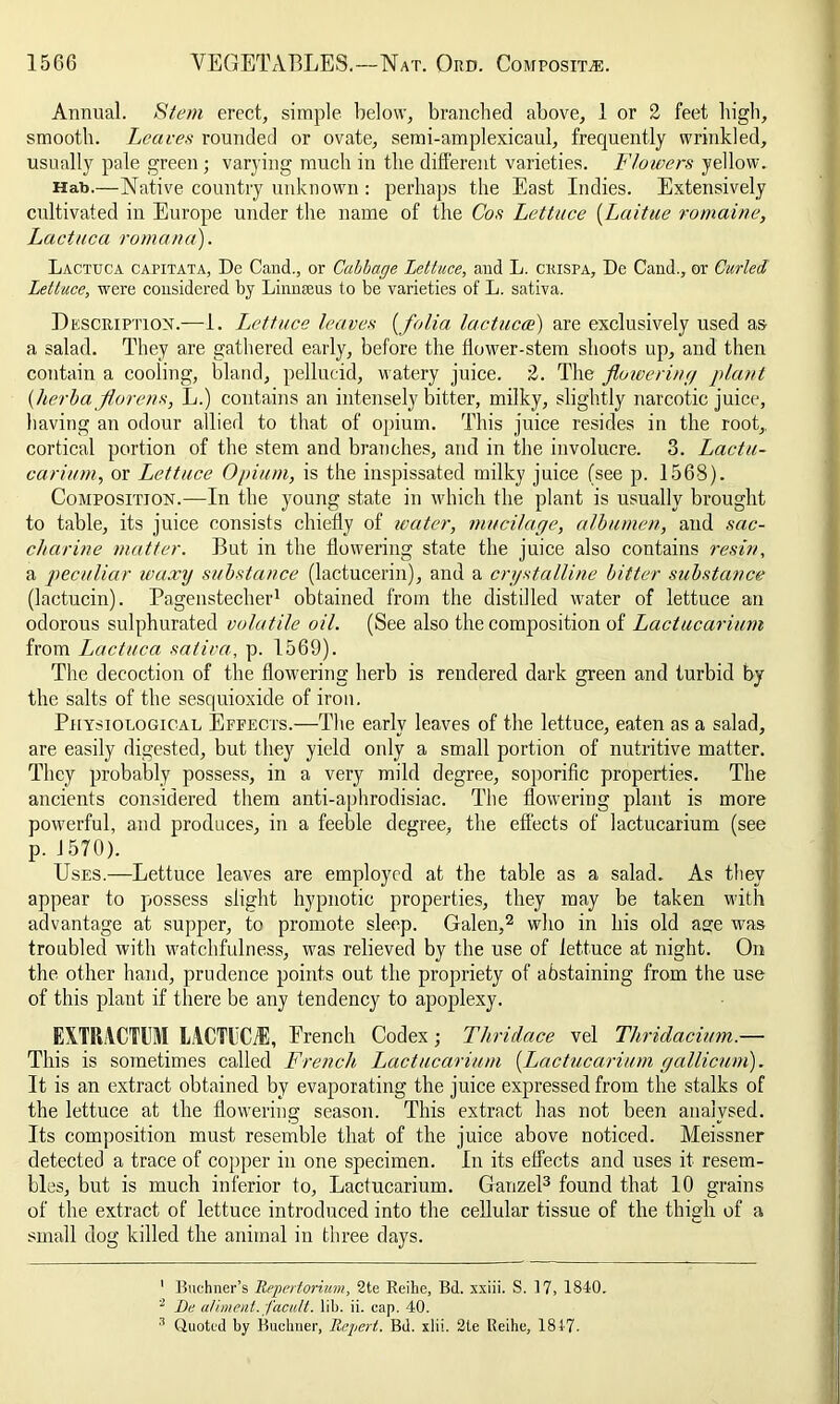 Annual. Stem erect, simple below, branched above, 1 or 2 feet high, smooth. Leaves rounded or ovate, semi-amplexicaul, frequently wrinkled, usually pale green; varying much in the different varieties. Flowers yellow. Hab.—Native country unknown : perhaps the East Indies. Extensively cultivated in Europe under the name of the Cos Lettuce (Laitue romaine, Lactuca romana). Lactuca capitata, De Cand., or Cabbage Lettuce, and L. crista, De Cand., or Curled Lettuce, were considered by Linnaeus to be varieties of L. sativa. Description.—1. Lettuce leaves (folia lactuca) are exclusively used as a salad. They are gathered early, before the flower-stem shoots up, and then contain a cooling, bland, pellucid, watery juice. 2. The flowering plant {herba florens, L.) contains an intensely bitter, milky, slightly narcotic juice, having an odour allied to that of opium. This juice resides in the root,, cortical portion of the stem and branches, and in the involucre. 3. Lactu- carium, or Lettuce Opium, is the inspissated milky juice (see p. 1568). Composition.—In the young state in which the plant is usually brought to table, its juice consists chiefly of water, mucilage, albumen, and sac- charine matter. But in the flowering state the juice also contains resin, a peculiar waxy substance (lactucerin), and a crystalline bitter substance (lactucin). Pagenstecher1 obtained from the distilled waiter of lettuce an odorous sulphurated volatile oil. (See also the composition of Lactucarium from Lactuca sativa, p. 1569). The decoction of the flowering herb is rendered dark green and turbid by the salts of the sesquioxide of iron. Physiological Effects.—The early leaves of the lettuce, eaten as a salad, are easily digested, but they yield only a small portion of nutritive matter. They probably possess, in a very mild degree, soporific properties. The ancients considered them anti-aphrodisiac. The flowering plant is more powerful, and produces, in a feeble degree, the effects of lactucarium (see p. 1570). Uses.—Lettuce leaves are employed at the table as a salad. As they appear to possess slight hypnotic properties, they may be taken with advantage at supper, to promote sleep. Galen,2 who in his old age was troubled with watchfulness, w'as relieved by the use of lettuce at night. On the other hand, prudence points out the propriety of abstaining from the use of this plant if there be any tendency to apoplexy. EXTRACTUM LACTEC.-E, French Codex; Thridace vel Thridacium.— This is sometimes called French Lactucarium (Lactucarium gallicum). It is an extract obtained by evaporating the juice expressed from the stalks of the lettuce at the flowering season. This extract has not been analysed. Its composition must resemble that of the juice above noticed. Meissner detected a trace of copper in one specimen. In its effects and uses it resem- bles, but is much inferior to, Lactucarium. Ganzel3 found that 10 grains of the extract of lettuce introduced into the cellular tissue of the thigh of a small dog killed the animal in three days. 1 Buchner’s Repeat orium, 2te Reihe, Bd. xxiii. S. 17, 1840. 2 Be aliment, facult. lib. ii. cap. 40. 3 Quoted by Buchner, Repert. Bd. xlii. 2te Reihe, 1847.
