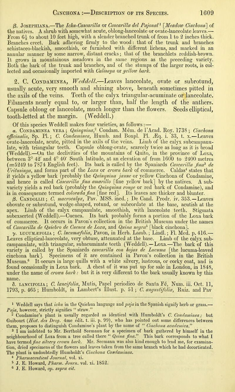 ft. Josefhiana.—The Ichu-Cascarilla or Cascarilla del Pajonal1 [Meadow Cinchona] of the natives. A shrub with somewhat acute, oblong-lanceolate or ovate-lanceolate leaves.— From GJ to about 10 feet high, with a slender branched trunk of from 1 to 2 inches thick. Branches erect. Bark adhering firmly to the wood: that of the trunk and branches schistaeeo-blackish, smoothish, or furnished with different lichens, and marked in an annular manner by some narrow, distant cracks; that of the branchlets reddish-brown. It grows in mountainous meadows in the same regions as the preceding variety. Both the bark of the trunk and branches, and of the stumps of the larger roots, is col- lected aud occasionally imported with Calisaya or yellow baric. 2. C. Condaminea, Weddell.—Leaves lanceolate, ovate or subrotund, usually acute, very smooth and shining above, beneath sometimes pitted in the axils of the veins. Teeth of the calyx triangular-acuminate or lanceolate. Filaments nearly equal to, or larger than, half the length of the anthers. Capsule oblong or lanceolate, much longer than the flowers. Seeds elliptical, tooth-letted at the margin. (Weddell.) Of this species Weddell makes four varieties, as follows: — a. Condaminea vera ; Quinquina,2 3 Condam. Mem. de l’Acad. Roy. 1738 ; Cinchona officinalis, Sp. PI.; C. Condaminea, Humb. and Bonpl. PI. zEq. i. 33, t. x.—Leaves ovate-lanceolate, acute, pitted in the axils of the veins. Limb of the calyx subcampauu- late, with triangular teeth. Capsule oblong-ovate, scarcely twice as long as it is broad (Weddell).—On the declivities of the mountains of Quito, in the province of Loxa, between 3° 42' and 4° 40' South latitude, at an elevation of from 1G00 to 2400 metres (=5249 to 7874 English feet). Its bark is called by the Spaniards Cascarilla fined de Uritusinga, and forms part of the Loxa or crown bark of commerce. Caldas4 5 states that it yields a yellow bark (probably the Quinquina jaune or yellow Cinchona of Condamine, and hence is called Cascarilla fina amarillo [fine yellow bark] by the natives. A sub- variety yields a red bark (probably the Quinquina rouge or red bark of Condamine), and is in consequence termed colorada fina [fine red]. Its leaves are thicker and blunter. ft. Candollii; C. macrocalyx, Pav. MSS. ined.; De Cand. Prodr. iv. 353.—Leaves obovate or subrotund, wedge-shaped, rotund, or subcordate at the base, acutish at the apex. Limb of the calyx campanulate, smoothish, with lanceolate teeth. Stigmata subexserted (Weddell).—Cuenca. Its bark probably forms a portion of the Loxa bark of commerce. It occurs in Pavon’s collection in the British Museum under the names of Cascarilla de Quiebro de Cuenca de Loxa, and Quina negro!1 [black cinchona]. y. lucum/efolia ; C. luciinicefolia, Pavon, in Herb. Lamb.; Liudl.; FI. Med. p. 416.— Leaves elliptical-lanceolate, very obtuse, attenuated at the base. Limb of the calyx sub- campanulate, with triangular, subacuminate teeth (Weddell).—Loxa.—The bark of this variety is called by the Spaniards cascarilla con hojas de Lucuma [the lucuma-leaved cinchona bark]. Specimens of it are contained in Pavon’s collection in the British Museum.6 It occurs in large quills with a white silvery, lustrous, or corky coat, and is found occasionally in Loxa bark. A chest of it was put up for sale in London, in 1848, under the name of croicn bark: but it is very different to the bark usually known by this name. 8. lancifolia; C. lancifolia, Mutis, Papel periodico de Santa F6, Num. iii. Oct. 11, 1793, p. 465 ; Humboldt, in Lambert’s Illust. p. 51; C. angustifolia, Ruiz, and Pav 1 Weddell says that icliu in the Quichua language aud paja in the Spanish signify herb or grass.— Paja, however, strictly signifies “ straw.” 2 Condamine’s plant is usually regarded as identical with Humboldt’s C. Condaminea; but Guibourt {Hist, des JDrog. 4me edit. t. iii. p. 99), who has pointed out some differences between them, proposes to distinguish Condamine’s plant by the name of “ Cinchona academical’ 3 I am indebted to Mr. Berthold Seemaun for a specimen of hark gathered by himself in the neighbourhood of Loxa from a tree called there “ Quina final' This bark corresponds to what I have termedyfiztf silvery crown bark. Mr. Seemann was also kind enough to lend me, for examina- tion, dried specimens of the flowers and leaves taken from the same branch which he had decorticated. The plant is undoubtedly Humboldt’s Cinchona Condaminea. 4 Pharmaceutical Journal, vol. xi. 5 J. E. Howard, Pharm. Journ. vol. xi. 1852. 6 J. E. Howard, op. supra cit.