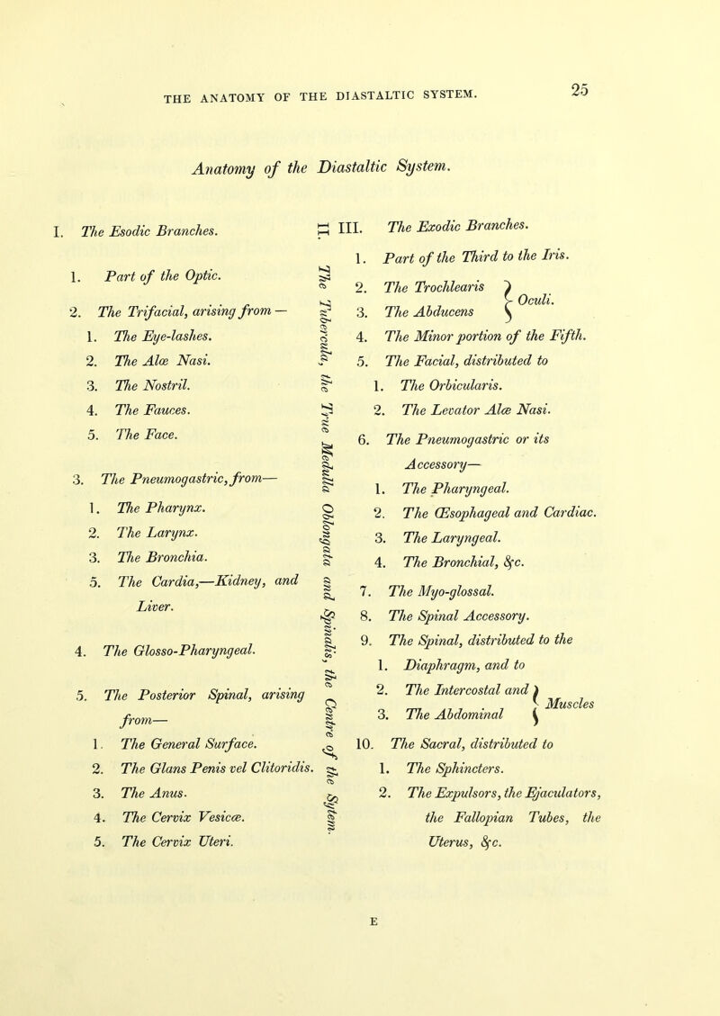 Anatomy of the Diastaltic System. I. The Esodic Branches. K HI. The Exodic Branches. 1. Part of the Third to the Bis. 1. Part of the Optic. 3 2. The Trochlear is 5 Cb 2. The Trifacial, arising from — S? S* > Oculi. 3. The Abducens \ 1. The Eye-lashes. Cb c* £ 4. The Minor portion of the Fifth. 2. The Alee Nasi. jr 5. The Facial, distributed to 3. The Nostril. Cb 1. The Orbicularis. 4. The Fauces. $ 2. The Levator Alee Nasi. 5. The Face. gl 6. The Pneumogastric or its 3. The Pneumogastric,from— Accessory— & 1. The Pharyngeal. 1. The Pharynx. o ©■< 2. The CEsophageal and Cardiac. 2. The Larynx. o' 3. The Laryngeal. 3. The Bronchia. Si Si 4. The Bronchial, 8fc. 5. The Cardia,—Kidney, and Si s Si. 7. The Myo-glossal. Liver. •ip <s>. 8. The Spinal Accessory. 4. The Glosso-Pharyngeal. a 9. The Spinal, distributed to the Si CO 04. Ojk 1. Diaphragm, and to 5. The Posterior Spinal, arising C^> Q 2. The Intercostal and i , Muscles from— c^ $$ 3. The Abdominal ^ 1. The General Surface. Cb It 10. The Sacral, distributed to 2. The Gians Penis vel Clitoridis. 1. The Sphincters. 3. The Anus. 2. The Expulsors, the Ejaculators, 4. The Cervix Vesicoe. Ok Cb g the Fallopian Tubes, the 5. The Cervix Uteri. Uterus, 8fc. E