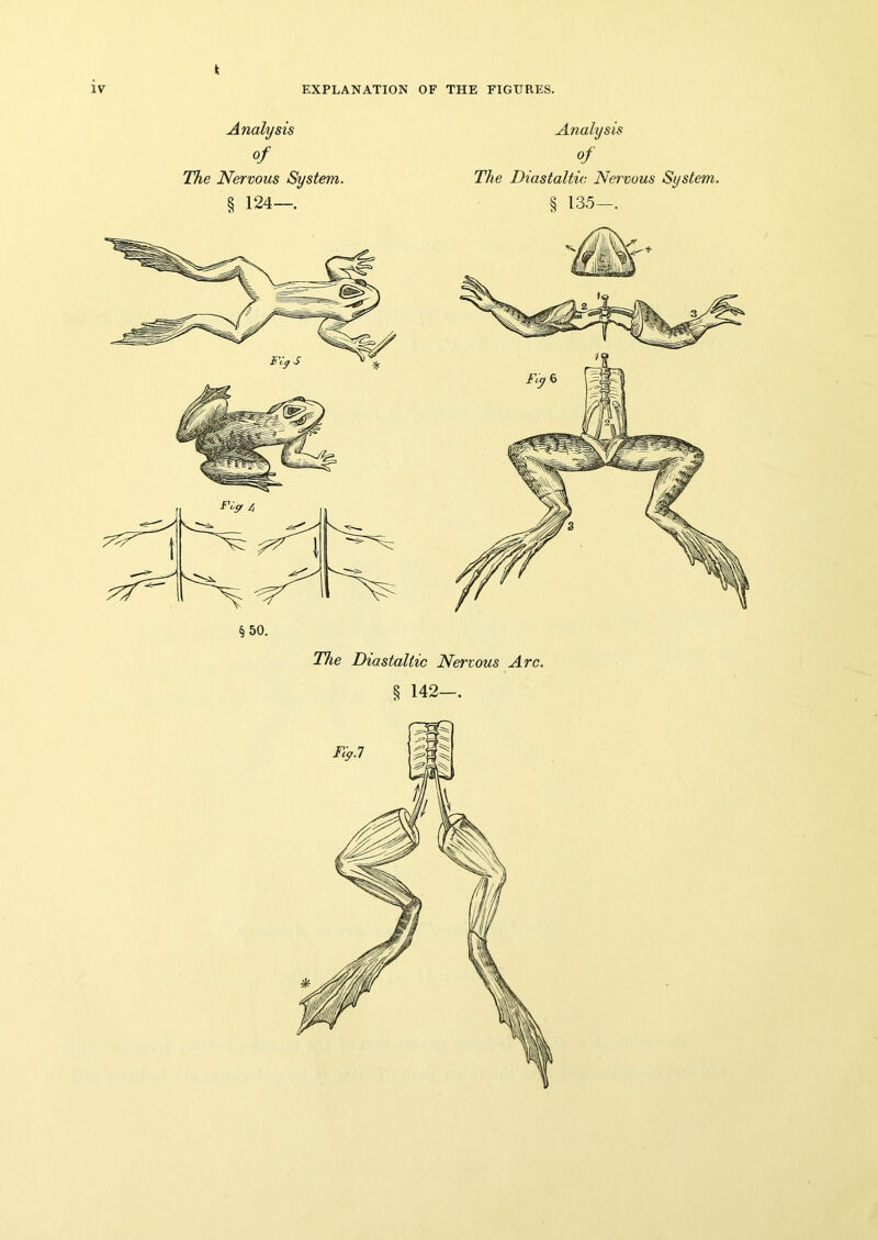 Analysis of The Nervous System. § 124—. Analysis The Diastaltic Nervous System. § 135—. The Diastaltic Nervous Arc. § 142—.