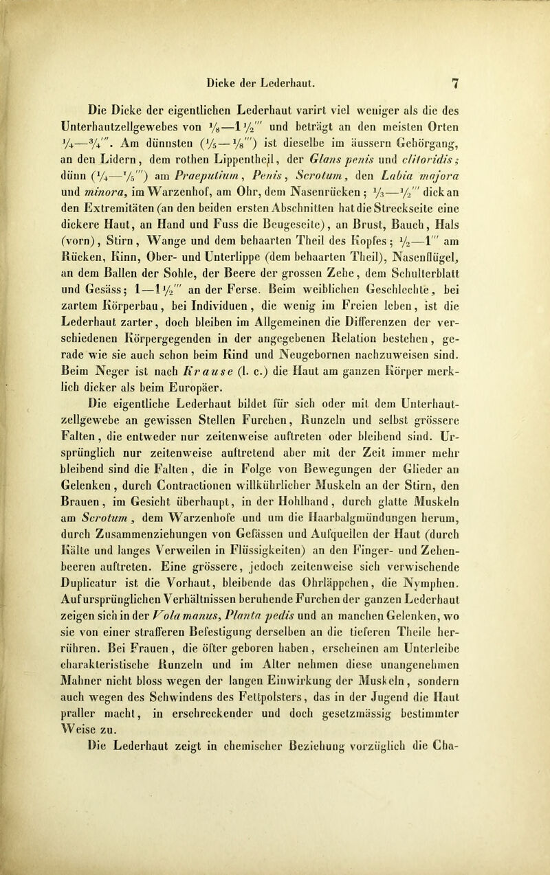 Die Dicke der eigentlichen Lederhaut varirt viel weniger als die des Unterhautzellgewebes von %—ly2' und beträgt an den meisten Orten y*—Am dünnsten (J/5 — Vs' ) ist dieselbe im äussern Gehörgang, an den Lidern, dem rothen Lippenlhejl, der Glans pcnis und cliloridis; dünn O/4.—y5') am Praepulium, Penis, Scrotum, den Labia majora und ininora, im Warzenhof, am Ohr, dem Nasenrücken; y3—y2' dick an den Extremitäten (an den beiden ersten Abschnitten hat die Streckseite eine dickere Haut, an Hand und Fuss die Beugeseite), an Brust, Bauch, Hals (vorn), Stirn, Wange und dem behaarten Theil des Kopfes; y2—1 am Rücken, Kinn, Ober- und Unterlippe (dem behaarten Theil), Nasenflügel, an dem Ballen der Sohle, der Beere der grossen Zehe, dem Schulterblatt und Gesäss; 1—ly/ an der Ferse. Beim weiblichen Geschlcchte, bei zartem Körperbau, bei Individuen , die wenig im Freien leben, ist die Lederhaut zarter, doch bleiben im Allgemeinen die Differenzen der ver- schiedenen Körpergegenden in der angegebenen Relation bestehen, ge- rade wie sie auch schon beim Kind und Neugebornen nachzuweiseu sind. Beim Neger ist nach Krause (1. c.) die Haut am ganzen Körper merk- lich dicker als beim Europäer. Die eigentliche Lederhaut bildet für sich oder mit dem Unterhaut- zellgewebe an gewissen Stellen Furchen, Runzeln und selbst grössere Falten, die entweder nur zeilenweise auflreten oder bleibend sind. Ur- sprünglich nur zeitenweise auftretend aber mit der Zeit immer mehr bleibend sind die Falten, die in Folge von Bewegungen der Glieder an Gelenken , durch Contractionen willkührlicher Muskeln an der Stirn, den Brauen, im Gesicht überhaupt, in der Hohlhand, durch glatte Muskeln am Scrotum, dem Warzenhofe und um die Haarbalgmündungen herum, durch Zusammenziehungen von Gelassen und Aufquellen der Haut (durch Kälte und langes Verweilen in Flüssigkeiten) an den Finger- und Zehen- beeren auftreten. Eine grössere, jedoch zeitenweise sich verwischende Duplicatur ist die Vorhaut, bleibende das Ohrläppchen, die Nymphen. Auf ursprünglichen Verhältnissen beruhende Furchen der ganzen Lederhaul zeigen sich in der Vola manus, Planta pedis und an manchen Gelenken, wo sie von einer strafferen Befestigung derselben an die tieferen Theile her- riihren. Bei Frauen, die öfter geboren haben, erscheinen am Unterleibe charakteristische Runzeln und im Alter nehmen diese unangenehmen Mahner nicht bloss wegen der langen Einwirkung der Muskeln, sondern auch wegen des Schwindens des Fettpolsters, das in der Jugend die Haut praller macht, in erschreckender und doch gesetzmässig bestimmter Weise zu. Die Lederhaut zeigt in chemischer Beziehung vorzüglich die Cha-