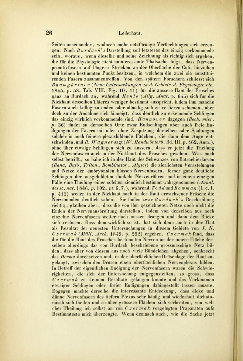 Seiten auseinander, wodurch mehr netzförmige Verflechtungen sich erzeu- gen. Nach Burdach’s Darstellung soll letzteres das einzig vorkommende sein, woraus, wenn dieselbe und seine Zeichnung als richtig sich ergeben, die für die Physiologie nicht uninteressante Thatsache folgt, dass Nerven- primitivfasern auf langem Strecken an der Oberfläche der Cutis hinziehen und keinen bestimmten Punkt besitzen, in welchem die zwei sie constitui- renden Fasern Zusammentreffen. Von den spätem Forschern schliesst sich Baumgartner (Neue Untersuchungen in d. Gebiete d. Physiologie etc. 1845, p. 58, Tab. VIII. Fig. 10, 11) für die äussere Haut des Frosches ganz an Burdach an, während Heule (Al/g. Anat. p. 645) sich für die Nickhaut desselben Thieres weniger bestimmt ausspricht, indem ihm manche Fasern auch kolbig zu enden oder allmülig sich zu verlieren schienen , aber doch zu der Annahme sich hinneigt, dass deutlich zu erkennende Schlingen das einzig wirklich vorkommende sind. Hannover dagegen (Rech, jnicr. p. 36) findet an demselben Orte zwar Endschlingen aber auch freie En- digungen der Fasern mit oder ohne Zuspitzung derselben oder Spaltungen solcher in noch feinere plexusbildende Fädchen, die dann dem Auge ent- schwinden, und R. Wagn er sagt (W. Handwörterb. Bd. III. p. 462, Anm.), ohne über etwaige Schlingen sich zu äussern, dass er jetzt die Theilung der Nervenfasern auch in der Nickhaut des Frosches gesehen. Was mich selbst betrifft, so habe ich in der Haut des Schwanzes von Batrachierlarven (Rana, Rufo, Triton , Bombinator, Alytes) die zierlichsten Verästelungen und Netze der embryonalen blassen Nervenfasern, ferner ganz deutliche Schlingen der ausgebildeten dunkeln Nervenröhren und in einem einzigen Falle eine Theilung einer solchen ziemlich bestimmt wahrgenommen (Annal. dessc.nat. 1846, /z. 102, pl. 6.7.), während To dr/und R o w m a n (I. c. I. p. 411) weder in der Nickhaut noch in der Haut erwachsener Frösche die Nervenenden deutlich sahen. Sie finden zwar Burdach's Beschreibung richtig, glauben aber, dass die von ihm gezeichneten Netze noch nicht die Enden der Nervenausbreitung darstellen , indem von denselben aus noch einzelne Nervenfasern weiter nach aussen drangen und dann dem Blicke sich verloren. Dass dem wirklich so ist, hat sich denn auch in der Thal als Resultat der neuesten Untersuchungen in diesem Gebiete von ./. N. Czermak {Müll. Ar eh. 1849. p. 252) ergeben. Czermak fand, dass die für die Haut des Frosches bestimmten Nerven an der innern Fläche der- selben allerdings das von Burdach beschriebene grossmaschigc Netz bil- den , dass aber von diesem aus noch viele Biindelchen abgehen , senkrecht das Derma durchsetzen und, in der oberflächlichen Drüsenlage der Haut an- gelangt, zwischen den Drüsen einen oberflächlichen Ncrvenplexus bilden. In Betreff der eigentlichen Endigung der Nervenfasern waren die Schwie- rigkeiten , die sich der Untersuchung entgcgenstelltcn, so gross, dass Czermak zu keinem Resultate gelangen konnte und das Vorkommen etwaiger Schlingen oder freier Endigungen dahingestellt lassen musste. Dagegen machte derselbe die interessante Entdeckung, dass dicke und dünne Nervenfasern des liefern Plexus sehr häufig und wiederholt dicboto- misch sich theilen und so über grössere Flächen sich verbreiten, von wel- cher Theilung ich selbst an von Czermak vorgclegtcn Präparaten aufs Bestimmteste mich überzeugte. Wenn demnach auch, wie die Sache jetzt