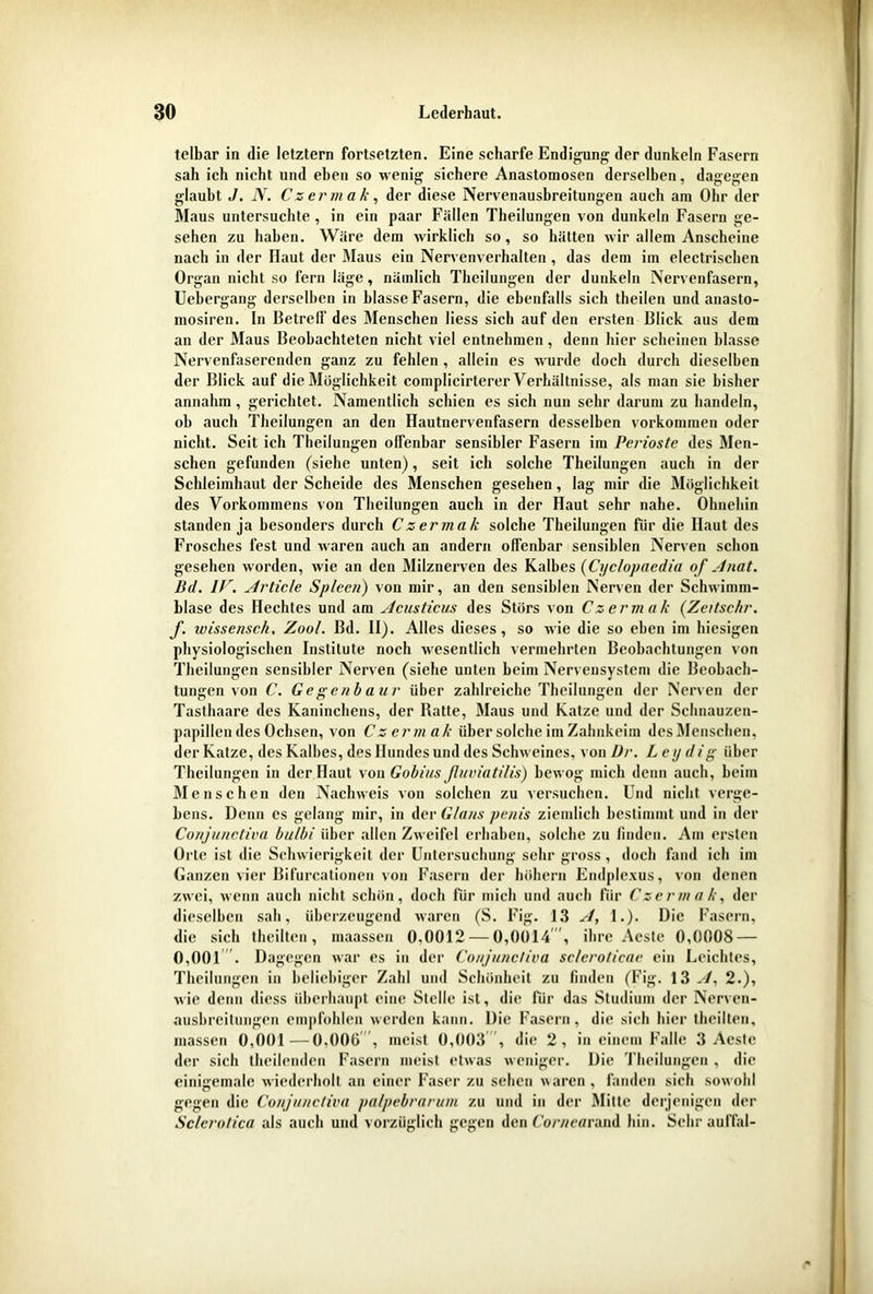 telbar in die letztem fortsetzten. Eine scharfe Endigung der dunkeln Fasern sah ich nicht und eben so wenig sichere Anastomosen derselben, dagegen glaubt J. N. Czermak, der diese Nervenausbreitungen auch am Ohr der Maus untersuchte , in ein paar Fällen Theilungen von dunkeln Fasern ge- sehen zu haben. Wäre dem wirklich so, so hätten wir allem Anscheine nach in der Haut der Maus ein Nervenverhalten , das dem im electrischen Organ nicht so fern läge, nämlich Theilungen der dunkeln Nervenfasern, Uebergang derselben in blasse Fasern, die ebenfalls sich theilen und auasto- mosiren. ln Betreff des Menschen liess sich auf den ersten Blick aus dem an der Maus Beobachteten nicht viel entnehmen, denn hier scheinen blasse Nervenfaserenden ganz zu fehlen , allein es wurde doch durch dieselben der Blick auf die Möglichkeit complicirterer Verhältnisse, als man sie bisher annahm, gerichtet. Namentlich schien es sich nun sehr darum zu handeln, ob auch Theilungen an den Hautnervenfasern desselben Vorkommen oder nicht. Seit ich Theilungen offenbar sensibler Fasern im Perioste des Men- schen gefunden (siehe unten), seit ich solche Theilungen auch in der Schleimhaut der Scheide des Menschen gesehen, big mir die Möglichkeit des Vorkommens von Theilungen auch in der Haut sehr nahe. Ohnehin standen ja besonders durch Czermak solche Theilungen fiir die Haut des Frosches fest und waren auch an andern offenbar sensiblen Nerven schon gesehen worden, wie an den Milznerven des Kalbes (Cyc/opaedia of Anat. Bd. 1F. Article Spleen) von mir, an den sensiblen Nerven der Schwimm- blase des Hechtes und am Acusticus des Störs von Czermak (Zeitsc/ir. f. wissensch. Zool. Bd. II). Alles dieses , so wie die so eben im hiesigen physiologischen Institute noch wesentlich vermehrten Beobachtungen von Theilungen sensibler Nerven (siehe unten beim Nervensystem die Beobach- tungen von C. Gegenbaur über zahlreiche Theilungen der Nerven der Tasthaare des Kaninchens, der Ratte, Maus und Katze und der Schnauzen- papillen des Ochsen, von Czermak über solche im Zahnkeim desMenschen, der Katze, des Kalbes, des Hundes und des Schweines, von ür. L cydig über Theilungen in der Haut von Gobiusßuviatilis) bewog mich denn auch, beim Menschen den Nachweis von solchen zu versuchen. Und nicht verge- bens. Denn es gelang mir, in der Glans penis ziemlich bestimmt und in der Conjunctiva bulbi über allen Zweifel erhaben, solche zu finden. Am ersten Orte ist die Schwierigkeit der Untersuchung sehr gross, doch fand ich im Ganzen vier Bifurcationen von Fasern der höhern Endplexus, von denen zwei, wenn auch nicht schön, doch für mich und auch für Czermak, der dieselben sah, überzeugend waren (S. Fig. 13 A, 1.). Die Fasern, die sich theilten, maassen 0.0012 — 0,0014 , ihre Aeste 0,0008 — 0,001 . Dagegen war es in der Conjunctiva sc/eroticae ein Leichtes, Theilungen in beliebiger Zahl und Schönheit zu linden (Fig. 13 A, 2.), wie denn diess überhaupt eine Stelle ist, die für das Studium der Nerven- ausbreitungen empfohlen werden kann. Die Fasern, die sich hier theilten, massen 0,001—0,006 , meist 0,003 , die 2, in einem Falle 3 Aeste der sich theilcnden Fasern meist etwas weniger. Die Theilungen , die einigemale wiederholt an einer Faser zu sehen waren , fanden sich sowohl gegen die Conjunctiva palpebrarum zu und in der Mitte derjenigen der Sc/erotica als auch und vorzüglich gegen den Cornearund hin. Sehr aulfal-