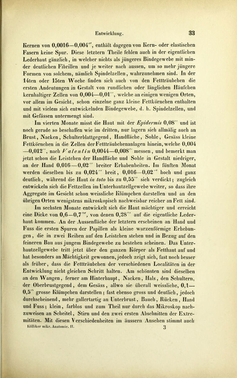 Entwicklung. 3 3 Kernen von 0,0016—0,004 , enthält dagegen von Kern- oder elastischen Fasern keine Spur. Diese letztem Theile fehlen auch in der eigentlichen Lederhaut gänzlich, in welcher nichts als jüngeres Bindegewebe mit min- der deutlichen Fibrillen und je weiter nach aussen, um so mehr jüngere Formen von solchem, nämlich Spindelzellen, wahrzunehmen sind. In der 14ten oder löten Woche finden sich auch von den Fettträubchen die ersten Andeutungen in Gestalt von rundlichen oder länglichen Häufchen kernhaltiger Zellen von 0,004—0,01', welche an einigen wenigen Orten, vor allem im Gesicht, schon einzelne ganz kleine Fettkörnchen enthalten und mit vielem sich entwickelnden Bindegewebe, d. h. Spindelzellen, und mit Gefässen untermengt sind. Im vierten Monate misst die Haut mit der Epidermis 0,08  und ist noch gerade so beschaffen wie im dritten, nur lagern sich allmälig auch an Brust, Nacken, Schulterblattgegend , Handfläche, Sohle , Gesäss kleine Fetlkörnchen in die Zellen derFettträubchenanlagen hinein, welche 0,004 —0,012, nach Valentin 0,0044—0,008 messen, und bemerkt man jetzt schon die Leistchen der Handfläche und Sohle in Gestalt niedriger, an der Hand 0,016—0,02' breiter Erhabenheiten. Im fünften Monat werden dieselben bis zu 0,024  breit, 0,016—0,02  hoch und ganz deutlich, während die Haut in toto bis zu 0,55 sich verdickt; zugleich entwickeln sich die Fettzellen im Unterhautzellgewebe weiter, so dass ihre Aggregate im Gesicht schon weissliche Klümpchen darstellen und an den übrigen Orten wenigstens mikroskopisch nachweisbar reicher an Fett sind. Im sechsten Monate entwickelt sich die Haut mächtiger und erreicht eine Dicke von 0,6-0,7', von denen 0,28 auf die eigentliche Leder- haut kommen. An der Aussenfläche der letztem erscheinen an Hand und Fuss die ersten Spuren der Papillen als kleine warzenförmige Erhebun- gen , die in zwei Reihen auf den Leistchen stehen und in Bezug auf den feineren Bau aus jungem Bindegewebe zu bestehen scheinen. Das Unter- hautzellgewebe tritt jetzt über den ganzen Körper als Fetthaut auf und hat besonders an Mächtigkeit gewonnen, jedoch zeigt sich, fast noch besser als früher, dass die Fettträubchen der verschiedenen Localitäten in der Entwicklung nicht gleichen Schritt halten. Am schönsten sind dieselben an den Wangen, ferner am Hinterhaupt, Nacken, Hals, den Schultern, der Oberbrustgegend, dem Gesäss, allwo sie überall weissliche, 0,1— 0,5 grosse Klümpchen darstellen; fast ebenso gross und deutlich, jedoch durchscheinend, mehr gallertartig an Unterbrust, Bauch, Rücken, Hand und Fass; klein, farblos und zum Theil nur durch das Mikroskop nach- zuweisen an Scheitel, Stirn und den zwei ersten Abschnitten der Extre- mitäten. Mit diesen Verschiedenheiten im äussern Ansehen stimmt auch