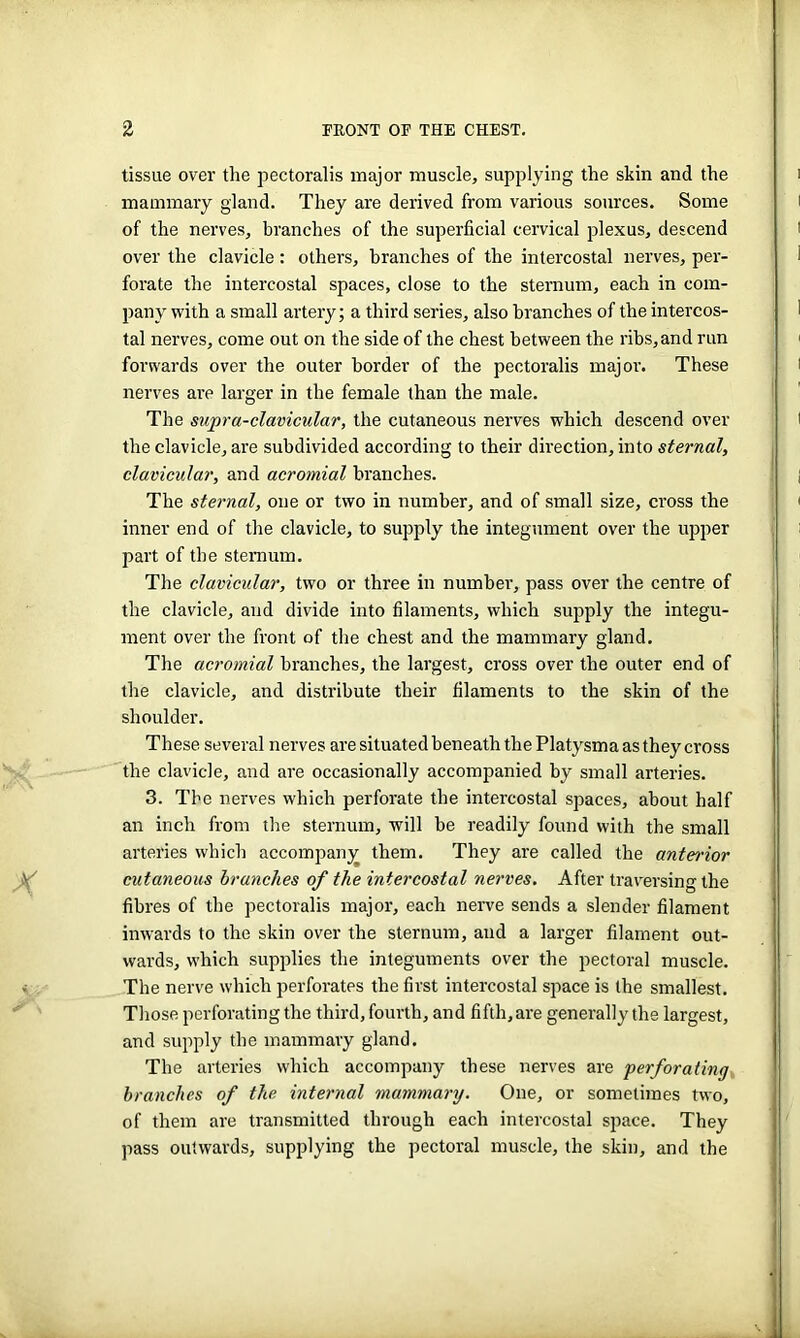 tissue over the pectoralis major muscle, supplying the skin and the mammary gland. They are derived from various sources. Some of the nerves, branches of the superficial cervical plexus, descend over the clavicle: others, branches of the intercostal nerves, per- forate the intercostal spaces, close to the sternum, each in com- pany with a small artery; a third series, also branches of the intercos- tal nerves, come out on the side of the chest between the ribs,and run forwards over the outer border of the pectoralis major. These nerves are larger in the female than the male. The supra-clavicular, the cutaneous nerves which descend over the clavicle, are subdivided according to their direction, into sternal, clavicular, and acromial branches. The sternal, one or two in number, and of small size, cross the inner end of the clavicle, to supply the integument over the upper part of the sternum. The clavicular, two or three in number, pass over the centre of the clavicle, and divide into filaments, which supply the integu- ment over the front of the chest and the mammary gland. The acromial branches, the largest, cross over the outer end of the clavicle, and distribute their filaments to the skin of the shoulder. These several nerves are situated beneath the Platysma as they cross the clavicle, and are occasionally accompanied by small arteries. 3. The nerves which perforate the intercostal spaces, about half an inch from the sternum, will be readily found with the small arteries which accompany them. They are called the anterior cutaneous brunches of the intercostal nerves. After traversing the fibres of the pectoralis major, each nerve sends a slender filament inwards to the skin over the sternum, and a larger filament out- wards, which supplies the integuments over the pectoral muscle. The nerve which perforates the first intercostal space is the smallest. Those perforating the third, fourth, and fifth,are generally the largest, and supply the mammary gland. The arteries which accompany these nerves are perforating branches of the internal mammary. One, or sometimes two, of them are transmitted through each intercostal space. They pass outwards, supplying the pectoral muscle, the skin, and the