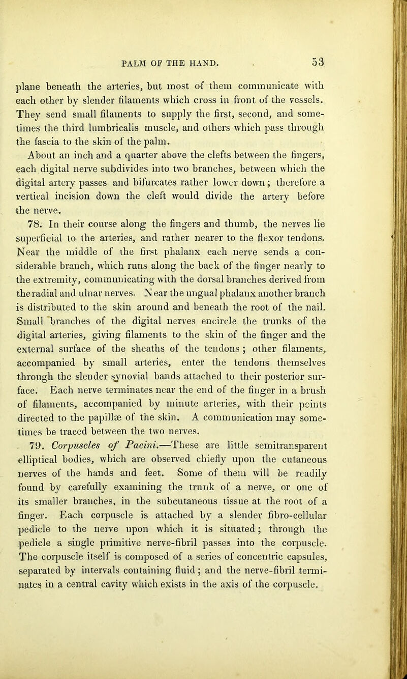 plane beneath the arteries, but most of them communicate with each other by slender filaments which cross in front of the vessels. They send small filaments to supply the first, second, and some- times the third lumbricalis muscle, and others which pass through the fascia to the skin of the palm. About an inch and a quarter above the clefts between the fingers, each digital nerve subdivides into two branches, between which the digital artery passes and bifurcates rather lower down; therefore a vertical incision down the cleft would divide the artery before the nerve. 78. In their course along the fingers and thumb, the nerves lie superficial to the arteries, and rather nearer to the flexor tendons. Near the middle of the first phalanx each nerve sends a con- siderable branch, which runs along the back of the finger nearly to the extremity, communicating with the dorsal branches derived from the radial and ulnar nerves- N ear the ungual phalanx another branch is distributed to the skin around and beneath the root of the nail. Small 'branches of the digital nerves encircle the trunks of the digital arteries, giving filaments to the skin of the finger and the external surface of the sheaths of the tendons ; other filaments, accompanied by small arteries, enter the tendons themselves through the slender synovial bands attached to their posterior sur- face. Each nerve terminates near the end of the finger in a brush of filaments, accompanied by minute arteries, with their points directed to the papillae of the skin. A communication may some- times be traced between the two nerves. 79. Corpuscles of Pacini.—These are little semitransparent elliptical bodies, which are observed chiefly upon the cutaneous nerves of the hands and feet. Some of them will be readily found by carefully examining the trunk of a nerve, or one of its smaller branches, in the subcutaneous tissue at the root of a finger. Each corpuscle is attached by a slender fibro-cellular pedicle to the nerve upon which it is situated; through the pedicle a single primitive nerve-fibril passes into the corpuscle. The corpuscle itself is composed of a series of concentric capsules, separated by intervals containing fluid; and the nerve-fibril termi- nates in a central cavity which exists in the axis of the corpuscle.
