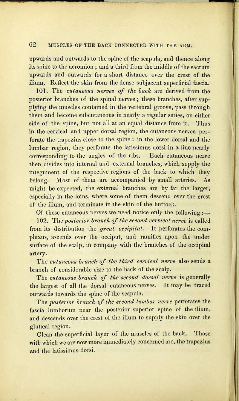 upwards and outwards to the spine of the scapula, and thence along its spine to the acromion ; and a third from the middle of the sacrum upwards and outwards for a short distance over the crest of the ilium. Reflect the shin from the dense subjacent superficial fascia. 101. The cutaneous nerves of the back are derived from the posterior branches of the spinal nerves; these branches, after sup- plying the muscles contained in the vertebral groove, pass through them and become subcutaneous in nearly a regular series, on either side of the spine, but not all at an equal distance from it. Thus in the cervical and upper dorsal region, the cutaneous nerves per- forate the trapezius close to the spine : in the lower dorsal and the lumbar region, they perforate the latissimus dorsi in a line nearly corresponding to the angles of the ribs. Each cutaneous nerve then divides into internal and external branches, which supply the integument of the respective regions of the back to which they belong. Most of them are accompanied by small arteries. As might be expected, the external branches are by far the larger, especially in the loins, where some of them descend over the crest of the ilium, and terminate in the skin of the buttock. Of these cutaneous nerves we need notice only the following:— 102. The posterior branch of the second cervical nerve is called from its distribution the great occipital. It perforates the corn- plexus, ascends over the occiput, and ramifies upon the under surface of the scalp, in company with the branches of the occipital artery. The cutaneous branch of the third cervical nerve also sends a branch of considerable size to the back of the scalp. The cutaneous branch of the second dorsal nerve is generally the largest of all the dorsal cutaneous nerves. 11 may be traced outwards towards the spine of the scapula. The posterior branch of the second lumbar nerve perforates the fascia lumborum near the posterior superior spine of the ilium, and descends over the crest of the ilium to supply the skin over the glut seal region. Clean the superficial layer of the muscles of the back. Those with which we are now more immediately concerned ate, the trapezius and the latissimus dorsi.