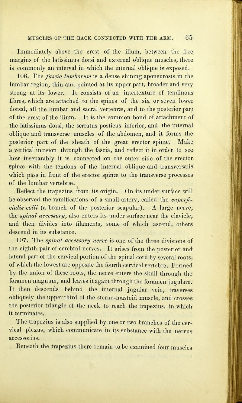 Immediately above the crest of the ilium, between the free margins of the latissimus dorsi and external oblique muscles, there is commonly an interval in which the internal oblique is exposed. 106. The fascia lumborum is a dense shining aponeurosis in the lumbar region, thin and pointed at its upper part, broader and very strong at its lower. It consists of an intertexture of tendinous fibres, which are attached to the spines of the six or seven lower dorsal, all the lumbar and sacral vertebrae, and to the posterior part of the crest of the ilium. It is the common bond of attachment of the latissimus dorsi, the serratus posticus inferior, and the internal oblique and transverse muscles of the abdomen, and it forms the posterior part of the sheath of the great erector spinse. Make a vertical incision through the fascia, and reflect it in order to see how inseparably it is connected on the outer side of the erector spinse with the tendons of the internal oblique and transversalis which pass in front of the erector spinae to the transverse processes of the lumbar vertebrae. Reflect the trapezius from its origin. On its under surface will be observed the ramifications of a small artery, called the superfi- cialis colli (a branch of the posterior scapular). A large nerve, the spinal accessory, also enters its under surface near the clavicle, and then divides into filaments, some of which ascend, others descend in its substance. 107. The spinal accessory nerve is one of the three divisions of the eighth pair of cerebral nerves. It arises from the posterior and lateral part of the cervical portion of the spinal cord by several roots, of which the lowest are opposite the fourth cervical vertebra. Formed by the union of these roots, the nerve enters the skull through the foramen magnum, and leaves it again through the foramen jngulare. It then descends behind the internal jugular vein, traverses obliquely the upper third of the sterno-mastoid muscle, and crosses the posterior triangle of the neck to reach the trapezius, in which it terminates. The trapezius is also supplied by one or two branches of the cer- vical plexus, which communicate in its substance with the nervus accessorius. Beneath the trapezius there remain to be examined four muscles