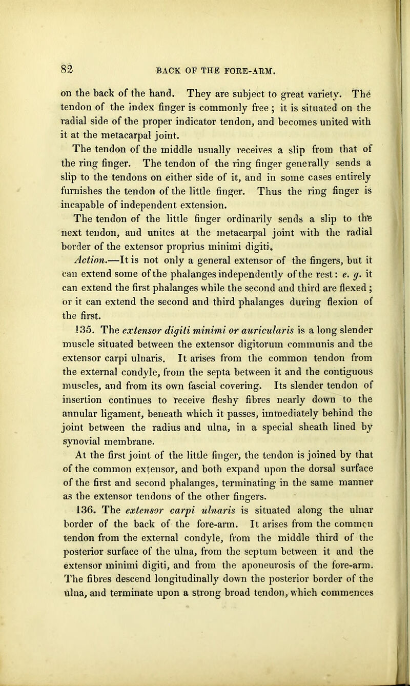 on the back of the hand. They are subject to great variety. The tendon of the index finger is commonly free ; it is situated on the radial side of the proper indicator tendon, and becomes united with it at the metacarpal joint. The tendon of the middle usually receives a slip from that of the ring finger. The tendon of the ring finger generally sends a slip to the tendons on either side of it, and in some cases entirely furnishes the tendon of the little finger. Thus the ring finger is incapable of independent extension. The tendon of the little finger ordinarily sends a slip to thte next tendon, and unites at the metacarpal joint with the radial border of the extensor proprius minimi digiti. Action.—It is not only a general extensor of the fingers, but it can extend some of the phalanges independently of the rest: e. g. it can extend the first phalanges while the second and third are flexed ; or it can extend the second and third phalanges during flexion of the first. 135. The extensor digiti minimi or auricularis is a long slender muscle situated between the extensor digitorum communis and the extensor carpi ulnaris. It arises from the common tendon from the external condyle, from the septa between it and the contiguous muscles, and from its own fascial covering. Its slender tendon of insertion continues to receive fleshy fibres nearly down to the annular ligament, beneath which it passes, immediately behind the joint between the radius and ulna, in a special sheath lined by synovial membrane. At the first joint of the little finger, the tendon is joined by that of the common extensor, and both expand upon the dorsal surface of the first and second phalanges, terminating in the same manner as the extensor tendons of the other fingers. 136. The extensor carpi ulnaris is situated along the ulnar border of the back of the fore-arm. It arises from the common tendon from the external condyle, from the middle third of the posterior surface of the ulna, from the septum between it and the extensor minimi digiti, and from the aponeurosis of the fore-arm. The fibres descend longitudinally down the posterior border of the ulna, and terminate upon a strong broad tendon, which commences