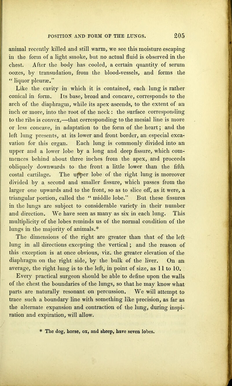 animal recently killed and still warm, we see this moisture escaping in the form of a light smoke, but no actual fluid is observed in the chest. After the body has cooled, a certain quantity of serum oozes, by transudation, from the blood-vessels, and forms the “ liquor pleurae.” Like the cavity in which it is contained, each lung is rather conical in form. Its base, broad and concave, corresponds to the arch of the diaphragm, while its apex ascends, to the extent of an inch or more, into the root of the neck : the surface corresponding to the ribs is convex,—that corresponding to the mesial line is more or less concave, in adaptation to the form of the heart; and the left lung presents, at its lower and front border, an especial exca- vation for this organ. Each lung is commonly divided into an upper and a lower lobe by a long and deep fissure, which com- mences behind about three inches from the apex, and proceeds obliquely downwards to the front a little lower than the fifth costal cartilage. The upper lobe of the right lung is moreover divided by a second and smaller fissure, which passes from the larger one upwards and to the front, so as to slice off, as it were, a triangular portion, called the “ middle lobe.” But these fissures in the lungs are subject to considerable variety in their number and direction. We have seen as many as six in each lung. This multiplicity of the lobes reminds us of the normal condition of the lungs in the majority of animals.* The dimensions of the right are greater than that of the left lung in all directions excepting the vertical; and the reason of this exception is at once obvious, viz. the greater elevation of the diaphragm on the right side, by the bulk of the liver. On an average, the right lung is to the left, in point of size, as 11 to 10. Every practical surgeon should be able to define upon the walls of the chest the boundaries of the lungs, so that he may know what parts are naturally resonant on percussion. We will attempt to trace such a boundary line with something like precision, as far as the alternate expansion and contraction of the lung, during inspi- ration and expiration, will allow. * The dog, horse, ox, and sheep, have seven lobes.