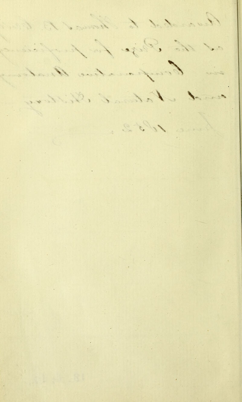 \ \ , w N V N rs Y\ \ \ X \x 'v . 4 V .V > % \ - \ <» \\