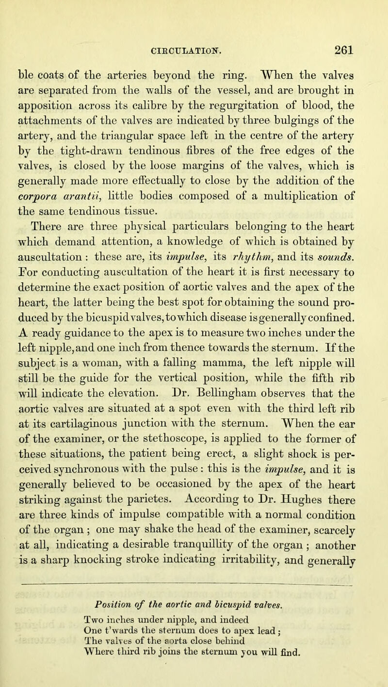 ble coats of the arteries beyond the ring. When the valves are separated from the walls of the vessel, and are brought in apposition across its calibre by the regurgitation of blood, the attachments of the valves are indicated by three bulgings of the artery, and the triangular space left in the centre of the artery by the tight-drawn tendinous fibres of the free edges of the valves, is closed by the loose margins of the valves, which is generally made more effectually to close by the addition of the corpora arantii, little bodies composed of a multiplication of the same tendinous tissue. There are three physical particulars belonging to the heart which demand attention, a knowledge of which is obtained by auscultation : these are, its impulse, its rhythm, and its sounds. For conducting auscultation of the heart it is first necessary to determine the exact position of aortic valves and the apex of the heart, the latter being the best spot for obtaining the sound pro- duced by the bicuspid valves, to which disease is generally confined. A ready guidance to the apex is to measure two inches under the left nipple, and one inch from thence towards the sternum. If the subject is a woman, with a falling mamma, the left nipple will still be the guide for the vertical position, while the fifth rib will indicate the elevation. Dr. Bellingham observes that the aortic valves are situated at a spot even with the third left rib at its cartilaginous junction with the sternum. When the ear of the examiner, or the stethoscope, is applied to the former of these situations, the patient being erect, a slight shock is per- ceived synchronous with the pulse: this is the impulse, and it is generally believed to be occasioned by the apex of the heart striking against the parietes. According to Dr. Hughes there are three kinds of impulse compatible with a normal condition of the organ ; one may shake the head of the examiner, scarcely at all, indicating a desirable tranquillity of the organ ; another is a sharp knocking stroke indicating irritability, and generally Position of the aortic and bicuspid valves. Two inches under nipple, and indeed One t’wards the sternum does to apex lead; The valves of the aorta close behind Where third rib joins the sternum you will find.