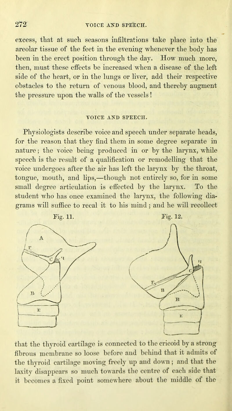 excess, that at such seasons infiltrations take place into the areolar tissue of the feet in the evening whenever the body has been in the erect position through the day. How much more, then, must these effects he increased when a disease of the left side of the heart, or in the lungs or liver, add their respective obstacles to the return of venous blood, and thereby augment the pressure upon the walls of the vessels! VOICE AND SPEECH. Physiologists describe voice and speech under separate heads, for the reason that they find them in some degree separate in nature; the voice being produced in or by the larynx, while speech is the result of a qualification or remodelling that the voice undergoes after the air has left the larynx by the throat, tongue, mouth, and bps,—though not entirely so, for in some small degree articulation is effected by the larynx. To the student who has once examined the larynx, the following dia- grams will suffice to recal it to his mind ; and he will recollect that the thyroid cartilage is connected to the cricoid by a strong fibrous membrane so loose before and behind that it admits of the thyroid cartilage moving freely up and down ; and that the laxity disappears so much towards the centre of each side that it becomes a fixed point somewhere about the middle of the