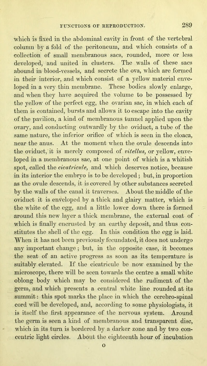 which is fixed in the abdominal cavity in front of the vertebral column by a fold of the peritoneum, and which consists of a collection of small membranous sacs, rounded, more or less developed, and united in clusters. The walls of these sacs abound in blood-vessels, and secrete the ova, which are formed in their interior, and which consist of a yellow material enve- loped in a very thin membrane. These bodies slowly enlarge, and when they have acquired the volume to be possessed by the yellow of the perfect egg, the ovarian sac, in which each of them is contained, bursts and allows it to escape into the cavity of the pavilion, a kind of membranous tunnel applied upon the ovary, and conducting outwardly by the oviduct, a tube of the same nature, the inferior orifice of which is seen in the cloaca, near the anus. At the moment when the ovule descends into the oviduct, it is merely composed of vitellus, or yellow, enve- loped in a membranous sac, at one point of which is a whitish spot, called the cicatricule, and which deserves notice, because in its interior the embryo is to be developed; but, in proportion as the ovule descends, it is covered by other substances secreted by the walls of the canal it traverses. About the middle of the oviduct it is enveloped by a thick and glairy matter, which is the white of the egg, and a little lower down there is formed around this new layer a thick membrane, the external coat of which is finally encrusted by an earthy deposit, and thus con- stitutes the shell of the egg. In this condition the egg is laid. When it has not been previously fecundated, it does not undergo any important change ; but, in the opposite case, it becomes the seat of an active progress as soon as its temperature is suitably elevated. If the cicatricule be now examined by the microscope, there will be seen towards the centre a small white oblong body which may be considered the rudiment of the germ, and which presents a central white line rounded at its summit: this spot marks the place in which the cerebro-spinal cord will be developed, and, according to some physiologists, it is itself the first appearance of the nervous system. Around the germ is seen a kind of membranous and transparent disc, which in its turn is bordered by a darker zone and by two con- centric light circles. About the eighteenth hour of incubation