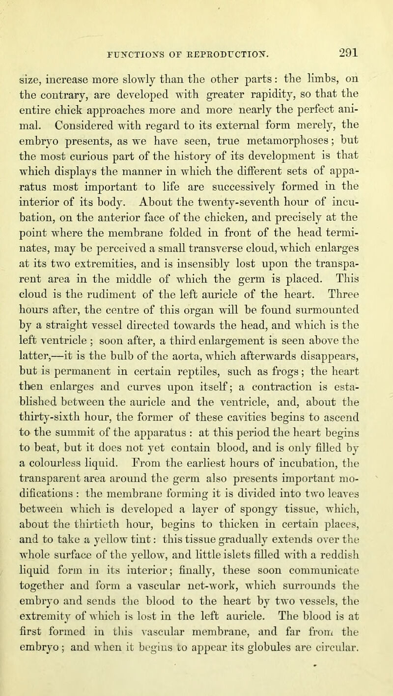 size, increase more slowly than the other parts: the limbs, on the contrary, are developed with greater rapidity, so that the entire chick approaches more and more nearly the perfect ani- mal. Considered with regard to its external form merely, the embryo presents, as we have seen, true metamorphoses; but the most curious part of the history of its development is that which displays the manner in which the different sets of appa- ratus most important to life are successively formed in the interior of its body. About the twenty-seventh hour of incu- bation, on the anterior face of the chicken, and precisely at the point where the membrane folded in front of the head termi- nates, may be perceived a small transverse cloud, which enlarges at its two extremities, and is insensibly lost upon the transpa- rent area in the middle of which the germ is placed. This cloud is the rudiment of the left auricle of the heart. Three hours after, the centre of this organ will be found surmounted by a straight vessel directed towards the head, and which is the left ventricle ; soon after, a third enlargement is seen above the latter,—it is the bulb of the aorta, which afterwards disappears, but is permanent in certain reptiles, such as frogs; the heart then enlarges and curves upon itself; a contraction is esta- blished between the auricle and the ventricle, and, about the thirty-sixth hour, the former of these cavities begins to ascend to the summit of the apparatus : at this period the heart begins to beat, but it does not yet contain blood, and is only filled by a colourless liquid. From the earliest hours of incubation, the transparent area around the germ also presents important mo- difications : the membrane forming it is divided into two leaves between which is developed a layer of spongy tissue, which, about the thirtieth hour, begins to thicken in certain places, and to take a yellow tint: this tissue gradually extends over the whole surface of the yellow, and little islets filled with a reddish liquid form in its interior; finally, these soon communicate together and form a vascular net-work, which surrounds the embryo and sends the blood to the heart by two vessels, the extremity of which is lost in the left auricle. The blood is at first formed in this vascular membrane, and far from the embryo; and when it begins Lo appear its globules are circular.