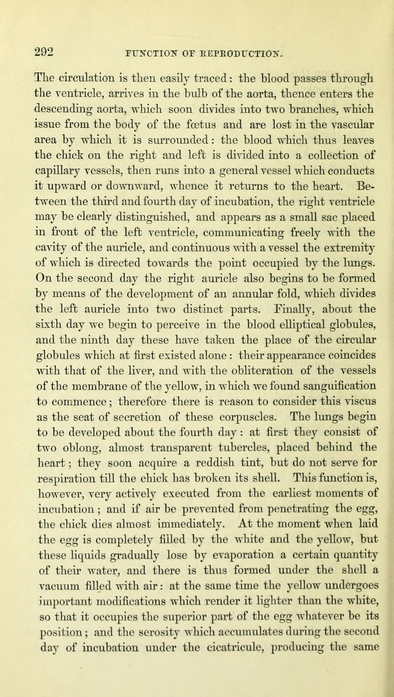 Tlie circulation is tlien easily traced: the blood passes through the ventricle, arrives in the bulb of the aorta, thence enters the descending aorta, which soon divides into two branches, which issue from the body of the fcetus and are lost in the vascular area by which it is surrounded: the blood which thus leaves the chick on the right and left is divided into a collection of capillary vessels, then runs into a general vessel which conducts it upward or downward, whence it returns to the heart. Be- tween the third and fourth day of incubation, the right ventricle may be clearly distinguished, and appears as a small sac placed in front of the left ventricle, communicating freely with the cavity of the auricle, and continuous with a vessel the extremity of which is directed towards the point occupied by the lungs. On the second day the right auricle also begins to be formed by means of the development of an annular fold, which divides the left auricle into two distinct parts. Finally, about the sixth day we begin to perceive in the blood elliptical globules, and the ninth day these have taken the place of the circular globules which at first existed alone : their appearance coincides with that of the liver, and with the obliteration of the vessels of the membrane of the yellow, in which we found sanguification to commence; therefore there is reason to consider this viscus as the seat of secretion of these corpuscles. The lungs begin to be developed about the fourth day: at first they consist of two oblong, almost transparent tubercles, placed behind the heart; they soon acquire a reddish tint, but do not serve for respiration till the chick has broken its shell. This function is, however, very actively executed from the earliest moments of incubation; and if air be prevented from penetrating the egg, the chick dies almost immediately. At the moment when laid the egg is completely filled by the white and the yellow, but these liquids gradually lose by evaporation a certain quantity of their water, and there is thus formed under the shell a vacuum filled with air: at the same time the yellow undergoes important modifications which render it lighter than the white, so that it occupies the superior part of the egg whatever be its position; and the serosity which accumulates during the second day of incubation under the cicatricule, producing the same