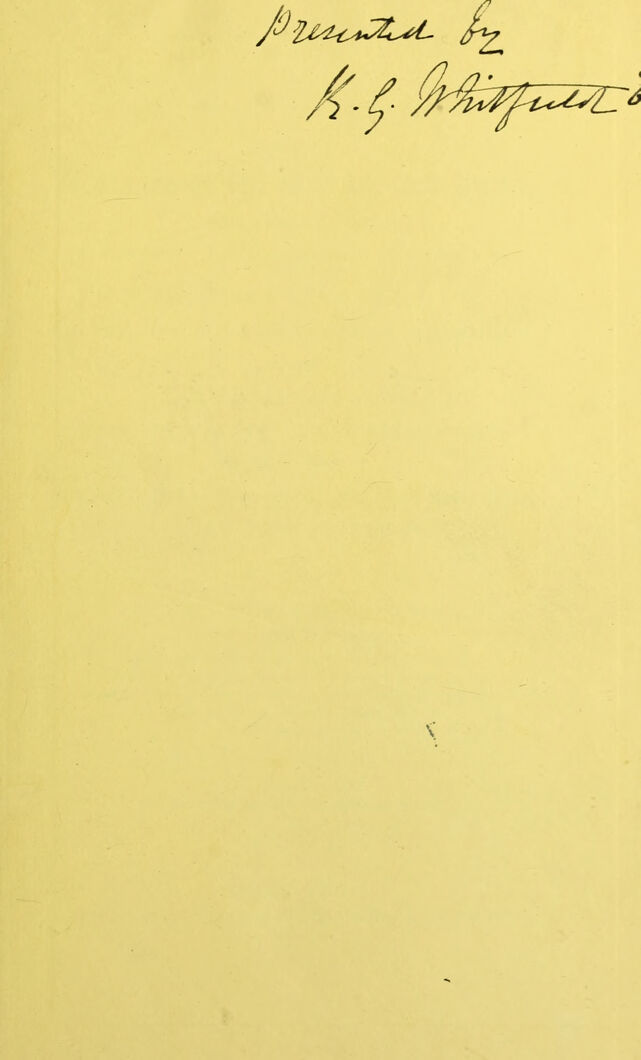 digitised image 3